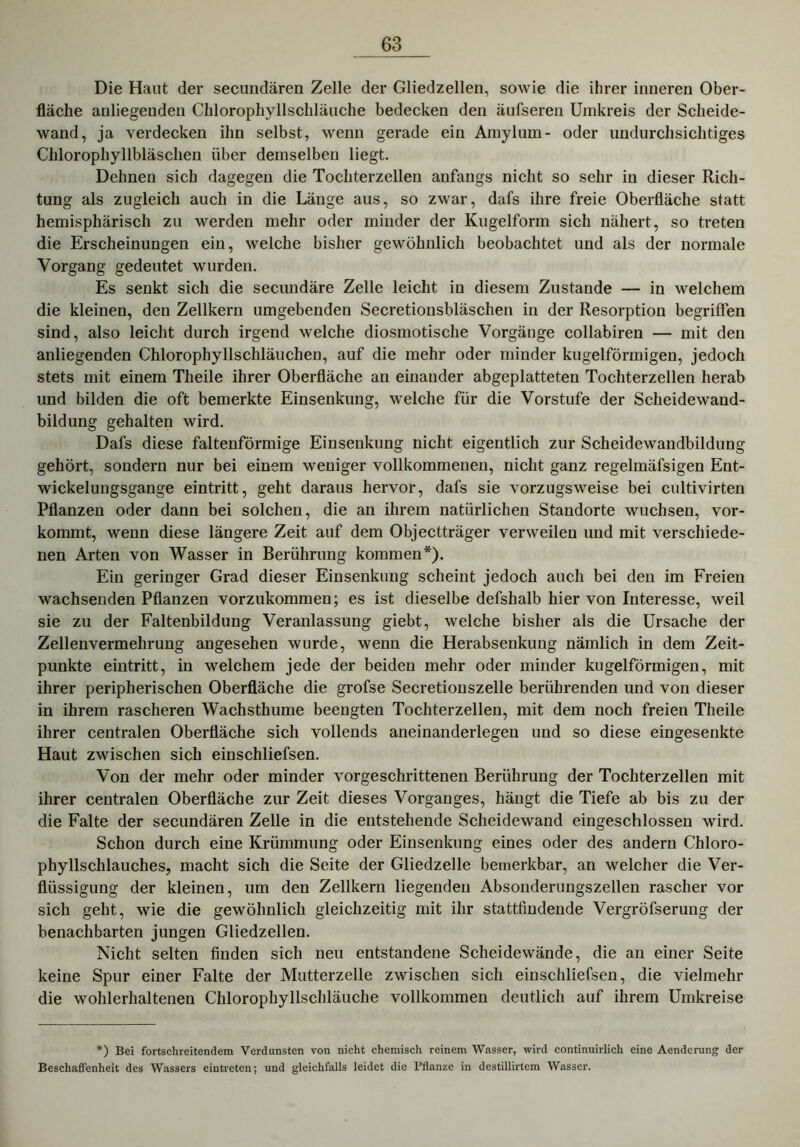 Die Haut der secundären Zelle der Gliedzellen, sowie die ihrer inneren Ober- fläche anliegenden Chlorophyllschläuche bedecken den äufseren Umkreis der Scheide- wand, ja verdecken ihn selbst, wenn gerade ein Amylum- oder undurchsichtiges Chlorophyllbläschen über demselben liegt. Dehnen sich dagegen die Tochterzellen anfangs nicht so sehr in dieser Rich- tung als zugleich auch in die Länge aus, so zwar, dafs ihre freie Oberfläche statt hemisphärisch zu werden mehr oder minder der Kugelform sich nähert, so treten die Erscheinungen ein, welche bisher gewöhnlich beobachtet und als der normale Vorgang gedeutet wurden. Es senkt sich die secundäre Zelle leicht in diesem Zustande — in welchem die kleinen, den Zellkern umgebenden Secretionsbläschen in der Resorption begriffen sind, also leicht durch irgend welche diosmotische Vorgänge collabiren — mit den anliegenden Chlorophyllschläuchen, auf die mehr oder minder kugelförmigen, jedoch stets mit einem Theile ihrer Oberfläche an einander abgeplatteten Tochterzellen herab und bilden die oft bemerkte Einsenkung, welche für die Vorstufe der Scheidewand- bildung gehalten wird. Dafs diese faltenförmige Einsenkung nicht eigentlich zur Scheidewandbildung gehört, sondern nur bei einem weniger vollkommenen, nicht ganz regelmäfsigen Ent- wickelungsgange eintritt, geht daraus hervor, dafs sie vorzugsweise bei cultivirten Pflanzen oder dann bei solchen, die an ihrem natürlichen Standorte wuchsen, vor- kommt, wenn diese längere Zeit auf dem Objectträger verweilen und mit verschiede- nen Arten von Wasser in Berührung kommen*). Ein geringer Grad dieser Einsenkung scheint jedoch auch bei den im Freien wachsenden Pflanzen vorzukommen; es ist dieselbe defshalb hier von Interesse, weil sie zu der Faltenbildung Veranlassung giebt, welche bisher als die Ursache der Zellenvermehrung angesehen wurde, wenn die Herabsenkung nämlich in dem Zeit- punkte eintritt, in welchem jede der beiden mehr oder minder kugelförmigen, mit ihrer peripherischen Oberfläche die grofse Secretiouszelle berührenden und von dieser in ihrem rascheren Wachsthume beengten Tochterzellen, mit dem noch freien Theile ihrer centralen Oberfläche sich vollends aneinanderlegen und so diese eingesenkte Haut zwischen sich einschliefsen. Von der mehr oder minder vorgeschrittenen Berührung der Tochterzellen mit ihrer centralen Oberfläche zur Zeit dieses Vorganges, hängt die Tiefe ab bis zu der die Falte der secundären Zelle in die entstehende Scheidewand eingeschlossen wird. Schon durch eine Krümmung oder Einsenkung eines oder des andern Chloro- phyllschlauches, macht sich die Seite der Gliedzelle bemerkbar, an welcher die Ver- flüssigung der kleinen, um den Zellkern liegenden Absonderungszellen rascher vor sich geht, wie die gewöhnlich gleichzeitig mit ihr stattfindende Vergröfserung der benachbarten jungen Gliedzellen. Nicht selten finden sich neu entstandene Scheidewände, die an einer Seite keine Spur einer Falte der Mutterzelle zwischen sich einschliefsen, die vielmehr die wohlerhaltenen Chlorophyllschläuche vollkommen deutlich auf ihrem Umkreise *) Bei fortschreitendem Verdunsten von nicht chemisch reinem Wasser, wird continuirlich eine Aenderung der Beschaffenheit des Wassers eintreten; und gleichfalls leidet die Pflanze in destillirtem Wasser.