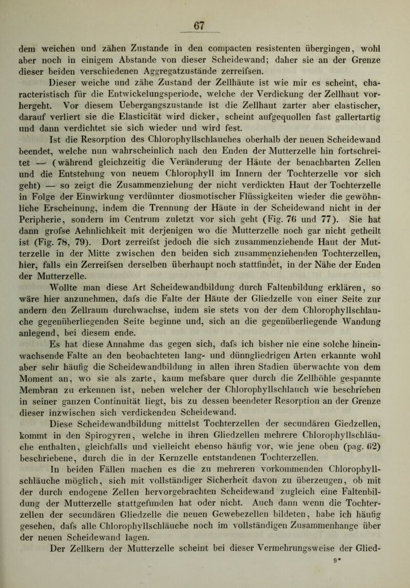 dem weichen und zähen Zustande in den compacten resistenten übergingen, wohl aber noch in einigem Abstande von dieser Scheidewand; daher sie an der Grenze dieser beiden verschiedenen Aggregatzustände zerreifsen. Dieser weiche und zähe Zustand der Zellhäute ist wie mir es scheint, cha- racteristisch für die Entwickelungsperiode, welche der Verdickung der Zellhaut vor- hergeht. Vor diesem Uebergangszustande ist die Zellhaut zarter aber elastischer, darauf verliert sie die Elasticität wird dicker, scheint aufgequollen fast gallertartig und dann verdichtet sie sich wieder und wird fest. Ist die Resorption des Chlorophyllschlauches oberhalb der neuen Scheidewand beendet, welche nun wahrscheinlich nach den Enden der Mutterzelle hin fortschrei- tet —' (während gleichzeitig die Veränderung der Häute der benachbarten Zellen und die Entstehung von neuem Chlorophyll im Innern der Tochterzelle vor sich geht) — so zeigt die Zusammenziehung der nicht verdickten Haut der Tochterzelle in Folge der Einwirkung verdünnter diosmotischer Flüssigkeiten wieder die gewöhn- liche Erscheinung, indem die Trennung der Häute in der Scheidewand nicht in der Peripherie, sondern im Centrum zuletzt vor sich geht (Fig. 76 und 77). Sie hat dann grofse Aehnlichkeit mit derjenigen wo die Mutterzelle noch gar nicht getheilt ist (Fig. 78, 79). Dort zerreifst jedoch die sich zusammenziehende Haut der Mut- terzelle in der Mitte zwischen den beiden sich zusammenziehenden Tochterzellen, » / hier, falls ein Zerreifsen derselben überhaupt noch stattfindet, in der Nähe der Enden der Mutterzelle. Wollte man diese Art Scheidewandbildung durch Faltenbildung erklären, so wäre hier anzunehmen, dafs die Falte der Häute der Gliedzelle von einer Seite zur andern den Zellraum durchwachse, indem sie stets von der dem Chlorophyllschlau- che gegenüberliegenden Seite beginne und, sich an die gegenüberliegende Wandung anlegend, bei diesem ende. Es hat diese Annahme das gegen sich, dafs ich bisher nie eine solche hinein- wachsende Falte an den beobachteten lang- und diinngliedrigen Arten erkannte wohl aber sehr häufig die Scheidewandbildung in allen ihren Stadien überwachte von dem Moment an, wo sie als zarte, kaum mefsbare quer durch die Zellhöhle gespannte Membran zu erkennen ist, neben welcher der Chlorophyllschlauch wie beschrieben in seiner ganzen Continuität liegt, bis zu dessen beendeter Resorption an der Grenze dieser inzwischen sich verdickenden Scheidewand. Diese Scheidewandbildung mittelst Tochterzellen der secundären Giedzellen, kommt in den Spirogyren, welche in ihren Gliedzellen mehrere Chlorophyllschläu- che enthalten, gleichfalls und vielleicht ebenso häufig vor, wie jene oben (pag. 62) beschriebene, durch die in der Kernzelle entstandenen Tochterzellen. In beiden Fällen machen es die zu mehreren vorkommenden Chlorophyll- schläuche möglich, sich mit vollständiger Sicherheit davon zu überzeugen, ob mit der durch endogene Zellen hervorgebrachten Scheidewand zugleich eine Faltenbil- dung der Mutterzelle stattgefunden hat oder nicht. Auch dann wenn die Tochter- zellen der secundären Gliedzelle die neuen Gewebezellen bildeten, habe ich häufig gesehen, dafs alle Chlorophyllschläuche noch im vollständigen Zusammenhänge über der neuen Scheidewand lagen. Der Zellkern der Mutterzelle scheint bei dieser Vermehrungsweise der Glied- 9*