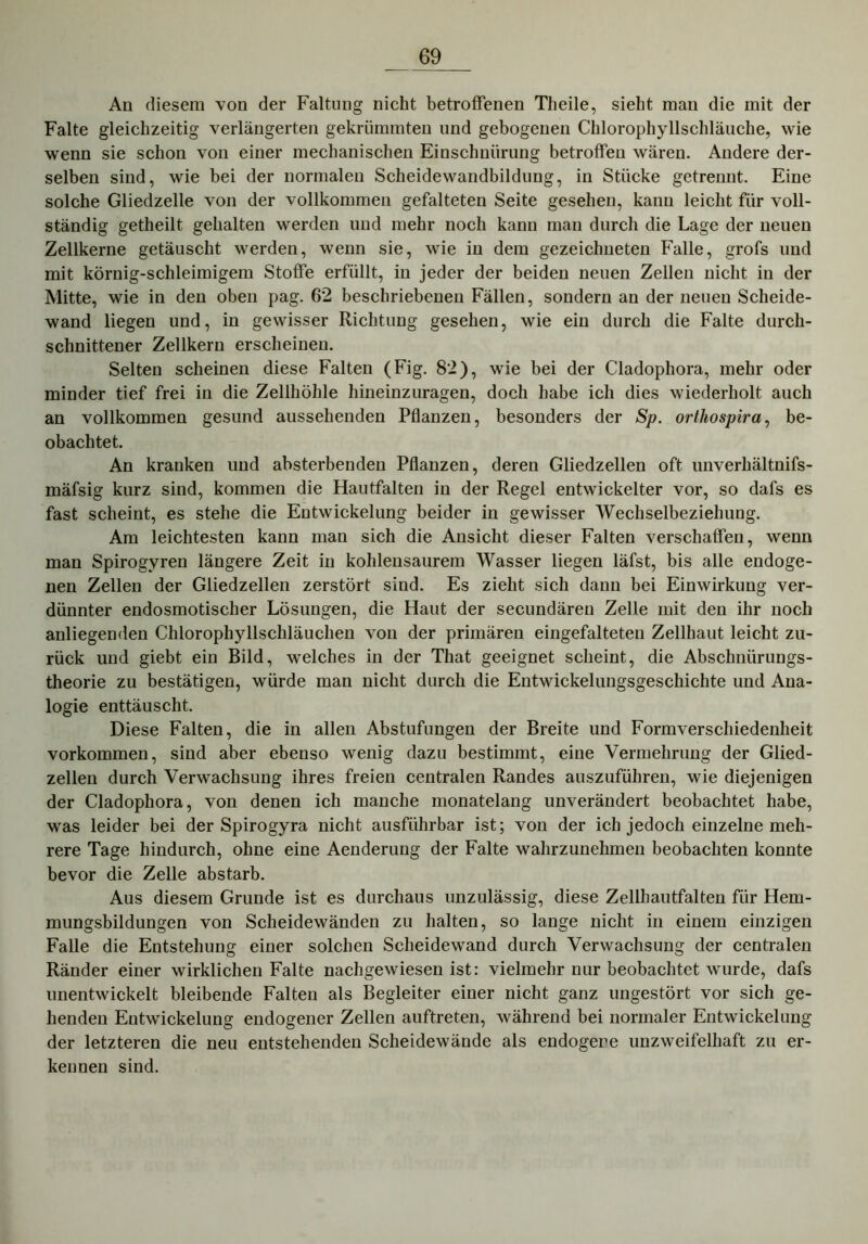 An diesem von der Faltung nicht betroffenen Theile, sieht mau die mit der Falte gleichzeitig verlängerten gekrümmten und gebogenen Chlorophyllschläuche, wie wenn sie schon von einer mechanischen Einschnürung betroffen wären. Andere der- selben sind, wie bei der normalen Scheidewandbildung, in Stücke getrennt. Eine solche Gliedzelle von der vollkommen gefalteten Seite gesehen, kann leicht für voll- ständig getheilt gehalten werden und mehr noch kann man durch die Lage der neuen Zellkerne getäuscht werden, wenn sie, wie in dem gezeichneten Falle, grofs und mit körnig-schleimigem Stoffe erfüllt, in jeder der beiden neuen Zellen nicht in der Mitte, wie in den oben pag. 62 beschriebenen Fällen, sondern an der neuen Scheide- wand liegen und, in gewisser Richtung gesehen, wie ein durch die Falte durch- schnittener Zellkern erscheinen. Selten scheinen diese Falten (Fig. 82), wie bei der Cladophora, mehr oder minder tief frei in die Zellhöhle hineinzuragen, doch habe ich dies wiederholt auch an vollkommen gesund aussehenden Pflanzen, besonders der Sp. orthospira, be- obachtet. An kranken und absterbenden Pflanzen, deren Gliedzellen oft unverhältnifs- mäfsig kurz sind, kommen die Hautfalten in der Regel entwickelter vor, so dafs es fast scheint, es stehe die Entwickelung beider in gewisser Wechselbeziehung. Am leichtesten kann man sich die Ansicht dieser Falten verschaffen, wenn man Spirogvren längere Zeit in kohlensaurem Wasser liegen läfst, bis alle endoge- nen Zellen der Gliedzellen zerstört sind. Es zieht sich dann bei Einwirkung ver- dünnter endosmotischer Lösungen, die Haut der secundären Zelle mit den ihr noch anliegenden Chlorophyllschläuchen von der primären eingefalteten Zellhaut leicht zu- rück und giebt ein Bild, welches in der That geeignet scheint, die Abschnürungs- theorie zu bestätigen, würde man nicht durch die Entwickelungsgeschichte und Ana- logie enttäuscht. Diese Falten, die in allen Abstufungen der Breite und Formverschiedenheit Vorkommen, sind aber ebenso wenig dazu bestimmt, eine Vermehrung der Glied- zellen durch Verwachsung ihres freien centralen Randes auszuführen, wie diejenigen der Cladophora, von denen ich manche monatelang unverändert beobachtet habe, was leider bei der Spirogyra nicht ausführbar ist; von der ich jedoch einzelne meh- rere Tage hindurch, ohne eine Aenderung der Falte wahrzunehmen beobachten konnte bevor die Zelle abstarb. Aus diesem Grunde ist es durchaus unzulässig, diese Zellhautfalten für Hem- mungsbildungen von Scheidewänden zu halten, so lange nicht in einem einzigen Falle die Entstehung einer solchen Scheidewand durch Verwachsung der centralen Ränder einer wirklichen Falte nachgewiesen ist: vielmehr nur beobachtet wurde, dafs unentwickelt bleibende Falten als Begleiter einer nicht ganz ungestört vor sich ge- henden Entwickelung endogener Zellen auftreten, während bei normaler Entwickelung der letzteren die neu entstehenden Scheidewände als endogene unzweifelhaft zu er- kennen sind.