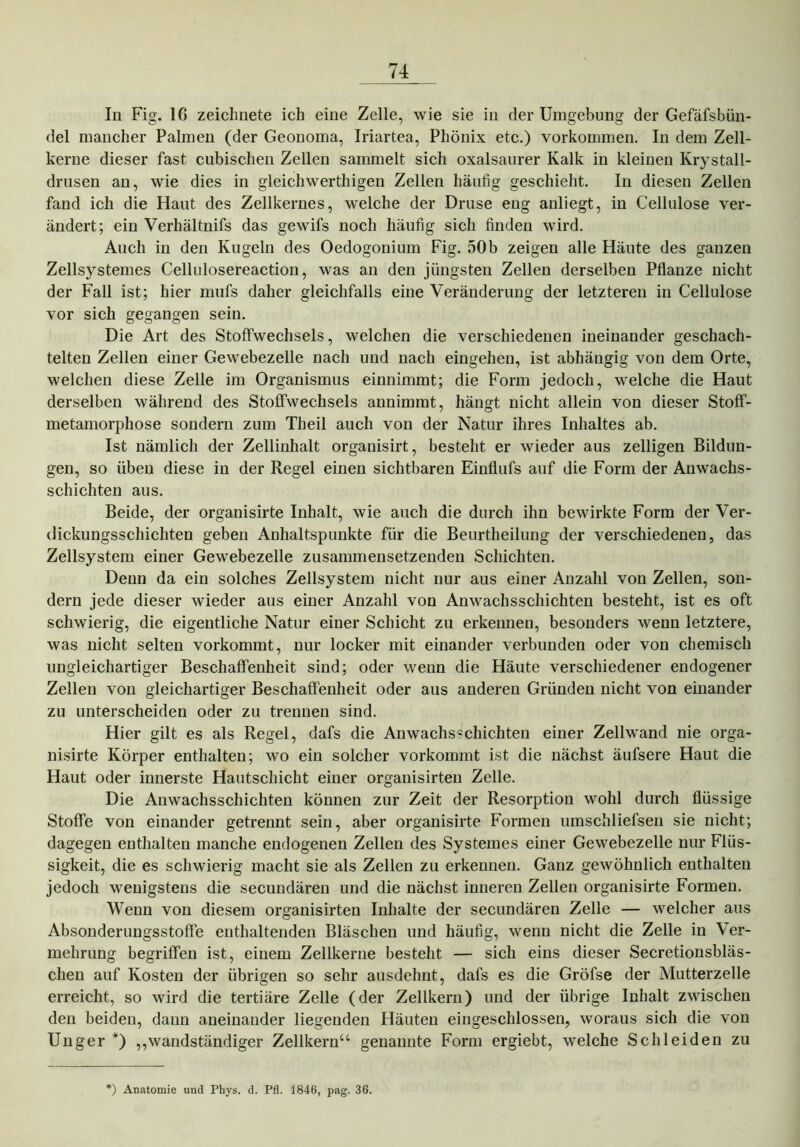 In Fig. 16 zeichnete ich eine Zelle, wie sie in der Umgebung der Gefäfsbün- del mancher Palmen (der Geonoma, Iriartea, Phönix etc.) Vorkommen. In dem Zell- kerne dieser fast cubischen Zellen sammelt sich oxalsaurer Kalk in kleinen Krystall- drusen an, wie dies in gleichwerthigen Zellen häufig geschieht. In diesen Zellen fand ich die Haut des Zellkernes, welche der Druse eng anliegt, in Cellulose ver- ändert; ein Verhältnifs das gewifs noch häufig sich finden wird. Auch in den Kugeln des Oedogonium Fig. 50b zeigen alle Häute des ganzen Zellsystemes Cellulosereaction, was an den jüngsten Zellen derselben Pflanze nicht der Fall ist; hier mufs daher gleichfalls eine Veränderung der letzteren in Cellulose vor sich gegangen sein. Die Art des Stoffwechsels, welchen die verschiedenen ineinander geschach- telten Zellen einer Gewebezelle nach und nach eingehen, ist abhängig von dem Orte, welchen diese Zelle im Organismus einnimmt; die Form jedoch, welche die Haut derselben während des Stoffwechsels annimmt, hängt nicht allein von dieser Stoff- metamorphose sondern zum Theil auch von der Natur ihres Inhaltes ab. Ist nämlich der Zellinhalt organisirt, besteht er wieder aus zeitigen Bildun- gen, so üben diese in der Regel einen sichtbaren Einflufs auf die Form der Au wachs- schichten aus. Beide, der organisirte Inhalt, wie auch die durch ihn bewirkte Form der Ver- dickungsschichten geben Anhaltspunkte für die Beurtheilung der verschiedenen, das Zellsystem einer Gewebezelle zusammensetzenden Schichten. Denn da ein solches Zellsystem nicht nur aus einer Anzahl von Zellen, son- dern jede dieser wieder aus einer Anzahl von Anwachsschichten besteht, ist es oft schwierig, die eigentliche Natur einer Schicht zu erkennen, besonders wenn letztere, was nicht selten vorkommt, nur locker mit einander verbunden oder von chemisch ungleichartiger Beschaffenheit sind; oder wenn die Häute verschiedener endogener Zellen von gleichartiger Beschaffenheit oder aus anderen Gründen nicht von einander zu unterscheiden oder zu trennen sind. Hier gilt es als Regel, dafs die An wachs schichten einer Zellwand nie orga- nisirte Körper enthalten; wo ein solcher vorkommt ist die nächst äufsere Haut die Haut oder innerste Hautschicht einer organisirten Zelle. Die Anwachsschichten können zur Zeit der Resorption wohl durch flüssige Stoffe von einander getrennt sein, aber organisirte Formen umschliefsen sie nicht; dagegen enthalten manche endogenen Zellen des Systemes einer Gewebezelle nur Flüs- sigkeit, die es schwierig macht sie als Zellen zu erkennen. Ganz gewöhnlich enthalten jedoch wenigstens die secundären und die nächst inneren Zellen organisirte Formen. Wenn von diesem organisirten Inhalte der secundären Zelle — welcher aus Absonderungsstoffe enthaltenden Bläschen und häufig, wenn nicht die Zelle in Ver- mehrung begriffen ist, einem Zellkerne besteht — sich eins dieser Secretionsbläs- chen auf Kosten der übrigen so sehr ausdehnt, dafs es die Gröfse der Mutterzelle erreicht, so wird die tertiäre Zelle (der Zellkern) und der übrige Inhalt zwischen den beiden, dann aneinander liegenden Häuten eingeschlossen, woraus sich die von Unger *) ,,wandständiger Zellkern“ genannte Form ergiebt, welche Schleiden zu ') Anatomie und Phys. d. Pfl. 1846, pag. 36.