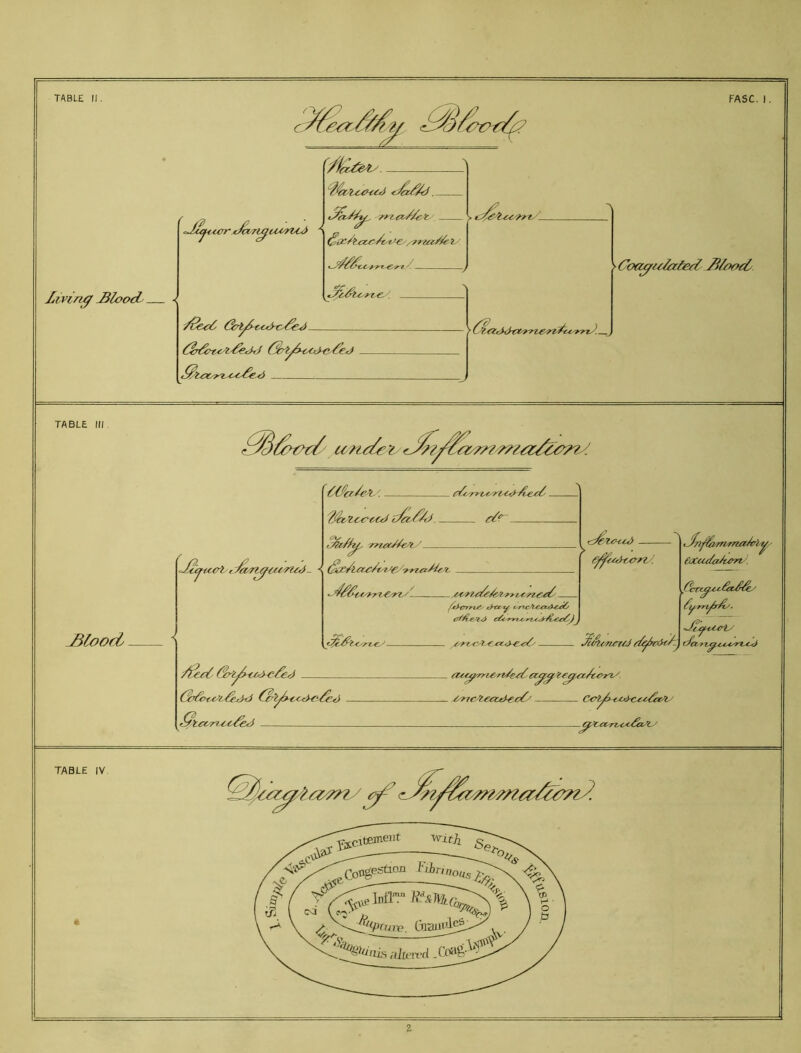 21 ' . ■ 1? iJctri^tct'yu^ \ a . • ^ix/tcc(>reyv’e^,,rt'iay^ ty .C^t hiving 3loody 1 '\ (37t^^-tyuye>^yi ^t<Xy?yi^.<yo6e,<i y Coayfu&zierl B//>oel/ TABLE lir jBlood '?J^ZC€^C<j^ t^/^/rJ <t/F r^^xZ/e't ' ^ - . i^cne^ _ Y<MtATn/. i^e^Cr?^' ^yce^'Y c-ric-’t-CC^<XC^ . <r^7 Cy't'€xx.*>€.^^ ^ 4 J^S^^irr^J ^^yi!nxit/z^ cfet,-n^.c^<^^i^ . Ccy!>^-tM^<u^'^z^'