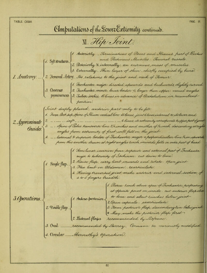 cf£eSoWCl$jiiemdj^ ccntiriu^. XI. 2. Anatomy. /. S^^udures-.. / ty cz/*.i.a <-22ux.C.e.t.^, y<x^l./'o2' /2. 8c ;i/yiAe/cnr\ja£B^y; CC/>zy e^?zc’’t/7'^z.e^.oc<i yT^rz.tzxyd <y- /yyi.c.<^<i-c2&<i. 3, &X^.t>c/yio2£i^,.. aj2iy}.%/ Ssc/y~eAy cy..-gycc^.^^2c.c2' . J 2. ^cyWToL Arttry.. Ot) /iyc2x./(Aryzei 2v /^.ey^^ot^yO- cx^yiO. <y ^^k'yyzA.tAy. '/. 2kct2ia/ri^^nA /ynfC^^SZ.^: cOLAC^^ayCty^AX'^Oyi <z<na -2cuu2oviz^a^^, Cc^/t^tfeO/. 3. Osseous Hi. t^k.ct^ct/nicfo/Tniyvct.'. 2>w€Ay'tirte6eAyy '-iAsm.ce<2 cc^yt^.^<^. ^ prOJHi7l£nC€S 3. 322&U : /O3>vhtx)yt'rv' aOiAX/Tzcey o2 OceVtx^c^.^A.yytyyO'ri'Oi^c^A/yyvSe^yt^-' ^Hy^OtATytO. * ’^tArvya- cOeySyA y3xC£A2y cx.yz//^e^t2<>^yAX^'l^C'yt2y^ /. J'4a^ 2n2AUy;/A^^^^ cyA^AA^n/'tJeacAAA-Arte/ /SOrtejii,-yovriOOdyte4iy3ae/lyta3 &vOf^.^yia 2. . . - A/ny'— „ ,/ . /. .. 0ayTAy^jO} ecOteyno/yACtyiA^yiyryZ^O Az^y^t^2aa~yynftA Guides. < J. i^rafyms. 3. — » -'yiorte^y^^ce&d Ozyz.<i'Zf€^u}€y On.ey ct>yzA3 ct>yiAr/A^ly cAjtKh:^yZAayi^ (Zn^2e^ yunyiy y y2y^y(AM,eeyt.3^ ayzy ^^£/^^/ayv2- 4-. ..£xaiA7At.ej^ct^tA^tyoerV 2tAu2e.^ ^<2ti^cAa!yae4A/yyvi^.<^ e^ye^.eyiaacc.£x/iy-^2A^yyt>yi'^Ay‘*''^‘'i^/ y<nyv' /^.c4l oyyztT^^e^ c^yiAAy^a/-/i<^^^ixyi^^ei<> AyiAirtz^u2i,im.. c^t*/eiy/ia/i/'c2 /. i^yyiiiiAyTAX^/OyUAAtAA.'ytAyAyyyi/,yd^A^leAAXf^ ea:^6'iyuzAyoc*y'y yAc^jz/rt/sit/ 'lyity^ ^A^efUAi^yy' <y d^^c^AACyyt/ ■ eOtAfyzy yy ^yyz^. 2j. -/SzA-^i.e/ ca^t^yy ayyiyS-^AytAAn3Aua o/yta /leT^tzye.^ .■ 3^Ayi^^^icHyytyr 3. [2esoc. Oyny- cyyty aSvOtyyyz.&yy/ - 4-, SAiznyi^ tx/ytye/tAATiA ccytxyyyty^At.ytAZ^'A^^cyc^'yt/ cA 4 /os' yrt^;£/t-0 -^tetoaO/^'. / Singlejhp. -< ay yooyS oytAyoyi^SOeA > dcS-o/yz/eytAxAiA yeayc^M . \ , L 1 ' S- -^eryoex, oaaS ocyoay/- 3A^yzA:y.eAi i2<i.e>rAr-AAnSyr-' 7. yhvkt£>-poMtSx>tyJ Z. (Ai.eaay caytf-ocOzA .■ x^yxAz^ty3ceA^pSey. Z. ^^OuHeJI/jp. ^ 3, 3i/t'?yzy yorSeytexS yea/i/, e3&7<>&yuay!^3Aa^y. t2e^iX^<7rS2r ^ ^2iao^AAyy^Ax^^:.C' /^aayo3/eAi2o7yA^^^aSa~^ Z, JSx4cZ£t2A^^^^ys Oi^A^.oyyt^yyf^&y^Ayc<Ae .^yy.SE^ytAZ.^'UTA'. 3. OvaL yt^C^J-yytyyixoaAZeAse e^OScAlAi^eA^, GyiyrAXAZAA,. /a^ 'ZfixAtAA>-cAA}r(^ Ay,OAyeyyeA!3. 4-. OxTCuImT ,Aie/iAyz.e/Ay2) OyixiAtAXA2c<ryzy. 80