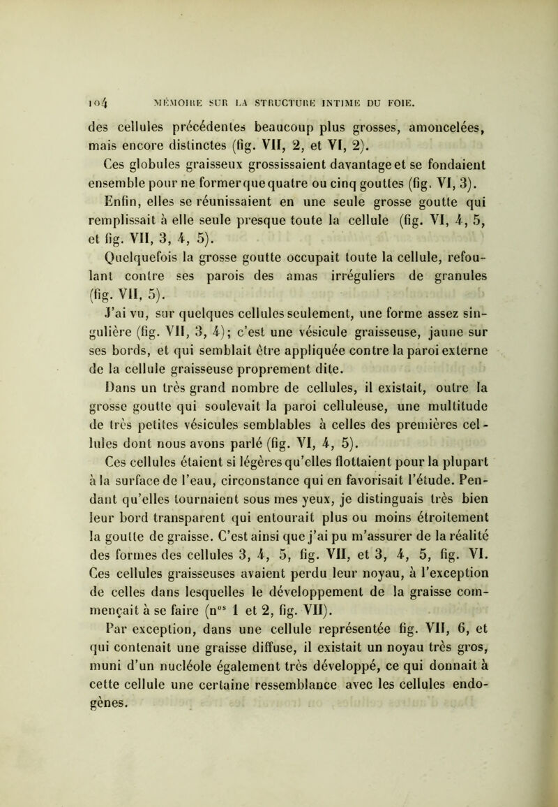 des cellules précédentes beaucoup plus grosses, amoncelées, mais encore distinctes (fig. VII, 2, et VI, 2). Ces globules graisseux grossissaient davantage et se fondaient ensemble pour ne former que quatre ou cinq gouttes (fig. VI, 3). Enfin, elles se réunissaient en une seule grosse goutte qui remplissait à elle seule presque toute la cellule (fig. VI, A,5, et fig. VII, 3, A, 5). Quelquefois la grosse goutte occupait toute la cellule, refou- lant contre ses parois des amas irréguliers de granules (fig. VII. 5). J’ai vu, sur quelques cellules seulement, une forme assez sin- gulière (fig. VII, 3, 4); c’est une vésicule graisseuse, jaune sur ses bords, et qui semblait être appliquée contre la paroi externe de la cellule graisseuse proprement dite. Dans un très grand nombre de cellules, il existait, outre la grosse goutte qui soulevait la paroi celluleuse, une multitude de très petites vésicules semblables à celles des premières cel- lules dont nous avons parlé (fig. VI, 4, 5). Ces cellules étaient si légères qu’elles flottaient pour la plupart à la surface de l’eau, circonstance qui en favorisait l’étude. Pen- dant qu’elles tournaient sous mes yeux, je distinguais très bien leur bord transparent qui entourait plus ou moins étroitement la goutte de graisse. C’est ainsi que j’ai pu m’assurer de la réalité des formes des cellules 3, 4, 5, fig. VII, et 3, A, 5, fig. VI. Ces cellules graisseuses avaient perdu leur noyau, à l’exception de celles dans lesquelles le développement de la graisse com- mençait à se faire (nos 1 et 2, fig. VII). Par exception, dans une cellule représentée fig. Vil, 6, et qui contenait une graisse diffuse, il existait un noyau très gros, muni d’un nucléole également très développé, ce qui donnait à cette cellule une certaine ressemblance avec les cellules endo- gènes.