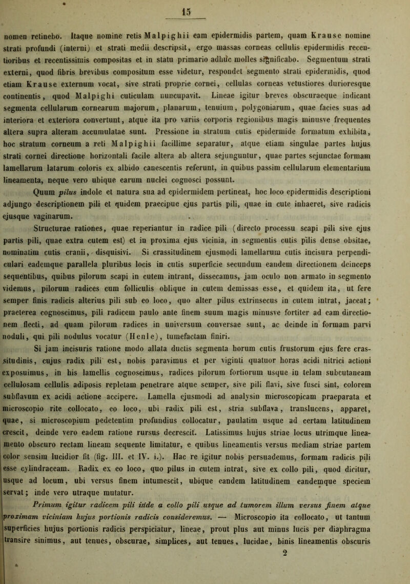 nomen retinebo. Itaque nomine retis Malpighii eam epidermidis partem, quam Krause nomine strati profundi (interni) et strati medii descripsit, ergo massas corneas cellulis epidermidis recen- tioribus et recentissimis compositas et in statu primario adhilc molles significabo. Segmentum strati externi, quod fibris brevibus compositum esse videtur, respondet segmento strati epidermidis, quod etiam Krause externum vocat, sive strati proprie cornei, cellulas corneas vetustiores durioresque continentis, quod Malpighi cuticulam nuncupavit. Lineae igitur breves obscuraeque indicant segmenta cellularum cornearum majorum, planarum, tenuium, polygoniarum, quae facies suas ad interiora et exteriora convertunt, atque ita pro variis corporis regionibus magis minusve frequentes altera supra alteram accumulatae sunt. Pressione in stratum cutis epidermide formatum exhibita, hoc stratum corneum a reti Malpighii facillime separatur, atque etiam singulae partes hujus strati cornei directione horizontali facile altera ab altera sejunguntur, quae partes sejunctae formam lamellarum latarum coloris ex albido canescentis referunt, in quibus passim cellularum elementarium lineamenta, neque vero ubique earum nuclei cognosci possunt. Quum pilus indole et natura sua ad epidermidem pertineat, hoc loco epidermidis descriptioni adjungo descriptionem pili et quidem praecipue ejus partis pili, quae in cute inhaeret, sive radicis ejusque vaginarum. Structurae rationes, quae reperiantur in radice pili (directo processu scapi pili sive ejus partis pili, quae extra cutem est) et in proxima ejus vicinia, in segmentis cutis pilis dense obsitae, nominatim cutis cranii, disquisivi. Si crassitudinem ejusmodi lamellarum cutis incisura perpendi- culari eademque parallela pluribus locis in cutis superficie secundum eandem directionem deinceps sequentibus, quibus pilorum scapi in cutem intrant, dissecamus, jam oculo non armato in segmento videmus, pilorum radices cum folliculis oblique in cutem demissas esse, et quidem ita, ut fere semper finis radicis alterius pili sub eo loco, quo alter pilus extrinsecus in cutem intrat, jaceat; * praeterea cognoscimus, pili radicem paulo ante finem suum magis minusve fortiter ad eam directio- nem flecti, ad quam pilorum radices in universum conversae sunt, ac deinde in formam parvi noduli, qui pili nodulus vocatur (Henle), tumefactam finiri. Si jam incisuris ratione modo allata ductis segmenta horum cutis frustorum ejus fere cras- situdinis, cujus radix pili est, nobis paravimus et per viginti quatuor horas acidi nitrici actioni exposuimus, in his lamellis cognoscimus, radices pilorum fortiorum usque in telam subcutaneam cellulosam cellulis adiposis repletam penetrare atque semper, sive pili flavi, sive fusci sint, colorem subflavum ex acidi actione accipere. Lamella ejusmodi ad analysin microscopicam praeparata et microscopio rite collocato, eo loco, ubi radix pili est, stria subflava, translucens, apparet, quae, si microscopium pedetentim profundius collocatur, paulatim usque ad certam latitudinem crescit, deinde vero eadem ratione rursus decrescit. Latissimus hujus striae locus utrimque linea- mento obscuro rectam lineam sequente limitatur, e quibus lineamentis versus mediam striae partem color sensim lucidior fit (fig. III. et IV. i.). Hac re igitur nobis persuademus, formam radicis pili esse cylindraceam. Radix ex eo loco, quo pilus in cutem intrat, sive ex collo pili, quod dicitur, usque ad locum, ubi versus finem intumescit, ubique eandem latitudinem eandemque speciem servat; inde vero utraque mutatur. Primum igitur radicem pili iride a collo pili usque ad tumorem illum versus finem atque proximam viciniam hujus portionis radicis consideremus. — Microscopio ita collocato, Ut tantum superficies hujus portionis radicis perspiciatur, lineae, prout plus aut minus lucis per diaphragma transire sinimus, aut tenues, obscurae, simplices, aut tenues, lucidae, binis lineamentis obscuris 2