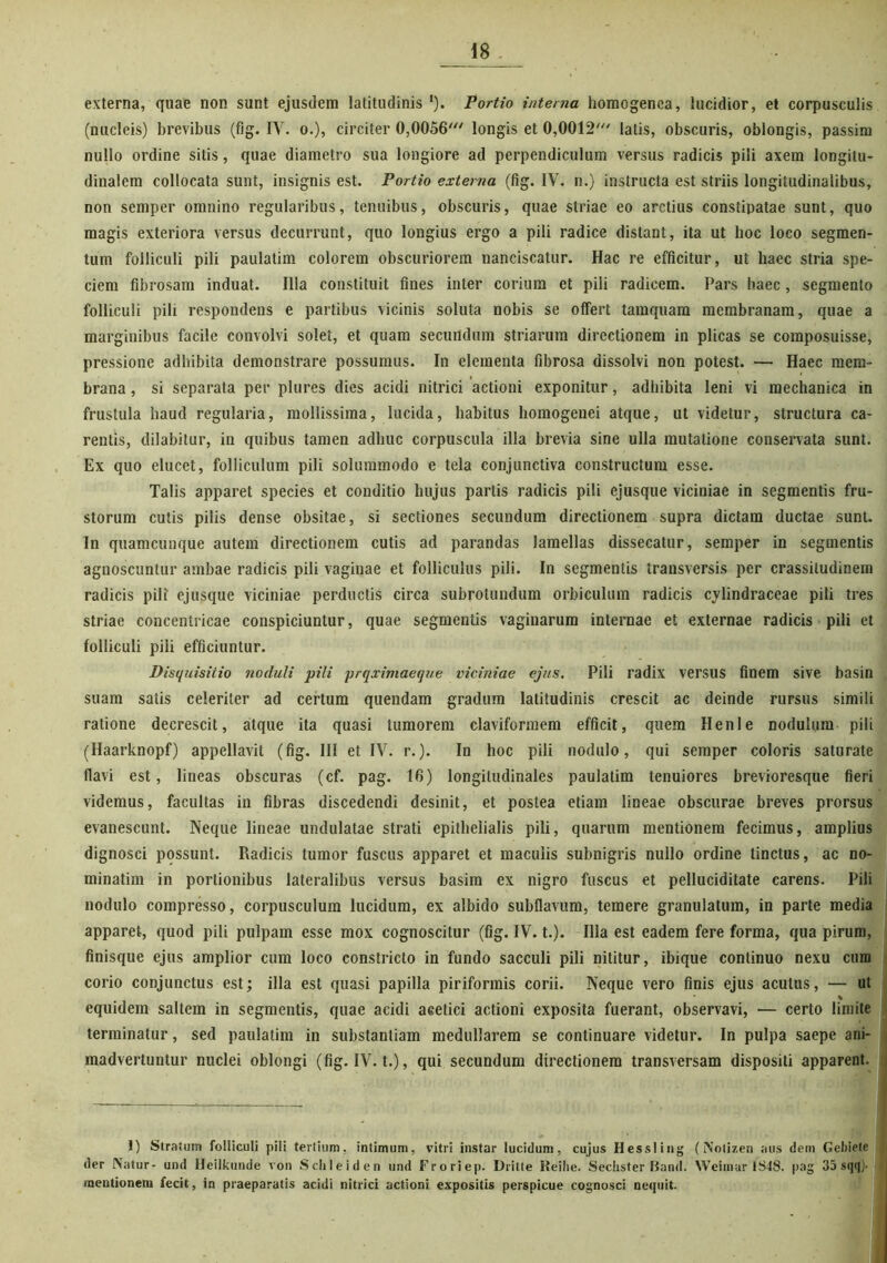 externa, quae non sunt ejusdem latitudinis l). Portio interna homogenca, lucidior, et corpusculis (nucleis) brevibus (fig. IV. o.), circiter 0,0056' longis et 0,0012' latis, obscuris, oblongis, passim nullo ordine sitis, quae diametro sua longiore ad perpendiculum versus radicis pili axem longitu- dinalem collocata sunt, insignis est. Portio externa (fig. IV. n.) instructa est striis longitudinalibus, non semper omnino regularibus, tenuibus, obscuris, quae striae eo arctius constipatae sunt, quo magis exteriora versus decurrunt, quo longius ergo a pili radice distant, ita ut hoc loco segmen- tum folliculi pili paulatim colorem obscuriorem nanciscatur. Hac re efficitur, ut haec stria spe- ciem fibrosam induat. Illa constituit fines inter corium et pili radicem. Pars haec, segmento folliculi pili respondens e partibus vicinis soluta nobis se olfert tamquam membranam, quae a marginibus facile convolvi solet, et quam secundum striarum directionem in plicas se composuisse, pressione adbibita demonstrare possumus. In elementa fibrosa dissolvi non potest. — Haec mem- brana , si separata per plures dies acidi nitrici actioni exponitur, adhibita leni vi mechanica in frustula haud regularia, mollissima, lucida, habitus homogenei atque, ut videtur, structura ca- rentis, dilabitur, in quibus tamen adhuc corpuscula illa brevia sine ulla mutatione conservata sunt. Ex quo elucet, folliculum pili solummodo e tela conjunctiva constructum esse. Talis apparet species et conditio hujus partis radicis pili ejusque viciniae in segmentis fru- storum cutis pilis dense obsitae, si sectiones secundum directionem supra dictam ductae sunt. In quamcunque autem directionem cutis ad parandas lamellas dissecatur, semper in segmentis agnoscuntur ambae radicis pili vaginae et folliculus pili. In segmentis transversis per crassitudinem radicis pili ejusque viciniae perductis circa subrotundum orbiculum radicis cylindraceae pili tres striae concentricae conspiciuntur, quae segmentis vaginarum internae et externae radicis pili et folliculi pili efficiuntur. Disquisitio noduli pili prqximaeque viciniae ejus. Pili radix versus finem sive basin suam satis celeriter ad certum quendam gradum latitudinis crescit ac deinde rursus simili ratione decrescit, atque ita quasi tumorem claviformem efficit, quem Henle nodulum pili (Haarknopf) appellavit (fig. III et IV. r.). In hoc pili nodulo, qui semper coloris saturate flavi est, lineas obscuras (cf. pag. 16) longitudinales paulatim tenuiores brevioresque fieri videmus, facultas in fibras discedendi desinit, et postea etiam lineae obscurae breves prorsus evanescunt. Neque lineae undulatae strati epithelialis pili, quarum mentionem fecimus, amplius dignosci possunt. Radicis tumor fuscus apparet et maculis subnigris nullo ordine tinctus, ac no- minatim in portionibus lateralibus versus basim ex nigro fuscus et pelluciditate carens. Pili nodulo compresso, corpusculum lucidum, ex albido subflavum, temere granulatum, in parte media apparet, quod pili pulpam esse mox cognoscitur (fig. IV. t.). Illa est eadem fere forma, qua pirum, finisque ejus amplior cum loco constricto in fundo sacculi pili nititur, ibique continuo nexu cum corio conjunctus est; illa est quasi papilla piriformis corii. Neque vero finis ejus acutus, — ut % equidem saltem in segmentis, quae acidi aeetici actioni exposita fuerant, observavi, — certo limite terminatur, sed paulatim in substantiam medullarem se continuare videtur. In pulpa saepe ani- | madvertuntur nuclei oblongi (fig. IV. t.), qui secundum directionem transversam dispositi apparent. 1) Stratum folliculi pili tertium, intimum, vitri instar lucidum, cujus Hessling (Notizen aus dem Gebiete der Natur- und Heilkunde von Sclileiden und Froriep. Dritte Reihe. Sechster Band. Weiinar !S48. pag 35 sqqj- mentionem fecit, in praeparatis acidi nitrici actioni expositis perspicue cognosci nequit.