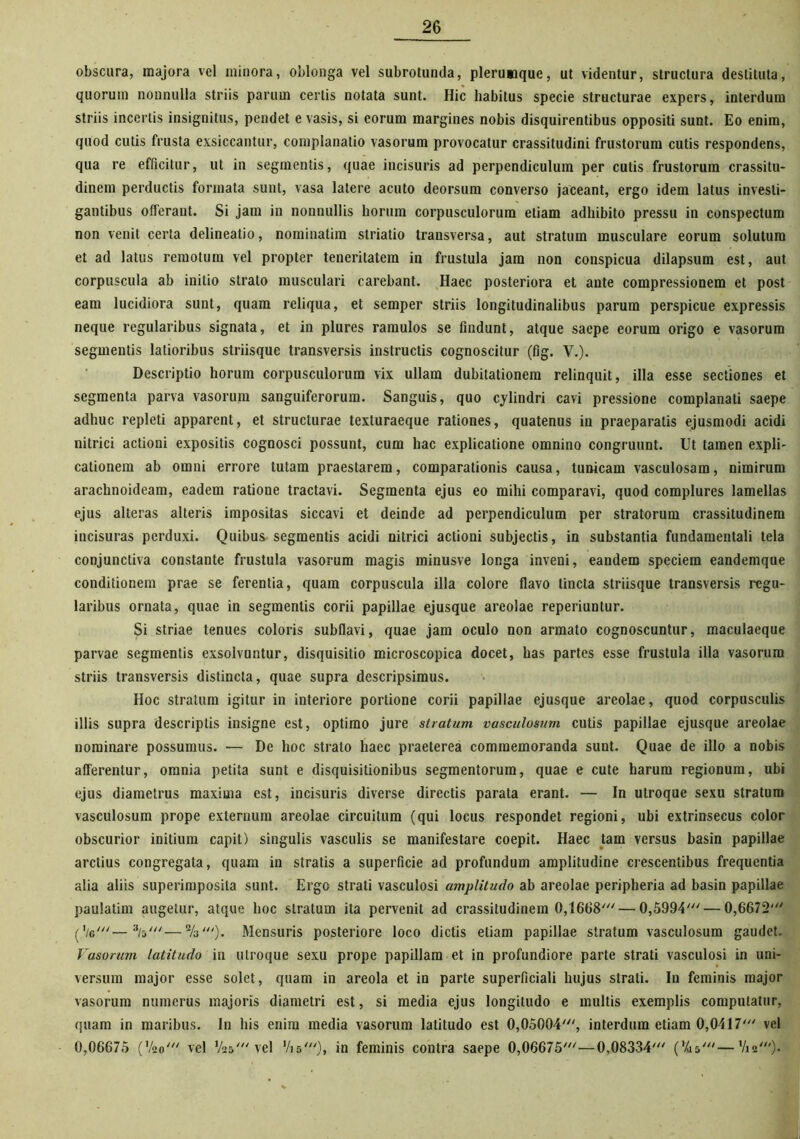 obscura, majora vel minora, oblonga vel subrotunda, plerumque, ut videntur, structura destituta, quorum nonnulla striis parum certis notata sunt. Hic habitus specie structurae expers, interdum striis incertis insignitus, pendet e vasis, si eorum margines nobis disquirentibus oppositi sunt. Eo enim, quod cutis frusta exsiccantur, complanatio vasorum provocatur crassitudini frustorum cutis respondens, qua re efficitur, ut in segmentis, quae incisuris ad perpendiculum per cutis frustorum crassitu- dinem perductis formata sunt, vasa latere acuto deorsum converso jaceant, ergo idem latus investi- gantibus offerant. Si jam in nonnullis horum corpusculorum etiam adhibito pressu in conspectum non venit certa delineatio, nominatim striatio transversa, aut stratum musculare eorum solutum et ad latus remotum vel propter teneritatem in frustula jam non conspicua dilapsum est, aut corpuscula ab initio strato musculari carebant. Haec posteriora et ante compressionem et post eam lucidiora sunt, quam reliqua, et semper striis longitudinalibus parum perspicue expressis neque regularibus signata, et in plures ramulos se findunt, atque saepe eorum origo e vasorum segmentis latioribus striisque transversis instructis cognoscitur (fig. V.). Descriptio horum corpusculorum vix ullam dubitationem relinquit, illa esse sectiones et segmenta parva vasorum sanguiferorum. Sanguis, quo cylindri cavi pressione complanati saepe adhuc repleti apparent, et structurae texluraeque rationes, quatenus in praeparatis ejusmodi acidi nitrici actioni expositis cognosci possunt, cum hac explicatione omnino congruunt. Ut tamen expli- cationem ab omni errore tutam praestarem, comparationis causa, tunicam vasculosam, nimirum arachnoideam, eadem ratione tractavi. Segmenta ejus eo mihi comparavi, quod complures lamellas ejus alteras alteris impositas siccavi et deinde ad perpendiculum per stratorum crassitudinem incisuras perduxi. Quibus segmentis acidi nitrici actioni subjectis, in substantia fundamentali tela conjunctiva constante frustula vasorum magis minusve longa inveni, eandem speciem eandemque conditionem prae se ferentia, quam corpuscula illa colore flavo tincta striisque transversis regu- laribus ornata, quae in segmentis corii papillae ejusque areolae reperiuntur. Si striae tenues coloris subflavi, quae jam oculo non armato cognoscuntur, maculaeque parvae segmentis exsolvuntur, disquisitio microscopica docet, has partes esse frustula illa vasorum striis transversis distincta, quae supra descripsimus. Hoc stratum igitur in interiore portione corii papillae ejusque areolae, quod corpusculis illis supra descriptis insigne est, optimo jure stratum vasculosum cutis papillae ejusque areolae nominare possumus. — De hoc strato haec praeterea commemoranda sunt. Quae de illo a nobis afferentur, omnia petita sunt e disquisitionibus segmentorum, quae e cute harum regionum, ubi ejus diametrus maxima est, incisuris diverse directis parata erant. — In utroque sexu stratum vasculosum prope externum areolae circuitum (qui locus respondet regioni, ubi extrinsecus color obscurior initium capit) singulis vasculis se manifestare coepit. Haec tam versus basin papillae arctius congregata, quam in stratis a superficie ad profundum amplitudine crescentibus frequentia alia aliis superimposita sunt. Ergo strati vasculosi amplitudo ab areolae peripheria ad basin papillae paulatim augetur, atque hoc stratum ita pervenit ad crassitudinem 0,1668'— 0,5994' — 0,6672' (V—a/5'—Mensuris posteriore loco dictis etiam papillae stratum vasculosum gaudet. Vasorum latitudo in utroque sexu prope papillam et in profundiore parte strati vasculosi in uni- versum major esse solet, quam in areola et in parte superficiali hujus strati. In feminis major vasorum numerus majoris diametri est, si media ejus longitudo e multis exemplis computatur, quam in maribus. In his enim media vasorum latitudo est 0,05004', interdum etiam 0,0417' vel 0,06675 ('/ao' vel V25' vel Vi5'), in feminis contra saepe 0,06675'—0,08334' ('As'—V12').