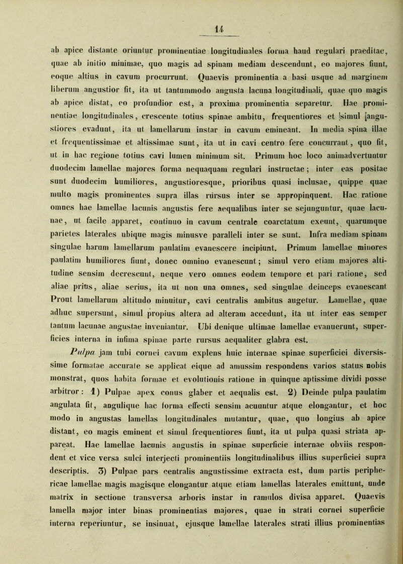 u ah apice distante oriuntur prominentiae longitudinales forma haud regulari praeditae, (juae ab initio minimae, quo magis ad spinam mediam descendunt, eo majores fiunt, eoque altius in cavum procurrunt. Quaevis prominentia a basi usque ad marginem liberum angustior fit, ita ut tantummodo angusta lacuna longitudinali, quae quo magis ab apice distat, eo profundior est, a proxima prominentia separetur. Hae promi- nentiae longitudinales, crescente totius spinae ambitu, frequentiores et [simul [angu- stiores evadunt, ita ut lamellarum instar in cavum emineant. In media spina illae et frequentissimae et altissimae sunt, ita ut in cavi centro fere concurrant, quo fit, ut in hac regione totius cavi lumen minimum sit. Primum hoc loco animadvertuntur duodecim lamellae majores forma nequaquam regulari instructae; inter eas positae sunt duodecim humiliores, angustioresque, prioribus quasi inclusae, quippe quae multo magis prominentes supra illas rursus inter se appropinquent. Hac ratione omnes hae lamellae lacunis angustis fere aequalibus inter se sejunguntur, quae lacu- nae, ut facile apparet, continuo in cavum centrale coarctatum exeunt, quarumque parietes laterales ubique magis minusve paralleli inter se sunt. Infra mediam spinam singulae harum lamellarum paulatim evanescere incipiunt. Primum lamellae minores paulatim humiliores fiunt, donec omnino evanescunt; simul vero etiam majores alti- tudine sensim decrescunt, neque vero omnes eodem tempore et pari ratione, sed aliae prius, aliae serius, ita ut non una omnes, sed singulae deinceps evanescant Prout lamellarum altitudo minuitur, cavi centralis ambitus augetur. Lamellae, quae adhuc supersunt, simul propius altera ad alteram accedunt, ita ut inter eas semper tantum lacunae angustae inveniantur. Ubi denique ultimae lamellae evanuerunt, super- ficies interna in infima spinae parte rursus aequaliter glabra est. Pulpa jam tubi cornei cavum explens huic internae spinae superficiei diversis- sime formatae accurate se applicat eique ad amussim respondens varios status nobis monstrat, quos habita formae et evolutionis ratione in quinque aptissime dividi posse arbitror: 1) Pulpae apex conus glaber et aequalis est. 2) Deinde pulpa paulatim angulata fit, angulique hac forma effecti sensim acuuntur atque elongantur, et hoc modo in angustas lamellas longitudinales mutantur, quae, quo longius ab apice distant, eo magis eminent et simul frequentiores fiunt, ita ut pulpa quasi striata ap- pareat. Hae lamellae lacunis angustis in spinae superficie internae obviis respon- dent et vice versa sulci interjecti prominentiis longitudinalibus illius superficiei supra descriptis. 3) Pulpae pars centralis angustissime extracta est, dum partis periphe- ricae lamellae magis magisque elongantur atque etiam lamellas laterales emittunt, unde matrix in sectione transversa arboris instar in ramulos divisa apparet. Ouaevis lamella major inter binas prominentias majores, quae in strati cornei superficie interna reperiuntur, se insinuat, ejusque lamellae laterales strati illius prominentias