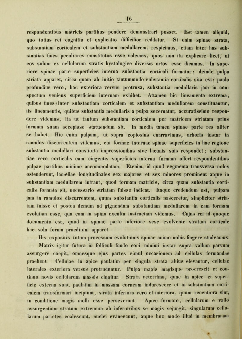 respondentibus matricis partibus pendere demonstrari posset. Est tamen aliquid, quo totius rei cognitio et explicatio difficilior reddatur. Si enim spinae strata, substantiam corticalem et substantiam medullarem, respicimus, etiam inter has sub- stantias fines peculiares constitutos esse videmus, quos non ita explicare licet, ut eos solum ex cellularum stratis hystologice diversis ortos esse dicamus. In supe- riore spinae parte superficies interna substantia corticali formatur; deinde pulpa striata apparet, circa quam ab initio tantummodo substantia corticalis sita est; paulo profundius vero, hac exteriora versus protrusa, substantia medullaris jam in con- spectum veniens superficiem internam exhibet. Attamen hic lineamenta extrema, quibus fines inter substantiam corticalem et substantiam medullarem constituantur, iis lineamentis, quibus substantia medullaris a pulpa secernatur, accuratissime respon- dere videmus, ita ut tantum substantiam corticalem per matricem striatam prius formam suam accepisse statuendum sit. In media tamen spinae parte res aliter se habet. Hic enim pulpam, ut supra copiosius enarravimus, arboris instar in ramulos discurrentem videmus, cui formae internae spinae superficies in hac regione substantia medullari constituta impressionibus sive lacunis suis respondet; substan- tiae vero corticalis eam cingentis superficies interna formam offert respondentibus pulpae partibus minime accommodatam. Etenim, id quod segmenta transversa nobis ostenderunt, lamellae longitudinales sex majores et sex minores prominent atque in substantiam medullarem intrant, quod formam matricis, circa quam substantia corti- calis formata sit, necessario striatam fuisse indicat. Itaque credendum est, pulpam jam in ramulos discurrentem, quum substantia corticalis nasceretur, simpliciter stria- tam fuisse et postea demum ad gignendam substantiam medullarem in eam formam evolutam esse, qua eam in spina exculta instructam videmus. Cujus rei id quoque documento est, quod in spinae parte inferiore sese evolvente stratum corticale hac sola forma praeditum apparet. His expositis totum processum evolutionis spinae animo nobis fingere studeamus. Matrix igitur futura in folliculi fundo coni minimi instar supra vallum parvum assurgere coepit, omnesque ejus partes simul occasionem ad cellulas formandas praebent Cellulae in apice paulatim per singula strata aliius elevantur, cellulae laterales exteriora versus protruduntur. Pulpa magis magisque procrescit et con- tinuo novis cellularum massis cingitur. Strata veterrima, quae in apice et super- ficie externa sunt, paulatim in massam corneam indurescere et in substantiam corti- calem transformari incipiunt, strata inferiora vero et interiora, quum recentiora sint, in conditione magis molli esse perseverant. Apice formato, cellularum e vallo assurgentium stratum extremum ab inferioribus se magis sejungit, singularum cellu- larum parietes coalescunt, nuclei evanescunt, atque hoc modo illud in membranam