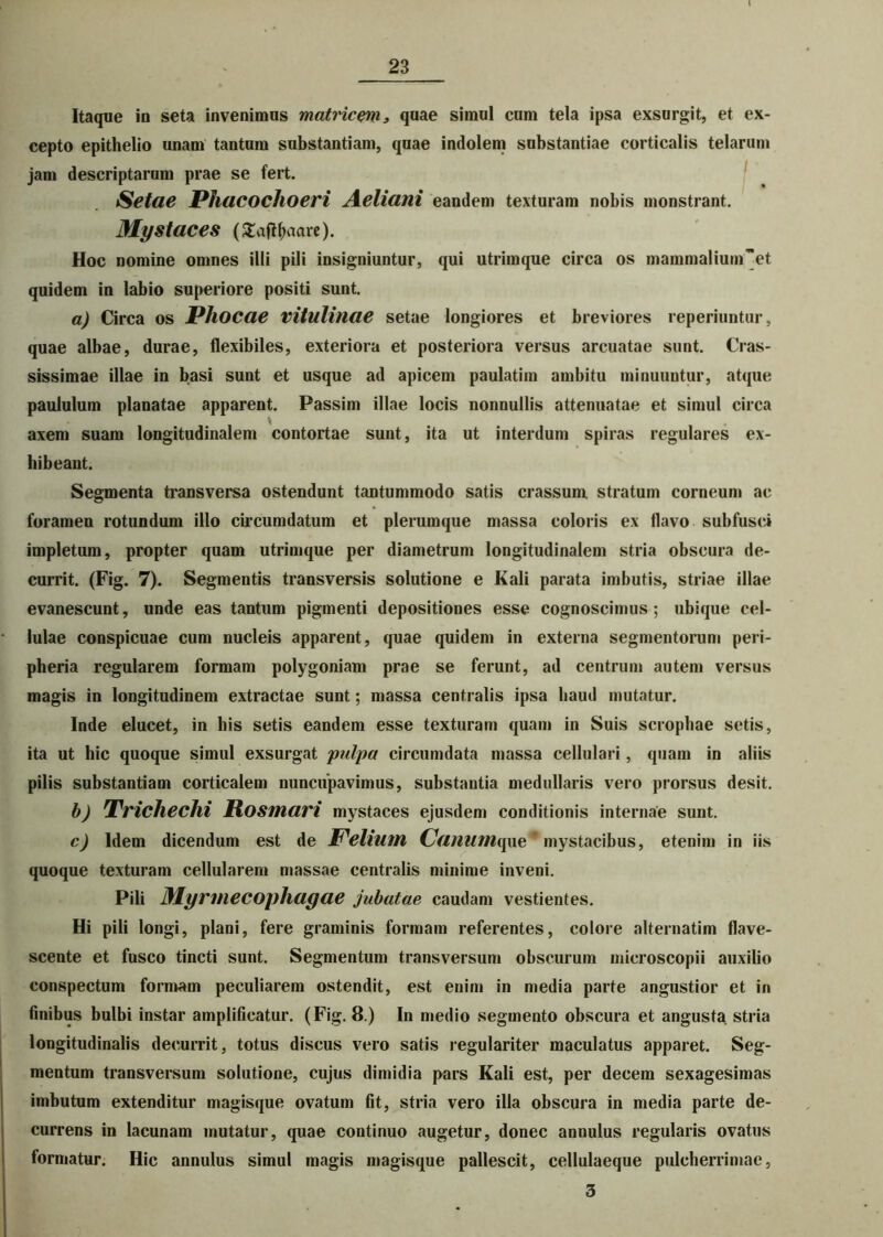 Itaque in seta invenimus matricem, quae simul cum tela ipsa exsurgit, et ex- cepto epithelio unam tantum substantiam, quae indolem substantiae corticalis telarum jam descriptarum prae se fert. Setae Phacochoeri Aeliani eandem texturam nobis monstrant. Mystaces (£aftyaare). Hoc nomine omnes illi pili insigniuntur, qui utrimque circa os mammaliumet quidem in labio superiore positi sunt. a) Circa os PllOCae vitulinae setae longiores et breviores reperiuntur, quae albae, durae, flexibiles, exteriora et posteriora versus arcuatae sunt. Cras- sissimae illae in basi sunt et usque ad apicem paulatim ambitu minuuntur, atque paululum planatae apparent. Passim illae locis nonnullis attenuatae et simul circa axem suam longitudinalem contortae sunt, ita ut interdum spiras regulares ex- hibeant. Segmenta transversa ostendunt tantummodo satis crassum, stratum corneum ac foramen rotundum illo circumdatum et plerumque massa eoioris ex flavo subfusci impletum, propter quam utrimque per diametrum longitudinalem stria obscura de- currit. (Fig. 7). Segmentis transversis solutione e Kali parata imbutis, striae illae evanescunt, unde eas tantum pigmenti depositiones esse cognoscimus; ubique cel- lulae conspicuae cum nucleis apparent, quae quidem in externa segmentorum peri- pheria regularem formam polygoniam prae se ferunt, ad centrum autem versus magis in longitudinem extractae sunt; massa centralis ipsa haud mutatur. Inde elucet, in his setis eandem esse texturam quam in Suis scrophae setis, ita ut hic quoque simul exsurgat pulpa circumdata massa cellulari , quam in aliis pilis substantiam corticalem nuncupavimus, substantia medullaris vero prorsus desit. b) Trichechi Rosmari mystaces ejusdem conditionis internae sunt. c) Idem dicendum est de Felium Canumque ' mystacibus, etenim in iis quoque texturam cellularem massae centralis minime inveni. Pili Myrmecopliagae jubatae caudam vestientes. Hi pili longi, plani, fere graminis formam referentes, colore alternatim flave- scente et fusco tincti sunt. Segmentum transversum obscurum microscopii auxilio conspectum formam peculiarem ostendit, est enim in media parte angustior et in Anibus bulbi instar amplificatur. (Fig. 8.) In medio segmento obscura et angusta stria longitudinalis decurrit, totus discus vero satis regulariter maculatus apparet. Seg- mentum transversum solutione, cujus dimidia pars Kali est, per decem sexagesimas imbutum extenditur magisque ovatum flt, stria vero illa obscura in media parte de- currens in lacunam mutatur, quae continuo augetur, donec annulus regularis ovatus formatur. Hic annulus simul magis magisque pallescit, cellulaeque pulcherrimae, 3