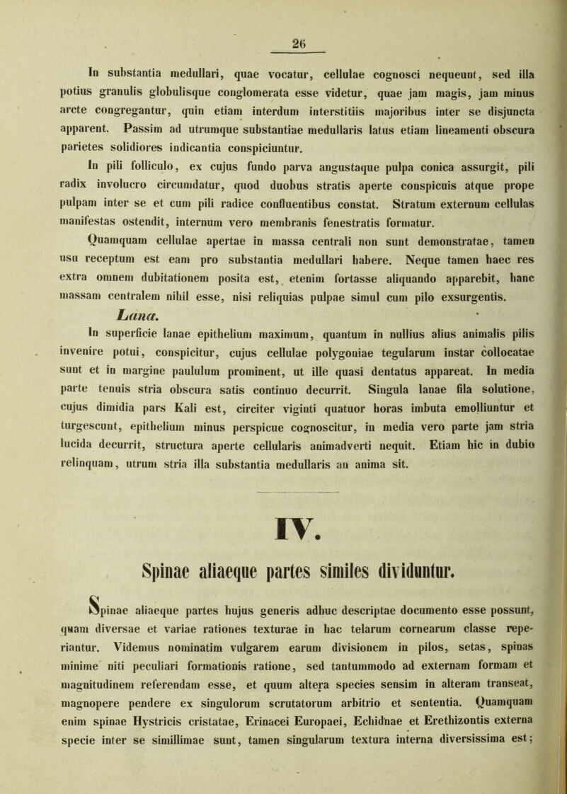 In substantia medullari, quae vocatur, cellulae cognosci nequeunt, sed illa potius granulis globulisque conglomerata esse videtur, quae jam magis, jam minus arcte congregantur, quin etiam interdum interstitiis majoribus inter se disjuncta apparent. Passim ad utrumque substantiae medullaris latus etiam lineamenti obscura parietes solidiores indicantia conspiciuntur. In pili folliculo, ex cujus fundo parva angustaque pulpa conica assurgit, pili radix involucro circumdatur, quod duobus stratis aperte conspicuis atque prope pulpam inter se et cum pili radice confluentibus constat. Stratum externum cellulas manifestas ostendit, internum vero membranis fenestratis formatur. Quamquam cellulae apertae in massa centrali non sunt demonstratae, tamen usu receptum est eam pro substantia medullari habere. Neque tamen haec res extra omnem dubitationem posita est, etenim fortasse aliquando apparebit, hanc massam centralem nihil esse, nisi reliquias pulpae simul cum pilo exsurgentis. Lana. In superficie lanae epithelium maximum, quantum in nullius alius animalis pilis invenire potui, conspicitur, cujus cellulae polygoniae tegularum instar collocatae sunt et in margine paululum prominent, ut ille quasi dentatus appareat. In media parte tenuis stria obscura satis continuo decurrit. Singula lanae fila solutione, cujus dimidia pars Kali est, circiter viginti quatuor horas imbuta emolliuntur et turgescunt, epithelium minus perspicue cognoscitur, in media vero parte jam stria lucida decurrit, structura aperte cellularis animadverti nequit. Etiam hic in dubio relinquam, utrum stria illa substantia medullaris an anima sit. IV. Spinae aliaeque partes similes dividuntur. Spinae aliaeque partes hujus generis adhuc descriptae documento esse possunt, quam diversae et variae rationes texturae in hac telarum cornearum classe repe- riantur. Videmus nominatim vulgarem earum divisionem in pilos, setas, spinas minime niti peculiari formationis ratione, sed tantummodo ad externam formam et magnitudinem referendam esse, et quum altera species sensim in alteram transeat, magnopere pendere ex singulorum scrutatorum arbitrio et sententia. Quamquam enim spinae Hystricis cristatae, Erinacei Europaei, Echidnae et Erethizontis externa specie inter se simillimae sunt, tamen singularum textura interna diversissima est;