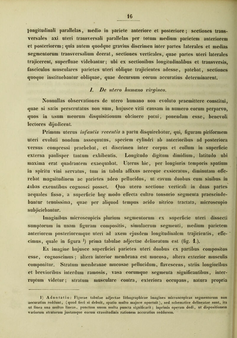 longitudinali parallelas, medio in pariete anteriore et posteriore; sectiones trans- versales axi uteri transversali parallelas per totum medium parietem anteriorem et posteriorem; quia autem quodque gravius discrimen inter partes laterales et medias segmentorum transversalium deerat, sectiones verticales, quae partes uteri laterales trajicerent, superfluae videbantur; ubi ex sectionibus longitudinalibus et transversis, fasciculos musculares parietes uteri oblique trajicientes adesse, patebat, sectiones quoque instituebantur obliquae, quae decursum eorum accuratius determinarent. 1. De utero humano virgineo. Nonnullas observationes de utero humano non evoluto praemittere constitui, quae si satis perscrutatus non sum, hujusce vitii causam in numero eorum perparvo, quos in usum meorum disquisitionum obtinere potui, ponendam esse, benevoli lectores dijudicent. Primum uterus infantis recentis a partu disquirebatur, qui, figuram piriformem uteri evoluti nondum assequutus, speciem cylindri ab anterioribus ad posteriora versus compressi praebebat, et discrimen inter corpus et collum in superficie externa paulisper tantum exhibentis. Longitudo digitum dimidium, latitudo ubi maxima erat quadrantem exaequabat. Uterus hic, per longioris temporis spatium in spiritu vini servatus, tum in tabula affixus aereque exsiccatus, diminutam offe- rebat magnitudinem ac parietes adeo pellucidos, ut cavum duobus cum sinibus in «tubas exeuntibus cognosci posset. Ouo utero sectione verticali in duas partes aequales fisso, a superficie hoc modo effecta cultro tonsorio segmenta praescinde- bantur tenuissima, quae per aliquod tempus acido nitrico tractata, microscopio subjiciebantur. Imaginibus microscopicis plurium segmentorum ex superficie uteri dissecti sumptorum in unam figuram compositis, simulacrum segmenti, medium parietem anteriorem posterioremque uteri ad axem ejusdem longitudinalem trajicientis, effe- * cimus, quale in figura ]) prima tabulae adjectae delineatum est (fig. 1.)» Ex imagine hujusce superficiei parietes uteri duobus ex partibus compositos esse, cognoscimus; altera interior membrana est mucosa, altera exterior musculis componitur. Stratum membranae mucosae pellucidum, flavescens, striis longioribus et brevioribus interdum ramosis, vasa eorumque segmenta significantibus, inter- ruptum videtur; stratum musculare contra, exteriora occupans, natura propria 1) A dno tat io: Figurae tal>ulae adjectae lithographicae imagines microscopicas segmentorum non accuratius reddunt, (<juod fieri si debuit, spatio mullo majore oportuit), sed scliematice delineatae sunt, ita ut linea una multas lineas, punctum unum multa puncta significant; inprimis operam dedi, ut dispositionem ■variorum stratorum justamque eorum crassitudinis rationem accuratius redderem.
