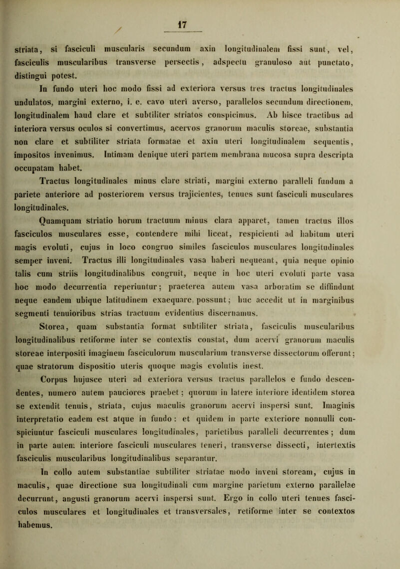 / striata, si fasciculi muscularis secundum axin longitudinalem fissi sunt, vel, fasciculis muscularibus transverse persectis, adspeelu granuloso aut punctato, distingui potest. In fundo uteri hoc modo fissi ad exteriora versus tres tractus longitudinales undulatos, margini externo, i. e. cavo uteri averso, parallelos secundum directionem, longitudinalem haud clare et subtiliter striatos conspicimus. Ab hisce tractibus ad interiora versus oculos si convertimus, acervos granorum maculis storeae, substantia non clare et subtiliter striata formatae et axin uteri longitudinalem sequentis, impositos invenimus. Intimam denique uteri partem membrana mucosa supra descripta occupatam habet. Tractus longitudinales minus clare striati, margini externo paralleli fundum a pariete anteriore ad posteriorem versus trajicientes, tenues sunt fasciculi musculares longitudinales. Quamquam striatio horum tractuum minus clara apparet, tamen tractus illos fasciculos musculares esse, contendere mihi liceat, respicienti ad habitum uteri magis evoluti, cujus in loco congruo similes fasciculos musculares longitudinales semper inveni. Tractus illi longitudinales vasa haberi nequeant, quia neque opinio talis cum striis longitudinalibus congruit, neque in hoc uteri evoluti parte vasa hoc modo decurrentia reperiuntur; praeterea autem vasa arboratim se diffindunt neque eandem ubique latitudinem exaequare possunt; huc accedit ut in marginibus segmenti tenuioribus strias tractuum evidentius discernamus. Storea, quam substantia format subtiliter striata, fasciculis muscularibus longitudinalibus retiforme inter se contextis constat, dum acervi granorum maculis storeae interpositi imaginem fasciculorum muscularium transverse dissectorum offerunt; quae stratorum dispositio uteris quoque magis evolutis inest. Corpus hujusce uteri ad exteriora versus tractus parallelos e fundo descen- dentes, numero autem pauciores praebet; quorum in latere interiore identidem storea se extendit tenuis, striata, cujus maculis granorum acervi inspersi sunt. Imaginis interpretatio eadem est atque in fundo : et quidem in parte exteriore nonnulli con- spiciuntur fasciculi musculares longitudinales, parietibus paralleli decurrentes ; dum in parte autem interiore fasciculi musculares teneri, transverse dissecti, intertextis fasciculis muscularibus longitudinalibus separantur. In collo autem substantiae subtiliter striatae modo inveni stoream, cujus in maculis, quae directione sua longitudinali cum margine parietum externo parallelae decurrunt, angusti granorum acervi inspersi sunt. Ergo in collo uteri tenues fasci- culos musculares et longitudinales et transversales, retiforme inter se contextos habemus.