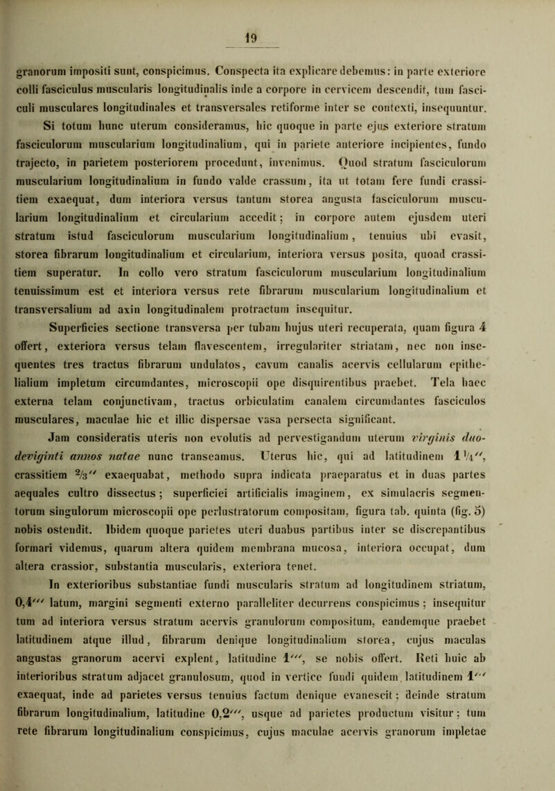 granorum impositi sunt, conspicimus. Conspecta ita explicare debemus: in parte exteriore colli fasciculus muscularis longitudinalis inde a corpore in cervicem descendit, tum fasci- culi musculares longitudinales et transversales retiforme inter se contexti, insequuntur. Si totum hunc uterum consideramus, hic quoque in parte ejus exteriore stratum fasciculorum muscularium longitudinalium, qui in pariete anteriore incipientes, fundo trajecto, in parietem posteriorem procedunt, invenimus. Ouod stratum fasciculorum muscularium longitudinalium in fundo valde crassum, ita ut totam fere fundi erassi- tiem exaequat, dum interiora versus tantum storea angusta fasciculorum muscu- larium longitudinalium et circularium accedit; in corpore autem ejusdem uteri stratum istud fasciculorum muscularium longitudinalium, tenuius ubi evasit, storea fibrarum longitudinalium et circularium, interiora versus posita, quoad crassi- tiem superatur. In collo vero stratum fasciculorum muscularium longitudinalium tenuissimum est et interiora versus rete fibrarum muscularium longitudinalium et transversalium ad axin longitudinalem protractum insequitur. Superficies sectione transversa per tubam hujus uteri recuperata, quam figura 4 offert, exteriora versus telam flavescentem, irregulariter striatam, nec non inse- quentes tres tractus fibrarum undulatos, cavum canalis acervis cellularum epithe- lialium impletum circumdantes, microscopii ope disquirentibus praebet. Tela haec externa telam conjunctivam, tractus orbiculatim canalem circumdantes fasciculos musculares, maculae hic et illic dispersae vasa persecta significant. Jam consideratis uteris non evolutis ad pervestigandum uterum virginis duo- deviginti annos natae nunc transeamus. Uterus hic, qui ad latitudinem l1/4//, crassitiem 2/3 exaequabat, methodo supra indicata praeparatus et in duas partes aequales cultro dissectus; superficiei artificialis imaginem, ex simulacris segmen- torum singulorum microscopii ope perlustratorum compositam, figura tab. quinta (fig. 5) nobis ostendit. Ibidem quoque parietes uteri duabus partibus inter se discrepantibus formari videmus, quarum altera quidem membrana mucosa, interiora occupat, dum altera crassior, substantia muscularis, exteriora tenet. In exterioribus substantiae fundi muscularis stratum ad longitudinem striatum, 0,4' latum, margini segmenti externo paralleliter decurrens conspicimus ; insequitur tum ad interiora versus stratum acervis granulorum compositum, eandemque praebet latitudinem atque illud, fibrarum denique longitudinalium storea, cujus maculas angustas granorum acervi explent, latitudine 1', se nobis offert. Reti huic ab interioribus stratum adjacet granulosum, quod in vertice fundi quidem , latitudinem 1' exaequat, inde ad parietes versus tenuius factum denique evanescit; deinde stratum fibrarum longitudinalium, latitudine 0,2', usque ad parietes productum visitur: tum rete fibrarum longitudinalium conspicimus, cujus maculae acervis granorum impletae
