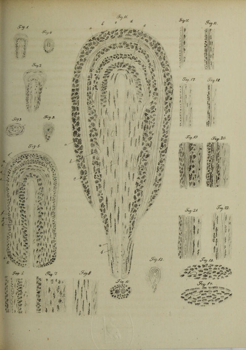 &9-'- &U/.4 ■!' * ?r :? v i' * 'i V , 9) xO V.. f. y $ ’ V* r' 9 Si i 0:0.3 I ■ -'V <(£/•••• • -y ■ *’! % <%* .«WW«a. - / 5« Tr’%- - W*# - \ * * ^ J*U .&** •?*'•**■ J*u. -c t «■• . ^ *■ * & ■<» .»*■ V A' /’/jtf« ? /Ig( «•# f tfl<« $«V. ' . ♦i I J£f •‘, T *»<« i/^f i ‘ «; ■ f>. 1.: t i G£ *J t / * ’ 7 * | $ ^ * $ | <f* vi* 2 k* i i g P *& J‘A 3 MM i\*y ■f. {. s ”>- • *•#' {.T .15 £'iU£ «'•x S i1* %'*')? 4 - J »♦ , r:a>' '-?’ 2 '* , , W' . i* vr! *^*rr / sfi, V \ f'i • * '«*■i ,^-u ,1, / #;va i aa^ i' y<fy- £ i t *j .:» :;, > ,v •■: 5 ky: <■■ *.***! ♦ ; «h* . %» f £ . '«» • i <>■ ►» c.«> ** 5* £«« 3f •# a ,%7 * f ,| f, / I ’?V. , ■ •{; ' s- Sti/O' j fSiij./t. y-2/. i. li * c5^.22. ' k |j'i) I1 ;> »* I i Iit I lj i|?. 9 i | l 1 H,' f It 84- ., -1 o <*? /3. ■»<* <JV -i- :• t*« ' .vi-j, w ,;fc r. «Sf fr *. 77 ,,.,,, -w IV, w«'»^ 1 ,mvl 0 •/,,,. W'* W*1U' r- raff ««« ww Jj' 1W 0,V - !W «P® «Wl ' \\\«), «Wl «V