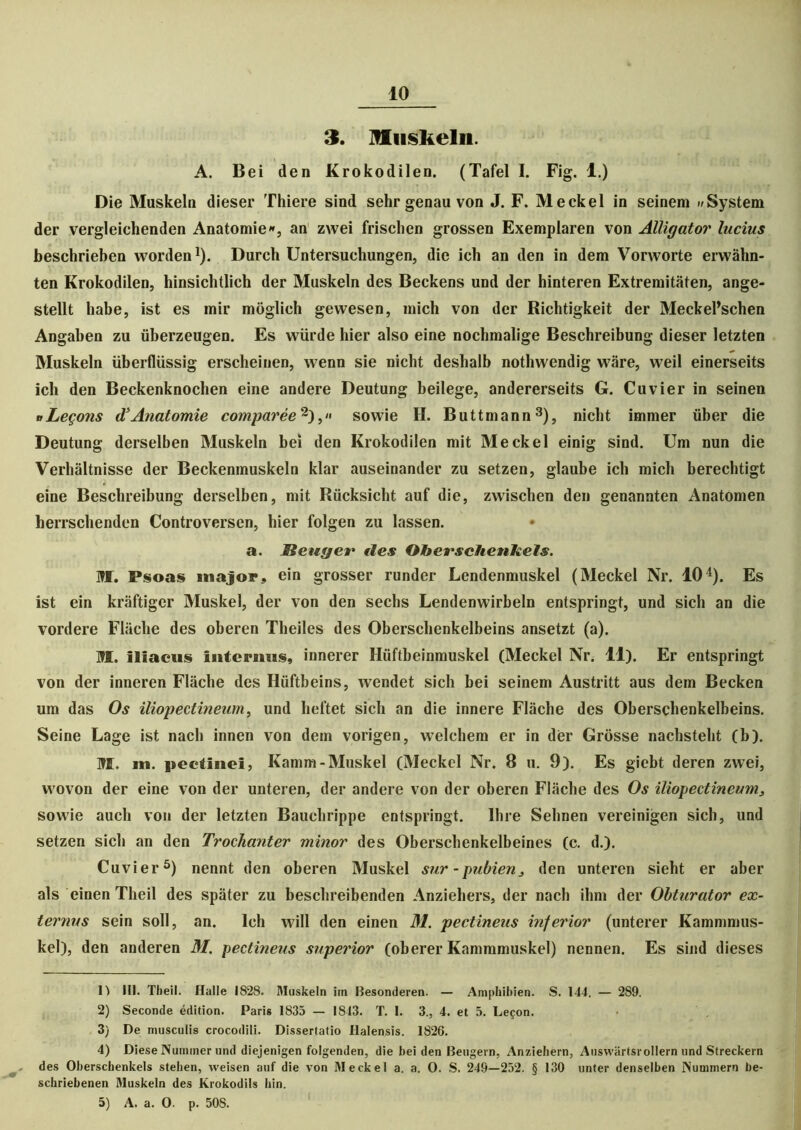 3. Muskeln. A. Bei den Krokodilen. (Tafel I. Fig. 1.) Die Muskeln dieser Thiere sind sehr genau von J. F. Meckel in seinem »System der vergleichenden Anatomie», an zwei frischen grossen Exemplaren von Alligator lucius beschrieben worden1). Durch Untersuchungen, die ich an den in dem Vorworte erwähn- ten Krokodilen, hinsichtlich der Muskeln des Beckens und der hinteren Extremitäten, ange- stellt habe, ist es mir möglich gewesen, mich von der Richtigkeit der Meckel’schen Angaben zu überzeugen. Es würde hier also eine nochmalige Beschreibung dieser letzten Muskeln überflüssig erscheinen, wenn sie nicht deshalb nothwendig wäre, weil einerseits ich den Beckenknochen eine andere Deutung beilege, andererseits G. Cu vier in seinen uLegons d1Anatomie comparee2),« sowie H. Butt mann3), nicht immer über die Deutung derselben Muskeln bei den Krokodilen mit Meckel einig sind. Um nun die Verhältnisse der Beckenmuskeln klar auseinander zu setzen, glaube ich mich berechtigt eine Beschreibung derselben, mit Rücksicht auf die, zwischen den genannten Anatomen herrschenden Controversen, hier folgen zu lassen. a. Beuger fies Oberschenkels. M. Psoas major, ein grosser runder Lendenmuskel (Meckel Nr. 104). Es ist ein kräftiger Muskel, der von den sechs Lendenwirbeln entspringt, und sich an die vordere Fläche des oberen Theiles des Oberschenkelbeins ansetzt (a). M. illacus Interims, innerer Hüftbeinmuskel (Meckel Nr. 11). Er entspringt von der inneren Fläche des Hüftbeins, wendet sich bei seinem Austritt aus dem Becken um das Os iliopectineum, und heftet sich an die innere Fläche des Oberschenkelbeins. Seine Lage ist nach innen von dem vorigen, welchem er in der Grösse nachsteht (b). M. in. pectlnei, Kamm-Muskel (Meckel Nr. 8 u. 9). Es giebt deren zwei, wovon der eine von der unteren, der andere von der oberen Fläche des Os iliopectineum, sowie auch von der letzten Bauchrippe entspringt. Ihre Sehnen vereinigen sich, und setzen sich an den Trochanter minor des Oberschenkelbeines (c. d.). Cuvier5) nennt den oberen Muskel sur -pubien, den unteren sieht er aber als einen Theil des später zu beschreibenden Anziehers, der nach ihm der Obturator ex- ternns sein soll, an. Ich will den einen M. pectineus inferior (unterer Kammmus- kel), den anderen M. pectineus superior (oberer Kammmuskel) nennen. Es sind dieses 1^ III. Theil. Halle 1828. Muskeln im Besonderen. — Amphibien. S. 144. — 289. 2) Seconde edition. Paris 1S35 — 1843. T. I. 3., 4. et 5. Le$on. 3} De musculis crocodili. Dissertatio tlalensis. 1826. 4) Diese Nummer und diejenigen folgenden, die bei den Beugern, Anziehern, Auswärtsrollern und Streckern des Oberschenkels stehen, weisen auf die von Meckel a. a. 0. S. 249—232. § 130 unter denselben Nummern be- schriebenen Muskeln des Krokodils hin. 5) A. a. 0. p. 50S.