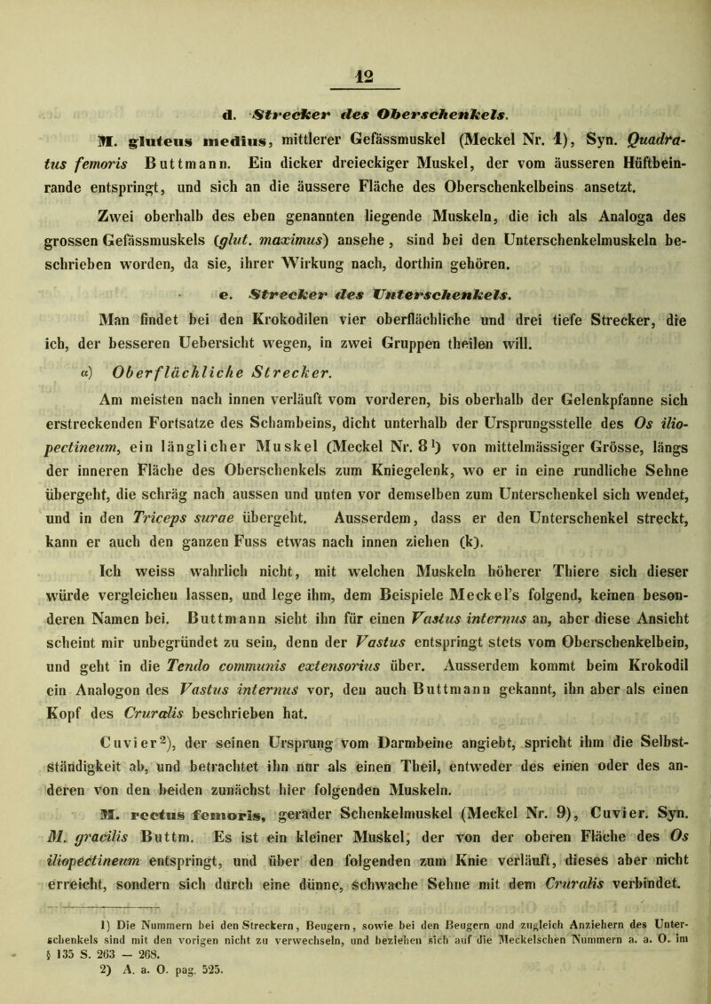 d. StrecUer des Oberschenkels. UI. giutcus inedius, mittlerer Gefässmuskel (Meckel Nr. 1), Syn. Quadra- tes femoris Butt mann. Ein dicker dreieckiger Muskel, der vom äusseren Hüftbein- rande entspringt, und sich an die äussere Fläche des Oberschenkelbeins ansetzt. Zwei oberhalb des eben genannten liegende Muskeln, die ich als Analoga des grossen Gefässmuskels (glut. maximus) ansehe , sind bei den Unterschenkelmuskeln be- schrieben worden, da sie, ihrer Wirkung nach, dorthin gehören. e. Strecher des Unterschenkels. Man findet hei den Krokodilen vier oberflächliche und drei tiefe Strecker, die ich, der besseren Uebersicht wegen, in zwei Gruppen theilen will. «) Oberflächliche Strecker. Am meisten nach innen verläuft vom vorderen, bis oberhalb der Gelenkpfanne sich erstreckenden Fortsatze des Schambeins, dicht unterhalb der Ursprungsstelle des Os ilio- pectineum, ein länglicher Muskel (Meckel Nr. 81) von mittelmässiger Grösse, längs der inneren Fläche des Oberschenkels zum Kniegelenk, wo er in eine rundliche Sehne übergeht, die schräg nach aussen und unten vor demselben zum Unterschenkel sich wendet, und in den Triceps surae übergeht. Ausserdem, dass er den Unterschenkel streckt, kann er auch den ganzen Fuss etwas nach innen ziehen (k). Ich weiss wahrlich nicht, mit welchen Muskeln höherer Thiere sich dieser würde vergleichen lassen, und lege ihm, dem Beispiele Meckel’s folgend, keinen beson- deren Namen bei. Buttmann sieht ihn für einen Vastes internus an, aber diese Ansicht scheint mir unbegründet zu sein, denn der Vastus entspringt stets vom Oberschenkelbein, und geht in die Tendo communis extensorius über. Ausserdem kommt beim Krokodil ein Analogon des Vastes internus vor, den auch Buttmann gekannt, ihn aber als einen Kopf des Crurcdis beschrieben hat. Cuvier2), der seinen Ursprung vom Darmbeine angiebt, spricht ihm die Selbst- ständigkeit ab, und betrachtet ihn nur als einen Theil, entweder des einen oder des an- deren von den beiden zunächst hier folgenden Muskeln. UI. rcetus femoris, gerader Schenkelmuskel (Meckel Nr. 9), Cuvier. Syn. M. gracilis Buttm. Es ist ein kleiner Muskel, der von der oberen Fläche des Os iliopectineum entspringt, und über den folgenden zum Knie verläuft, dieses aber nicht erreicht, sondern sich durch eine dünne, schwache Sehne mit dem CruraHs verbindet. 1) Die Nummern bei den Streckern, Beugern, sowie bei den Beugern und zugleich Anziehern des Unter- schenkels sind mit den vorigen nicht zu verwechseln, und beziehen sich auf die Meckelschen Nummern a. a. 0. im § 135 S. 263 — 268.