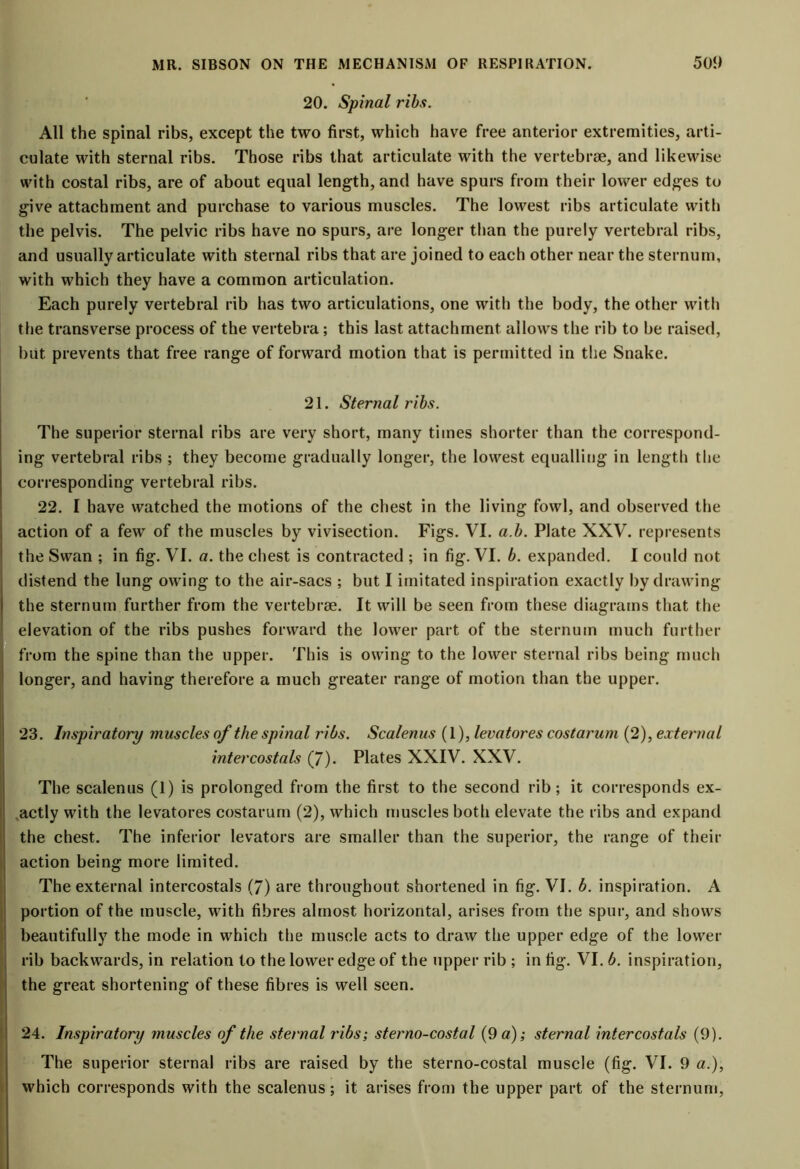 20. Spinal ribs. All the spinal ribs, except the two first, which have free anterior extremities, arti- culate with sternal ribs. Those ribs that articulate with the vertebrae, and likewise with costal ribs, are of about equal length, and have spurs from their lower edges to give attachment and purchase to various muscles. The lowest ribs articulate with the pelvis. The pelvic ribs have no spurs, are longer than the purely vertebral ribs, and usually articulate with sternal ribs that are joined to each other near the sternum, with which they have a common articulation. Each purely vertebral rib has two articulations, one with the body, the other with the transverse process of the vertebra; this last attachment allows the rib to be raised, but prevents that free range of forward motion that is permitted in the Snake. 21. Sternal ribs. The superior sternal ribs are very short, many times shorter than the correspond- ing vertebral ribs ; they become gradually longer, the lowest equalling in length the corresponding vertebral ribs. 22. I have watched the motions of the chest in the living fowl, and observed the action of a few of the muscles by vivisection. Figs. VI. a.b. Plate XXV. represents the Swan ; in fig. VI. a. the chest is contracted ; in fig. VI. b. expanded. I could not distend the lung owing to the air-sacs ; but I imitated inspiration exactly by drawing the sternum further from the vertebrae. It will be seen from these diagrams that the elevation of the ribs pushes forward the lower part of the sternum much further from the spine than the upper. This is owing to the lower sternal ribs being much longer, and having therefore a much greater range of motion than the upper. 23. Inspiratory muscles of the spinal ribs. Scalenus (1), levatores costarum (2), external intercostals (7). Plates XXIV. XXV. The scalenus (1) is prolonged from the first to the second rib; it corresponds ex- actly with the levatores costarum (2), which muscles both elevate the ribs and expand the chest. The inferior levators are smaller than the superior, the range of their action being more limited. The external intercostals (7) are throughout shortened in fig. VI. b. inspiration. A portion of the muscle, with fibres almost horizontal, arises from the spur, and shows beautifully the mode in which the muscle acts to draw the upper edge of the lower rib backwards, in relation to the lower edge of the upper rib ; in fig. VI. b. inspiration, the great shortening of these fibres is well seen. 24. Inspiratory muscles of the sternal ribs; sterno-costal (9 a); sternal intercostals (9). The superior sternal ribs are raised by the sterno-costal muscle (fig. VI. 9 a.), which corresponds with the scalenus; it arises from the upper part of the sternum,