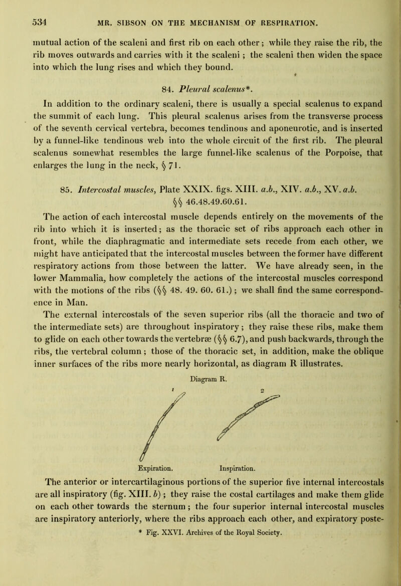 mutual action of the scaleni and first rib on each other; while they raise the rib, the rib moves outwards and carries with it the scaleni ; the scaleni then widen the space into which the lung rises and which they bound. 84. Pleural scalenus*. In addition to the ordinary scaleni, there is usually a special scalenus to expand the summit of each lung. This pleural scalenus arises from the transverse process of the seventh cervical vertebra, becomes tendinous and aponeurotic, and is inserted by a funnel-like tendinous web into the whole circuit of the first rib. The pleural scalenus somewhat resembles the large funnel-like scalenus of the Porpoise, that enlarges the lung in the neck, § 71- 85. Intercostal muscles, Plate XXIX. figs. XIII. a.b., XIV. a.b., XV. a.b. §§ 46.48.49.60.61. The action of each intercostal muscle depends entirely on the movements of the rib into which it is inserted; as the thoracic set of ribs approach each other in front, while the diaphragmatic and intermediate sets recede from each other, we might have anticipated that the intercostal muscles between the former have different respiratory actions from those between the latter. We have already seen, in the lower Mammalia, how completely the actions of the intercostal muscles correspond with the motions of the ribs 48. 49. 60. 61.); we shall find the same correspond- ence in Man. The external intercostals of the seven superior ribs (all the thoracic and two of the intermediate sets) are throughout inspiratory; they raise these ribs, make them to glide on each other towards the vertebrae (§§ 6.7), and push backwards, through the ribs, the vertebral column; those of the thoracic set, in addition, make the oblique inner surfaces of the ribs more nearly horizontal, as diagram R illustrates. Diagram R. Expiration. Inspiration. The anterior or intercartilaginous portions of the superior five internal intercostals are all inspiratory (fig. XIII. b); they raise the costal cartilages and make them glide on each other towards the sternum; the four superior internal intercostal muscles are inspiratory anteriorly, where the ribs approach each other, and expiratory poste-