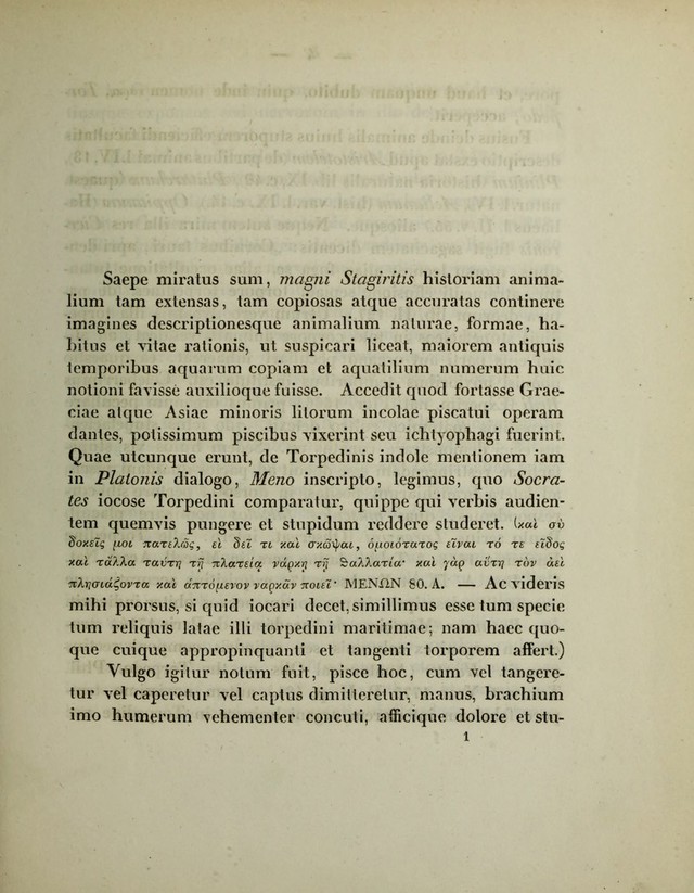 digitised image 3
