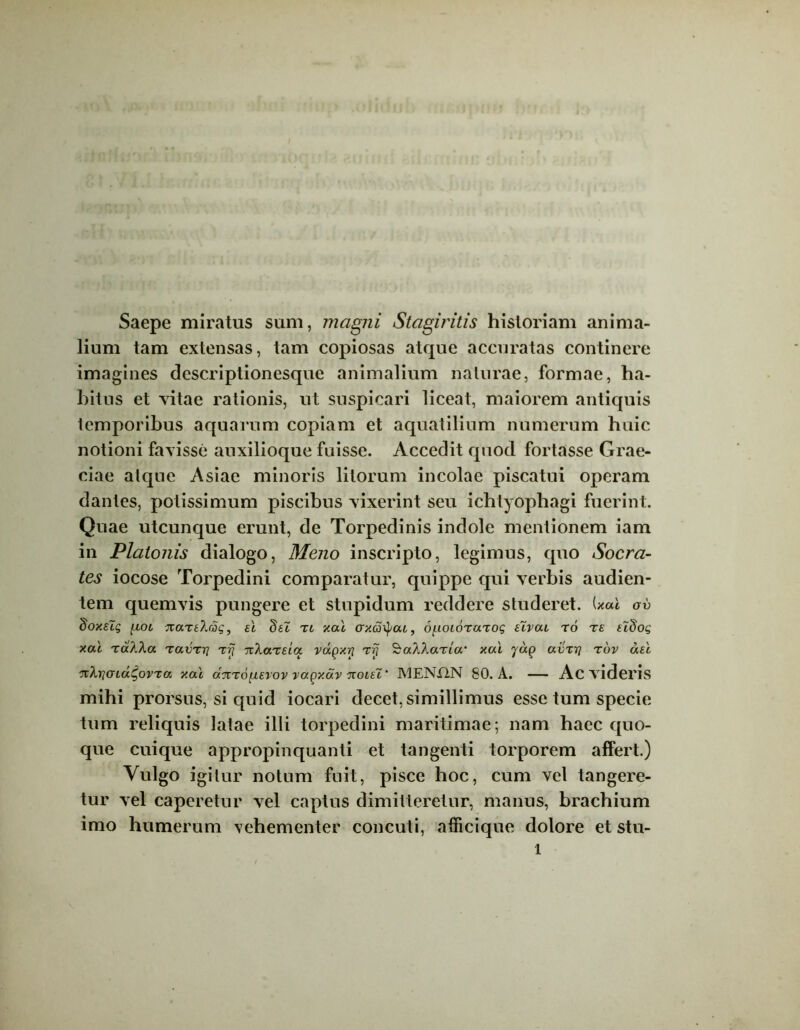 Saepe miratus sum, magni Stagiritis historiam anima- lium tam extensas, tam copiosas atque accuratas continere imagines descriptionesque animalium naturae, formae, ha- bitus et vitae rationis, ut suspicari liceat, maiorem antiquis temporibus aquarum copiam et aquatilium numerum huic notioni favisse auxilioque fuisse. Accedit quod fortasse Grae- ciae atque Asiae minoris litorum incolae piscatui operam dantes, potissimum piscibus vixerint seu ichtyophagi fuerint. Quae utcunque erunt, de Torpedinis indole mentionem iam in Platonis dialogo, Meno inscripto, legimus, quo Socra- tes iocose Torpedini comparatur, quippe qui verbis audien- tem quemvis pungere et stupidum reddere studeret. (xal av doxeZg [xot izareTing, el SeZ tl xal crxco^ac, dj-ioioraTog eZvat ro te eZBog xal TaXkcc TavTri tt? TiXarsia vdgxri trt SocXAaTiw xal yaQ avTrj tov ael %Xri(na.^ovTa xal dnTOfierov vagxav toieZ' MENX1N 80. A. — Ac videns mihi prorsus, si quid iocari decet, simillimus esse tum specie tum reliquis latae illi torpedini maritimae ; nam haec quo- que cuique appropinquanti et tangenti torporem affert.) Vulgo igitur notum fuit, pisce hoc, cum vel tangere- tur vel caperetur vel captus dimitteretur, manus, brachium imo humerum vehementer concuti, afficique dolore et stu- l