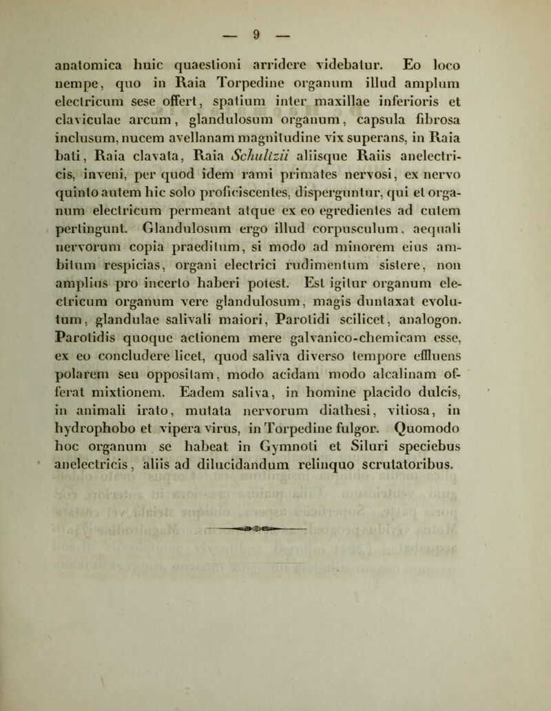 anatomica liuic quaestioni arridere videbatur. Eo loco nempe, quo in Raia Torpedine organum illud amplum electricum sese offert, spatium inter maxillae inferioris et claviculae arcum, glandulosum organum, capsula fibrosa inclusum, nucem avellanam magnitudine vix superans, in Raia bati, Raia clavata, Raia Schulizii aliisque Raiis anelectri- cis, inveni, per quod idem rami primates nervosi, ex nervo quinto autem hic solo proficiscentes, disperguntur, qui et orga- num electricum permeant atque ex eo egredientes ad cutem pertingunt. Glandulosum ergo illud corpusculum, aequali nervorum copia praeditum, si modo ad minorem eius am- bitum respicias, organi electrici rudimentum sistere, non amplius pro incerto haberi potest. Est igitur organum ele- ctricum organum vere glandulosum, magis duntaxat evolu- tum, glandulae salivali maiori, Parotidi scilicet, analogon. Parotidis quoque actionem mere galvanico-chemicam esse, ex eo concludere licet, quod saliva diverso tempore effluens polarem seu oppositam, modo acidam modo alcalinam of- ferat mixtionem. Eadem saliva, in homine placido dulcis, in animali irato, mutata nervorum diatbesi, vitiosa, in hydrophobo et vipera virus, in Torpedine fulgor. Quomodo hoc organum se habeat in Gymnoti et Siluri speciebus aneleetricis, aliis ad dilucidandum relinquo scrutatoribus.