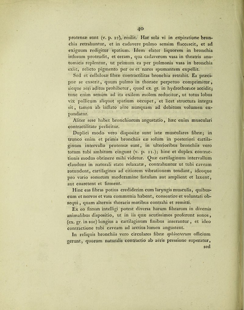 protensae sunt (v. p. 19), resilit. Hac sola vi in expiratione bron- chia retrahuntur, et in cadavere pulmo sensim flaccescit, et ad exiguum redigitur spatium. Idem elater liquorem in bronchia infusum protrudit, et ceram, qua cadaverum vasa in theatris ana- tomicis replentur, ut primum ea per pulmonis vasa in bronchia exiit, relicto pigmento per os et nares spumantem expellit. Sed et cellulosae fibrae contractilitas bronchia retrahit. Ea praeci- pue se exserit, quum pulmo in thorace perpetuo comprimitur, sicque aeri aditus prohibetur, quod ex. gr. in hydrothorace accidit; tunc enim sensim ad ita exilem molem reducitur, ut totus lobus vix pollicum aliquot spatium occupet, et licet structura integra sit, tamen ab inflato aere nunquam ad debitum volumen ex- pandatur. Aliter sese habet bronchiorum angustatio, haec enim musculari contractilitate perficitur. Duplici modo vero dispositae sunt istae musculares fibrae; in trunco enim et primis bronchiis eae solum in posteriori cartila- ginum intervallo protensae sunt, in ulterioribus bronchiis vero totum tubi ambitum cingunt (v. p. 11.); hinc et duplex contrac- tionis modus obtinere mihi videtur. Quae cartilaginum intervallum claudunt in naturali statu relaxatae, contrahuntur ut tubi caveam rotundent, cartilagines ad citiorem vibrationem tendant, ideoque pro vario sonorum moderamine fistulam aut amplient et laxent, aut coarctent et firment. Hinc eas fibras potius crediderim cum laryngis musculis, quibus- cum et nervos et vasa communia habent, consentire et voluntati ob- sequi , quam alternis thoracis motibus contrahi et remitti. Ex eo forsan intelligi potest diversa harum fibrarum in diversis animalibus dispositio, ut in iis quas acutissimos proferunt sonos, (ex. gr. in sue) longius a cartilaginum finibus inserantur, et ideo contractione tubi caveam ad arctius lumen angustent. In reliquis bronchiis vero circulares fibras sphincterum officium gerunt, quorum naturalis contractio ab aeris pressione superatur, sed