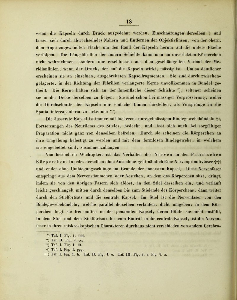 wenn die Kapseln durch Druck ausgedehnt werden, Einschnürungen derselben *) und lassen sich durch abwechselndes Nähern und Entfernen der Objektivlinsen, von der obern, dem Auge zugewandten Fläche um den Rand der Kapseln herum auf die untere Fläche verfolgen. Die Längsfibrillen der innern Schichte kann man an unverletzten Körperchen nicht wahrnehmen, sondern nur erschliessen aus dem geschlängelten Verlauf der Me- ridianlinien, wenn der Druck, der auf die Kapseln wirkt, mässig ist. Umso deutlicher erscheinen sie an einzelnen, ausgebreiteten Kapselfragmenten. Sie sind durch zwischen- gelagerte, in der Richtung der Fibrillen verlängerte Kerne unvollkommen in Riindel ge- theilt. Die Kerne halten sich an der Innenfläche dieser Schichte **), seltener scheinen sie in der Dicke derselben zu liegen. Sie sind schon bei mässiger Vergrösserung, wobei die Durchschnitte der Kapseln nur einfache Linien darstellen, als Vorsprünge in die Spatia intercapsularia zu erkeunen ***). Die äusserste Kapsel ist immer mit lockeren, unregelmässigen Bindegewebebündeln f), Fortsetzungen des Neurilems des Stieles, bedeckt, und lässt sich auch bei sorgfältiger Präparation nicht ganz von denselben befreien. Durch sie scheinen die Körperchen an ihre Umgebung befestigt zu werden und mit dem formlosen Bindegewebe, in welchem sie eingebettet sind, zusammenzuhängen. Von besonderer Wichtigkeit ist das Verhalten der Nerven in den Pacinischen Körperchen. In jedes derselben ohne Ausnahme geht nämlich Eine Nervenprimitivfaser ff) und endet ohne Umbiegungsschlinge im Grunde der innersten Kapsel. Diese Nervenfaser entspringt aus dem Nervenstämmchen oder Aestchen, an dem das Körperchen sitzt, dringt, indem sie von den übrigen Fasern sich ahlöst, in den Stiel desselben ein, und verläuft leicht geschlängelt mitten durch denselben bis zum Stielende des Körperchens, dann weiter durch den Stielfortsatz und die centrale Kapsel. Im Stiel ist die Nervenfaser von den Bindegewebebündeln, welche parallel derselben verlaufen, dicht umgeben; in dem Kör- perchen liegt sie frei mitten in der genannten Kapsel, deren Höhle sie nicht ausfüllt, In dem Stiel und dem Stielfortsatz bis zum Eintritt in die centrale Kapsel, ist die Nerven- faser in ihren miskroskopischen Charakteren durchaus nicht verschieden von andern Cerebro- *) Taf. I. Fig. 1. ddd. w) Taf. II. Fig. 2. ccc. ***) Taf. I. Fig. 1. fff. i) Taf. I. Fig. i. ggg. ff) Taf. I. Fig. 1. h. Taf. II. Fig. 1. e. Taf. III. Fig. 2. a. Fig. 3. a.