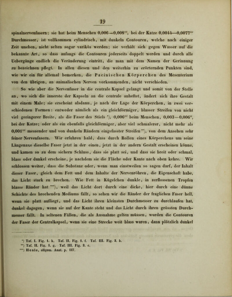 spinalnervenfasern; sie hat beim Menschen 0,006—0,008“', hei der Katze 0,0044—0,0077'“ Durchmesser, ist vollkommen eylindrisch, mit dunkeln Contouren, welche nach einiger Zeit uneben, nicht selten sogar varikös werden; sie verhält sich gegen Wasser auf die bekannte Art, so dass anfangs die Contouren jederseits doppelt werden und durch alle Uebergänge endlich die Veränderung eintritt, die man mit dem Namen der Gerinnung zu bezeichnen pflegt. In allen diesen und den weiterhin zu erörternden Punkten sind, wie wir ein für allemal bemerken, die Pacinischen Körperchen des Mesenterium von den übrigen, an animalischen Nerven vorkommenden, nicht verschieden. So wie aber die Nervenfaser in die centrale Kapsel gelangt und somit von der Stelle an, wo sich die innerste der Kapseln an die centrale anheftet, ändert sich ihre Gestalt mit einem Male; sie erscheint alsdann, je nach der Lage der Körperchen, in zwei ver- schiedenen Formen: entweder nämlich als ein gleichförmiger, blasser Streifen von nicht viel geringerer Breite, als die Faser des Stiels *), 0,006“' heim Menschen, 0,003—0,006“, bei der Katze; oder als ein ebenfalls gleichförmiger, aber viel schmalerer, nicht mehr als 0,001'“ messender und von dunkeln Rändern eingefasster Streifen**), von dem Ansehen sehr feiner Nervenfasern. Wir erfuhren bald, dass durch Rollen eines Körperchens um seine Längenaxe dieselbe Faser jetzt in der einen, jetzt in der andern Gestalt erscheinen könne, und kamen so zu dem sichern Schluss, dass sie platt sei, und dass sie breit oder schmal, blass oder dunkel erscheine, je nachdem sie die Fläche oder Kante nach oben kehre. Wir schlossen weiter, dass die Substanz oder, wenn man einstweilen so sagen darf, der Inhalt dieser Faser, gleich dem Fett und dem Inhalte der Nervenröhren, die Eigenschaft habe, das Licht stark zu brechen. Wie Fett in Kügelchen dunkle, in zerflossenen Tropfen blasse Ränder hat ***), weil das Licht dort durch eine dicke, hier durch eine dünne Schichte des brechenden Mediums fällt, so sehen wir die Ränder der fraglichen Faser hell, wenn sie platt aufliegt, und das Licht ihren kleinsten Durchmesser zu durchlaufen hat, dunkel dagegen, wenn sie auf der Kante steht und das Licht durch ihren grössten Durch- messer fällt. In seltenen Fällen, die als Ausnahme gelten müssen, wurden die Contouren der Faser der Centralkapsel, wenn sie eine Strecke weit blass waren, dann plötzlich dunkel *) Taf. I. Fig. 1. k. Taf. II. Fig. 1. f. Taf. III. Fig. 3. b. **) Taf. II. Fig. 1. g. Taf. III. Fig. 3. c. •”) He nie, allgem. Anat. p. 117.