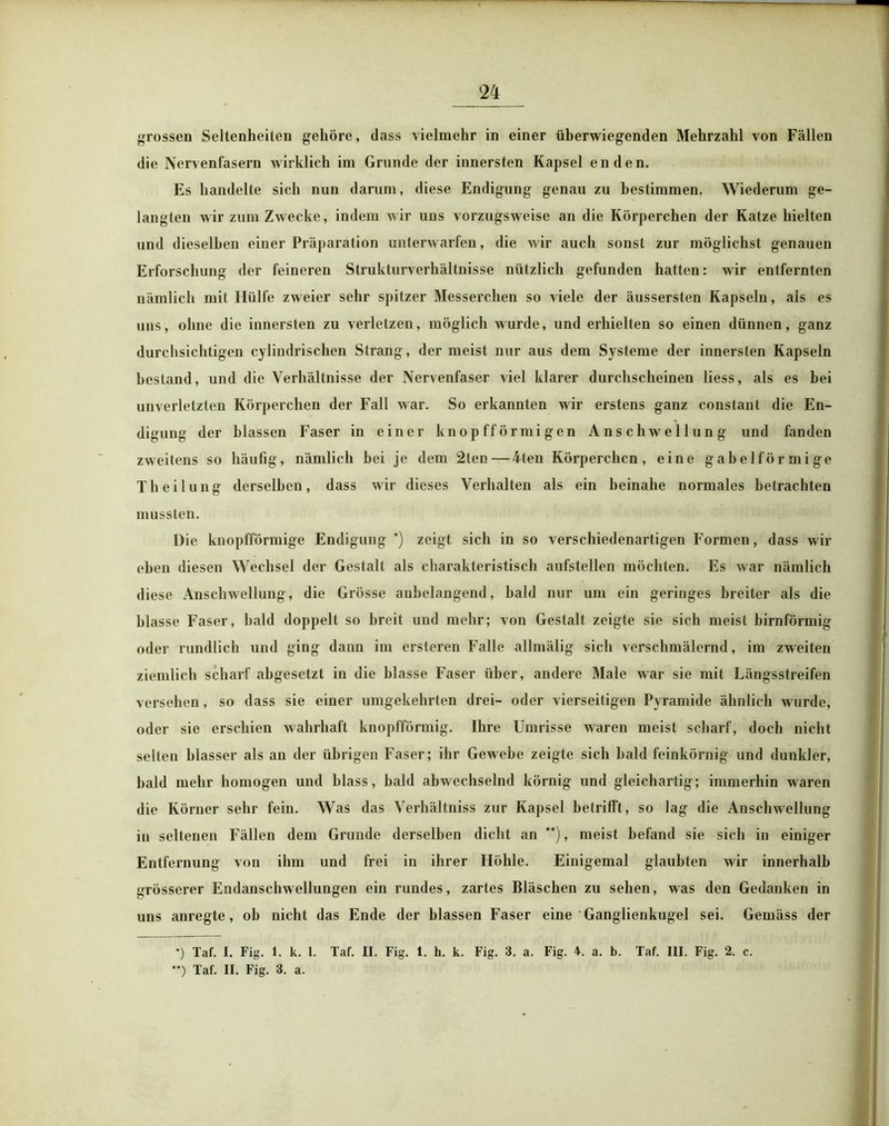 »rossen Seltenheiten gehöre, dass vielmehr in einer überwiegenden Mehrzahl von Fällen die Nervenfasern wirklich im Grunde der innersten Kapsel enden. Es handelte sich nun darum, diese Endigung genau zu bestimmen. Wiederum ge- langten wir zum Zwecke, indem wir uns vorzugsweise an die Körperchen der Katze hielten und dieselben einer Präparation unterwarfen, die wir auch sonst zur möglichst genauen Erforschung der feineren Strukturverhältnisse nützlich gefunden hatten: wir entfernten nämlich mit Hülfe zweier sehr spitzer Messerchen so viele der äussersten Kapseln, als es uns, ohne die innersten zu verletzen, möglich wurde, und erhielten so einen dünnen, ganz durchsichtigen cylindrischen Strang, der meist nur aus dem Systeme der innersten Kapseln bestand, und die Verhältnisse der Nervenfaser viel klarer durchscheinen liess, als es bei unverletzten Körperchen der Fall war. So erkannten wir erstens ganz constant die En- digung der blassen Faser in einer knopfförmigen Anschwellung und fanden zweitens so häufig, nämlich bei je dem 2ten—4ten Körperchen, eine gabelförmige Theilung derselben, dass wir dieses Verhalten als ein beinahe normales betrachten mussten. Die knopfförmige Endigung *) zeigt sich in so verschiedenartigen Formen, dass wir eben diesen Wechsel der Gestalt als charakteristisch aufstellen möchten. Es war nämlich diese Anschwellung, die Grösse anbelangend, bald nur um ein geringes breiter als die blasse Faser, bald doppelt so breit und mehr; von Gestalt zeigte sie sich meist bimförmig oder rundlich und ging dann im ersteren Falle allmälig sich verschmälernd, im zweiten ziemlich scharf ahgesetzt in die blasse Faser über, andere Male war sie mit Längsstreifen versehen, so dass sie einer umgekehrten drei- oder vierseitigen Pyramide ähnlich w urde, oder sie erschien wahrhaft knopfförmig. Ihre Umrisse waren meist scharf, doch nicht selten blasser als an der übrigen Faser; ihr Gewebe zeigte sich bald feinkörnig und dunkler, bald mehr homogen und blass, bald abwechselnd körnig und gleichartig; immerhin waren die Körner sehr fein. Was das Verhältniss zur Kapsel betrifft, so lag die Anschwellung in seltenen Fällen dem Grunde derselben dicht an **), meist befand sie sich in einiger Entfernung von ihm und frei in ihrer Höhle. Einigemal glaubten wir innerhalb grösserer Endanschwellungen ein rundes, zartes Bläschen zu sehen, was den Gedanken in uns anregte, ob nicht das Ende der blassen Faser eine Ganglienkugel sei. Gemäss der *) Taf. I. Fig. 1. k. 1. Taf. II. Fig. 1. h. k. Fig. 3. a. Fig. 4. a. b. Taf. III. Fig. 2. c.