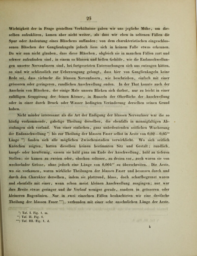 Wichtigkeit der in Frage gestellten Verhältnisse gaben wir uns jegliche Mühe, um die- selben aufzuklären, kamen aber nicht weiter, als dass wir eben in seltenen Fällen die Spur oder Andeutung eines Bläschens auffanden ; von dem charakteristischen eingeschlos- senen Bläschen der Ganglienkugeln jedoch Hess sich in keinem Falle etwas erkennen. Da wir nun nicht glauben, dass diese Bläschen , obgleich sie in manchen Fällen zart und schwer aufzufinden sind , in einem so blassen und hellen Gebilde , wie die Endanschwellun- gen unserer Nervenfasern sind, bei fortgesetzten Untersuchungen sich uns entzogen hätten, so sind wir schliesslich zur Ueberzeugung gelangt, dass hier von Ganglienkugeln keine Rede sei, dass vielmehr die blassen Nervenfasern, wie beschrieben, einfach mit einer grösseren oder geringeren, rundlichen Anschwellung enden. In der Thal konnte auch der Anschein von Bläschen, der einige Male unsern Blicken sich darhot, nur zu leicht in einer zufälligen Gruppirung der feinen Körner, in Runzeln der Oberfläche der Anschwellung oder in einer durch Druck oder Wasser bedingten Veränderung derselben seinen Grund haben. Nicht minder interessant als die Art der Endigung der blassen Nervenfaser war die so häufig vorkommende, gabelige Theilung derselben, die ebenfalls in mannigfaltigen Ab- stufungen sich vorfand. Von einer einfachen, ganz unbedeutenden seitlichen Wucherung der Endanschwellung *) bis zur Theilung der blassen Faser selbst in Aesle von 0,02 — 0,05' Länge **) fanden sich alle möglichen Zwischenstadien verwirklicht. Wo sich seitlich Knötchen zeigten, hatten dieselben keinen bestimmten Sitz und Gestalt; rundlich, knöpf- oder bimförmig, sassen sie bald ganz am Ende der Anschwellung, bald an lieferen Stellen; sie kamen zu zweien oder, obschon seltener, zu dreien vor, auch waren sie von wechselnder Grösse, ohne jedoch eine Länge von 0,004' zu überschreiten. Die Aeste, wo sie vorkamen, waren wirkliche Theilungen der blassen Faser und besassen durch und durch den Charakter derselben, indem sie plattrund, blass, doch scharfbegrenzt waren und ebenfalls mit einer, wenn schon meist kleinen Anschwellung ausgingen; nur war ihre Breite etwas geringer und ihr Verlauf weniger gerade, sondern in grösseren oder kleineren Bogenlinien. Nur in zwei einzelnen Fällen beobachteten wir eine dreifache Theilung der blassen Faser***), verbunden mit einer sehr ansehnlichen Länge der Aeste, *) Tat. I. Fig. 1. na. ”) Taf. II. Fig. 4. ”) Taf. III. Fig. 1. d. 4