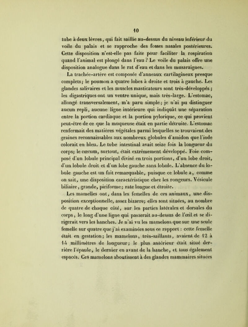 tube à deux lèvres, qui fait saillie au-dessus du niveau inférieur du voile du palais et se rapproche des fosses nasales postérieures. Cette disposition n’est-elle pas faite pour faciliter la respiration quand l’animal est plongé dans l’eau ? Le voile du palais offre une disposition analogue dans le rat d’eau et dans les musaraignes. La trachée-artère est composée d’anneaux cartilagineux presque complets ; le poumon a quatre lobes à droite et trois à gauche. Les glandes salivaires et les muscles masticateurs sont très-développés ; les digastriques ont un ventre unique, mais très-large. L’estomac, allongé transversalement, m’a paru simple ; je n’ai pu distinguer aucun repli, aucune ligne intérieure qui indiquât une séparation entre la portion cardiaque et la portion pylorique, ce qui provient peut-être de ce que la muqueuse était en partie détruite. L’estomac renfermait des matières végétales parmi lesquelles se trouvaient des graines reconnaissables aux nombreux globules d’amidon que l’iode colorait en bleu. Le tube intestinal avait seize fois la longueur du corps; le cæcum, surtout, était extrêmement développé. Foie com- posé d’un lobule principal divisé entrois portions, d’un lobe droit, d’un lobule droit et d’un lobe gauche sans lobule. L’absence du lo- bule gauche est un fait remarquable, puisque ce lobule a, comme on sait, une disposition caractéristique chez les rongeurs. Vésicule biliaire, grande, piriforme; rate longue et étroite. Les mamelles ont, dans les femelles de ces animaux, une dis- position exceptionnelle, assez bizarre; elles sont situées, au nombre de quatre de chaque côté, sur les parties latérales et dorsales du corps, le long d’une ligue qui passerait au-dessus de l’œil et se di- rigerait vers les hanches. Je n’ai vu les mamelons que sur une seule femelle sur quatre que j’ai examinées sous ce rapport : cette femelle était en gestation; les mamelons, très-saillants, avaient de 12 à 14 millimètres de longueur; le plus antérieur était situé der- rière l’épaule, le dernier en avant de la hanche, et tous également espacés. Ces mamelons aboutissent à des glandes mammaires situées