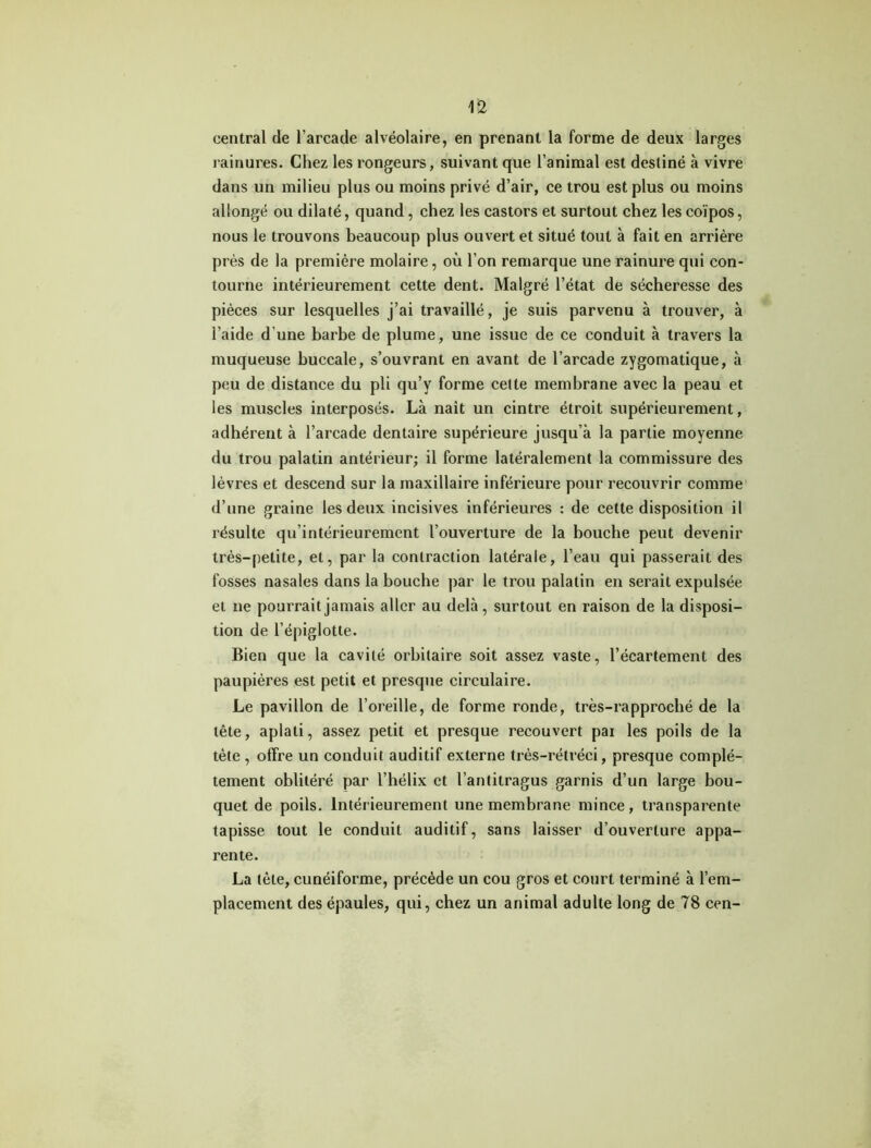 central de l’arcade alvéolaire, en prenant la forme de deux larges rainures. Chez les rongeurs, suivant que l’animal est destiné à vivre dans un milieu plus ou moins privé d’air, ce trou est plus ou moins allongé ou dilaté, quand, chez les castors et surtout chez les coïpos, nous le trouvons beaucoup plus ouvert et situé tout à fait en arrière près de la première molaire, où l’on remarque une rainure qui con- tourne intérieurement cette dent. Malgré l’état de sécheresse des pièces sur lesquelles j’ai travaillé, je suis parvenu à trouver, à l’aide d’une barbe de plume, une issue de ce conduit à travers la muqueuse buccale, s’ouvrant en avant de l’arcade zygomatique, à peu de distance du pli qu’y forme cette membrane avec la peau et les muscles interposés. Là naît un cintre étroit supérieurement, adhérent à l’arcade dentaire supérieure jusqu’à la partie moyenne du trou palatin antérieur; il forme latéralement la commissure des lèvres et descend sur la maxillaire inférieure pour recouvrir comme d’une graine les deux incisives inférieures : de cette disposition il résulte qu’intérieurement l’ouverture de la bouche peut devenir très-petite, et, par la contraction latérale, l’eau qui passerait des fosses nasales dans la bouche par le trou palatin en serait expulsée et ne pourrait jamais aller au delà, surtout en raison de la disposi- tion de l’épiglotte. Bien que la cavité orbitaire soit assez vaste, l’écartement des paupières est petit et presque circulaire. Le pavillon de l’oreille, de forme ronde, très-rapproché de la tête, aplati, assez petit et presque recouvert par les poils de la tète , offre un conduit auditif externe très-rétréci, presque complè- tement oblitéré par l’hélix et l’antitragus garnis d’un large bou- quet de poils. Intérieurement une membrane mince, transparente tapisse tout le conduit auditif, sans laisser d’ouverture appa- rente. La tète, cunéiforme, précède un cou gros et court terminé à l’em- placement des épaules, qui, chez un animal adulte long de 78 cen-
