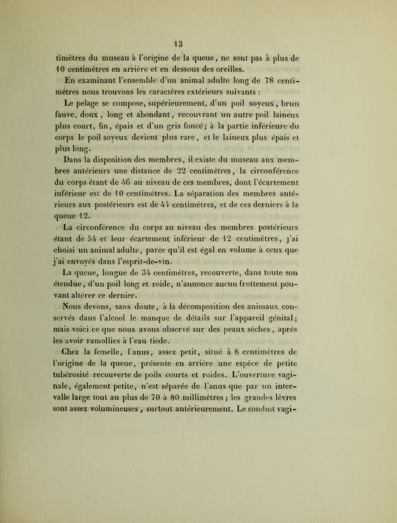 timètres du museau à l’origine de la queue, ne sont pas à plus de 10 centimètres en arrière et en dessous des oreilles. En examinant l’ensemble d’un animal adulte long de 78 centi- mètres nous trouvons les caractères extérieurs suivants : Le pelage se compose, supérieurement, d’un poil soyeux, brun fauve, doux, long et abondant, recouvrant un autre poil laineux plus court, fin, épais et d’un gris foncé; à la partie inférieure du corps le poil soyeux devient plus rare, elle laineux plus épais et plus long. Dans la disposition des membres, il existe du museau aux mem- bres antérieurs une distance de 22 centimètres, la circonférence du corps étant de 46 au niveau de ces membres, dont l’écartement inférieur est de 10 centimètres. La séparation des membres anté- rieurs aux postérieurs est de K\ centimètres, et de ces derniers à la queue 12. La circonférence du corps au niveau des membres postérieurs étant de 54 et leur écartement inférieur de 12 centimètres, j’ai choisi un animal adulte, parce qu’il est égal en volume à ceux que j’ai envoyés dans l’esprit-de-vin. La queue, longue de 34 centimètres, recouverte, dans toute son étendue, d’un poil long et roide, n’annonce aucun frottement pou- vant altérer ce dernier. Nous devons, sans doute, à la décomposition des animaux con- servés dans l’alcool le manque de détails sur l’appareil génital; mais voici ce que nous avons observé sur des peaux sèches , après les avoir ramollies à l’eau tiède. Chez la femelle, l'anus, assez petit, situé à 8 centimètres de l’origine de la queue, présente en arrière une espèce de petite tubérosité recouverte de poils courts et roides. L’ouverture vagi- nale, également petite, n’est séparée de l’anus que par un inter- valle large tout au plus de 70 à 80 millimètres; les grandes lèvres sont assez volumineuses , surtout antérieurement. Le conduit vagi-