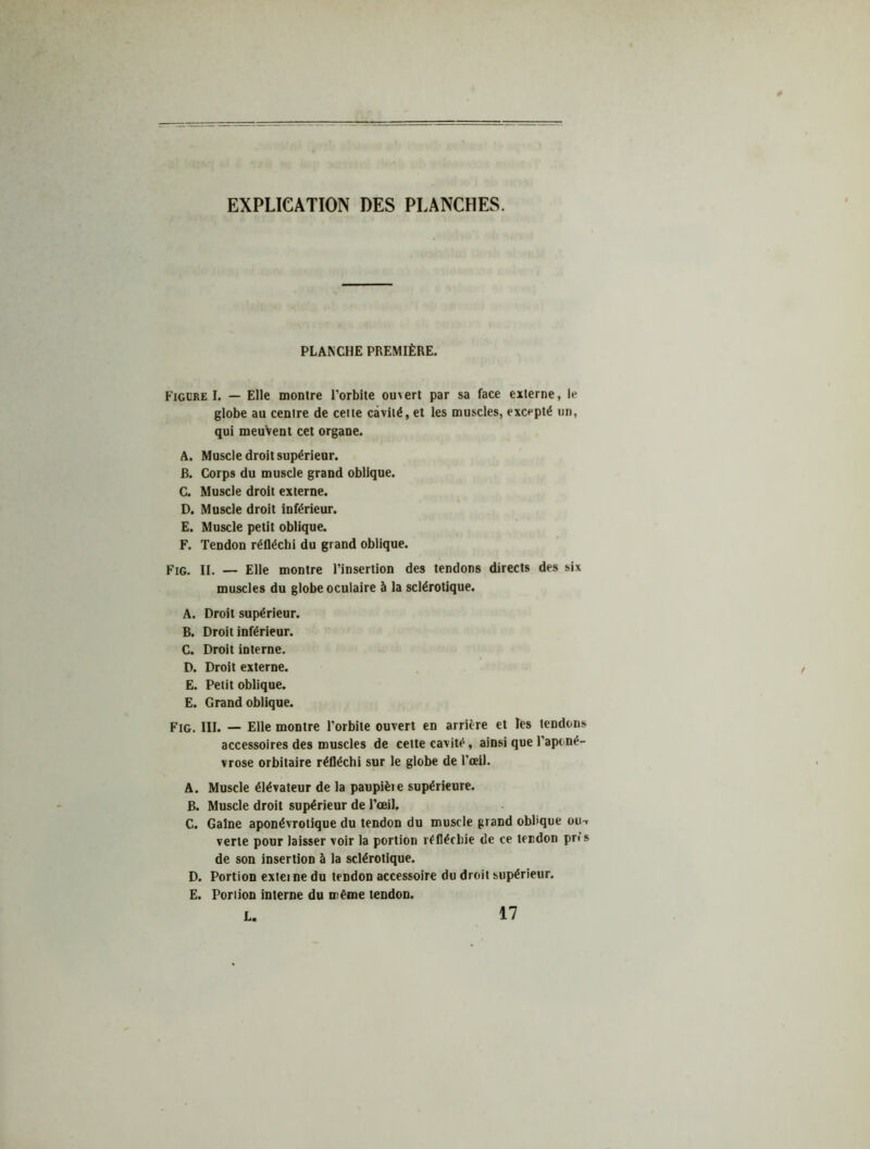 EXPLICATION DES PLANCHES. PLANCHE PREMIÈRE. Figure I. — Elle montre l’orbite ouvert par sa face externe, le globe au centre de cette cavité, et les muscles, excepté un, qui meuvent cet organe. A. Muscle droit supérieur. B. Corps du muscle grand oblique. C. Muscle droit externe. D. Muscle droit inférieur. E. Muscle petit oblique. F. Tendon réfléchi du grand oblique. Fig. II. — Elle montre l’insertion des tendons directs des six muscles du globe oculaire à la sclérotique. A. Droit supérieur. B. Droit inférieur. C. Droit interne. D. Droit externe. E. Petit oblique. E. Grand oblique. Fig. III. — Elle montre l’orbite ouvert en arrière et les tendons accessoires des muscles de cette cavité, ainsi que l'aponé- vrose orbitaire réfléchi sur le globe de l’œil. A. Muscle élévateur de la paupièie supérieure. B. Muscle droit supérieur de l’œil. C. Gaine aponévrotique du tendon du muscle grand oblique ou-* verte pour laisser voir la portion réfléchie de ce tendon pr< s de son insertion à la sclérotique. D. Portion extei ne du tendon accessoire du droit supérieur. E. Poriion interne du même tendon. L.