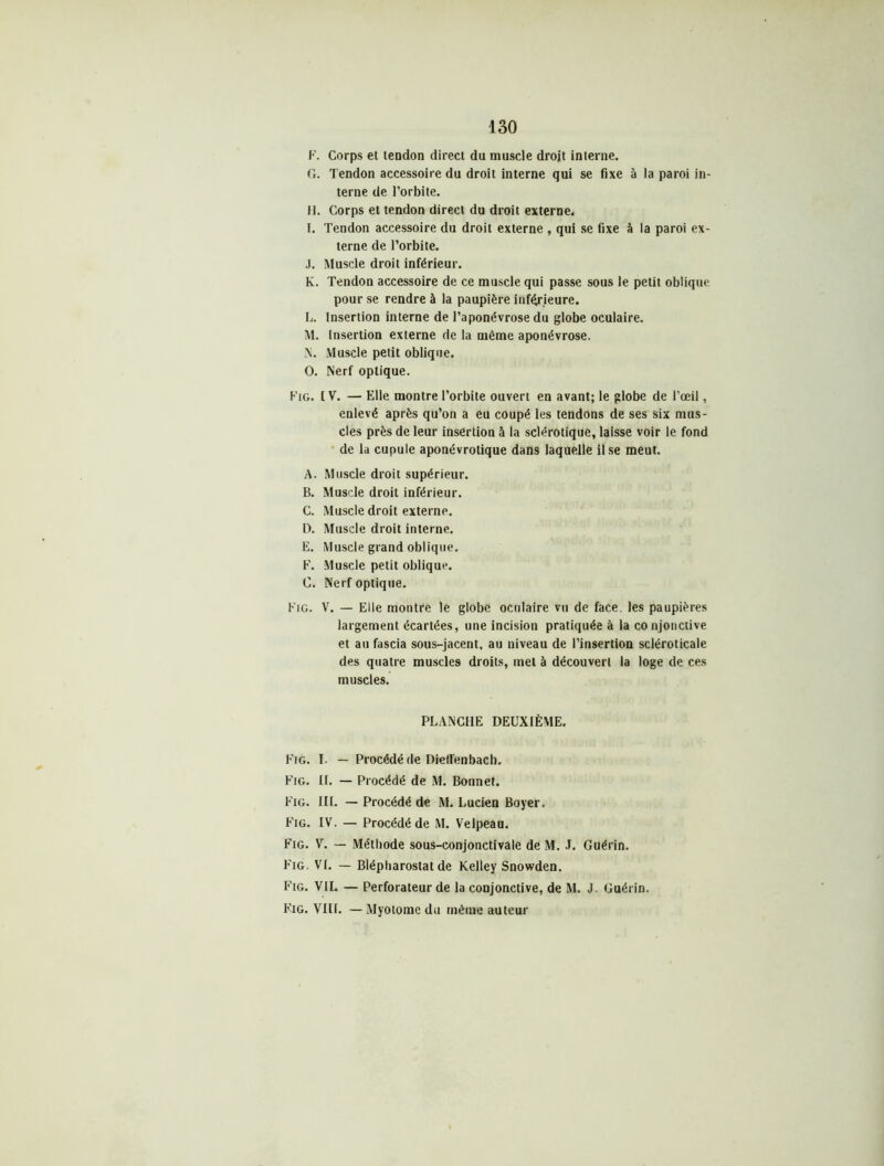 F. Corps et tendon direct du muscle droit interne. C,. Tendon accessoire du droit interne qui se fixe à la paroi in- terne de l’orbite. H. Corps et tendon direct du droit externe. I. Tendon accessoire du droit externe , qui se fixe à la paroi ex- terne de l’orbite. .). Muscle droit inférieur. K. Tendon accessoire de ce muscle qui passe sous le petit oblique pour se rendre à la paupière inférieure. L. Insertion interne de l’aponévrose du globe oculaire. M. Insertion externe de la même aponévrose. N. Muscle petit oblique. O. Nerf optique. Fig. IV. — Elle montre l’orbite ouvert en avant; le globe de l’œil, enlevé après qu’on a eu coupé les tendons de ses six mus- cles près de leur insertion 5 la sclérotique, laisse voir le fond de la cupule aponévrotique dans laquelle il se meut. A. Muscle droit supérieur. B. Muscle droit inférieur. C. Muscle droit externe. L). Muscle droit interne. E. Muscle grand oblique. F. Muscle petit oblique. C. Nerf optique. Fig. V. — Elle montre le globe oculaire vu de face, les paupières largement écartées, une incision pratiquée à la conjonctive et au fascia sous-jacent, au niveau de l’insertion scléroticale des quatre muscles droits, met à découvert la loge de ces muscles. PLANCHE DEUXIÈME. Fig. I. — Procédé de DielFenbach. Fig. II. — Procédé de M. Bonnet. Fig. III. — Procédé de M. Lucien Boyer. Fig. IV. — Procédé de M. Velpeau. Fig. V. — Méthode sous-conjonctivale de M. J. Guérin. Fig. VI. — Blépliarostat de Kelley Snowden. Fig. VIL — Perforateur de la conjonctive, de M. J. Guérin. Fjg. VIII. — Myotomc du même auteur