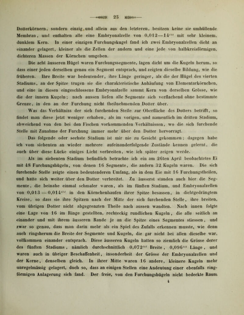 25 — Dotierkörnern, sondern einzig und allein aus den letzteren, besitzen keine sie umhüllende Membran, und enthalten alle eine Embryonalzelle von 0,012—14^ mit sehr kleinem, dunklem Kern. In einer einzigen Furchungskugel fand ich zwei Embryonalzellen dicht an einander gelagert, kleiner als die Zellen der andern und eine jede von halbkreisförmigen, dichteren Massen der Körnchen umgeben. , Die acht äusseren Hügel waren Furchungssegmente, lagen dicht um die Kugeln herum, so dass einer jeden derselben genau ein Segment entsprach, und zeigten dieselbe Bildung, wie die früheren. Ihre Breite war bedeutender, ihre Länge geringer, als die der Hügel des vierten Stadiums, an der Spitze trugen sie die charakteristische Anhäufung von Elementarkörnchen, und eine in diesen eingeschlossene Embryonalzelle sammt Kern von derselben Grösse, wie die der innern Kugeln; nach aussen liefen alle Segmente sich verflachend ohne bestimmte Grenze, in den an der Furchung nicht theilnehmenden Dotier über. Was das Verhältniss der sich furchenden Stelle zur Oberfläche des Dotters betrilTt, so findet man diese jetzt weniger erhaben, als im vorigen, und namentlich im drillen Stadium, abweichend von den bei den Fischen vorkommenden Verhältnissen, wo die sich furchende Stelle mit Zunahme der Furchung immer mehr über den Dotier hervorragt. Das folgende oder sechste Stadium ist mir nie zu Gesicht gekommen ; dagegen habe ich vom siebenten an wieder mehrere aufeinanderfolgende Zustände kennen gelernt, die auch über diese Lücke einiges Licht verbreiten, wie ich später zeigen werde. Als im siebenten Stadium befindlich betrachte ich ein am 26ten April beobachtetes Ei mit 48 Furchungshügeln, von denen 16 Segmente, die andern 32 Kugeln waren. Die sich furchende Stelle zeigte einen bedeutenderen Umfang, als in dem Eie mit 16 Furchungstheilen, und hatte sich weiter über den Dotter verbreitet. Zu äusserst standen auch hier die Seg- mente, die beinahe einmal schmaler waren, als im fünften Stadium, und Embryonalzellen von 0,013—0,014' in den Körnchenhaufen ihrer Spitze besassen, in dichtgedrängtem Kreise, so dass sie ihre Spitzen nach der Mitte der sich furchenden Stelle, ihre breiten, vom übrigen Dotter nicht abgegrenzten Theile nach aussen wandten. Nach innen folgte eine Lage von 16 im Ringe gestellten, rechteckig rundlichen Kugeln, die alle seitlich an einander und mit ihrem äusseren Rande je an die Spitze eines Segmentes stiessen , und zwar so genau, dass man darin mehr als ein Spiel des Zufalls erkennen musste, wie denn auch ringsherum die Breite der Segmente und Kugeln, die gar nicht bei allen dieselbe war, vollkommen einander entsprach. Diese äusseren Kugeln halten so ziemlich die Grösse derer des fünften Stadiums , nämlich durchschnittlich 0,072' Breite , 0,096' Länge, und waren auch in übriger BeschaCTenheit, insonderheit der Grösse der Embryonalzellen und der Kerne, denselben gleich. In ihrer Mitte waren 16 andere, kleinere Kugeln mehr unregelmässig gelagert, doch so, dass an einigen Stellen eine Andeutung einer ebenfalls ring- förmigen Anlagerung sich fand. Der freie, von den Furchungsbügeln nicht bedeckte Raum 4