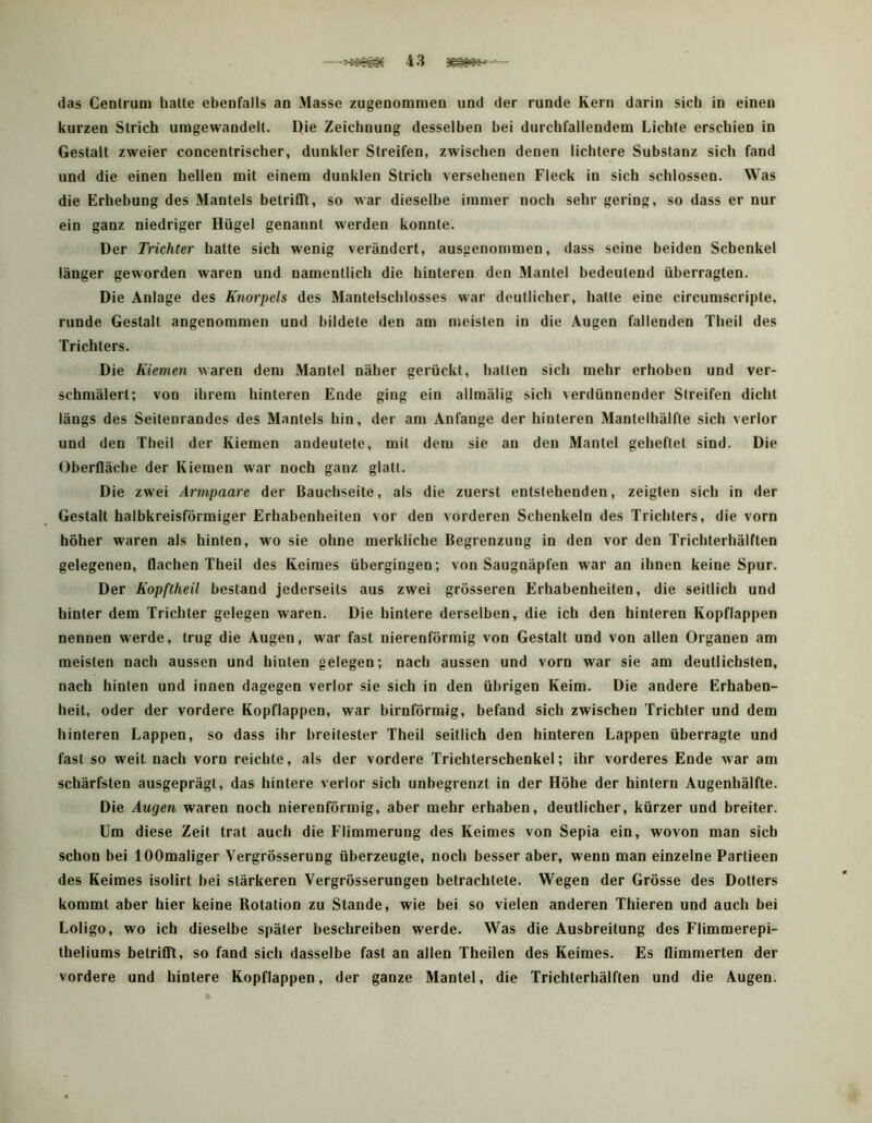 4 3 das Cenlrum hatte ebenfalls an Masse zugenommen und der runde Kern darin sich in einen kurzen Strich umgewandelt. I)ie Zeichnung desselben bei durchfallendem Lichte erschien in Gestalt zweier concentrischer, dunkler Streifen, zwischen denen lichtere Substanz sich fand und die einen hellen mit einem dunklen Strich versehenen Fleck in sich schlossen. Was die Erhebung des Mantels betrifft, so war dieselbe immer noch sehr gering, so dass er nur ein ganz niedriger Hügel genannt werden konnte. Der Trichter hatte sich wenig verändert, ausgenommen, dass seine beiden Schenkel länger geworden waren und namentlich die hinteren den Mantel bedeutend überragten. Die Anlage des Knorpels des Mantelschlosses war deutlicher, hatte eine circumscripte, runde Gestalt angenommen und bildete den am meisten in die Äugen fallenden Theil des Trichters. Die Kiemen waren dem Mantel näher gerückt, hatten sich mehr erhoben und ver- schmälert; von ihrem hinteren Ende ging ein allmälig sich verdünnender Streifen dicht längs des Seitenrandes des Mantels hin, der am Anfänge der hinteren Mantelhälfte sich verlor und den Theil der Kiemen andeutete, mit dem sie an den Mantel geheftet sind. Die Oberfläche der Kiemen war noch ganz glatt. Die zwei Armpaare der Bauchseite, als die zuerst entstehenden, zeigten sich in der Gestalt halbkreisförmiger Erhabenheiten vor den vorderen Schenkeln des Trichters, die vorn höher waren als hinten, wo sie ohne merkliche Begrenzung in den vor den Trichterhälften gelegenen, flachen Theil des Keimes übergingen; von Saugnäpfen war an ihnen keine Spur. Der Kopftheil bestand jederseits aus zwei grösseren Erhabenheiten, die seitlich und hinter dem Trichter gelegen waren. Die hintere derselben, die ich den hinteren Kopflappen nennen werde, trug die Augen, war fast uierenförmig von Gestalt und von allen Organen am meisten nach aussen und hinten gelegen; nach aussen und vorn war sie am deutlichsten, nach hinten und innen dagegen verlor sie sich in den übrigen Keim. Die andere Erhaben- heit, oder der vordere Kopflappen, war bimförmig, befand sich zwischen Trichter und dem hinteren Lappen, so dass ihr breitester Theil seitlich den hinteren Lappen überragte und fast so weit nach vorn reichte, als der vordere Trichterschenkel; ihr vorderes Ende war am schärfsten ausgeprägt, das hintere verlor sich unbegrenzt in der Höhe der hintern Augenhälfte. Die Augen waren noch nierenförmig, aber mehr erhaben, deutlicher, kürzer und breiter. Um diese Zeit trat auch die Flimmerung des Keimes von Sepia ein, wovon man sich schon bei lOOmaliger Vergrösserung überzeugte, noch besser aber, wenn man einzelne Partieen des Keimes isolirt bei stärkeren Vergrösserungen betrachtete. Wegen der Grösse des Dotters kommt aber hier keine Rotation zu Stande, wie bei so vielen anderen Thieren und auch bei Loligo, wo ich dieselbe später beschreiben werde. Was die Ausbreitung des Flimmerepi- theliums betrifft, so fand sich dasselbe fast an allen Theilen des Keimes. Es flimmerten der vordere und hintere Kopflappen, der ganze Mantel, die Trichterhälften und die Augen.