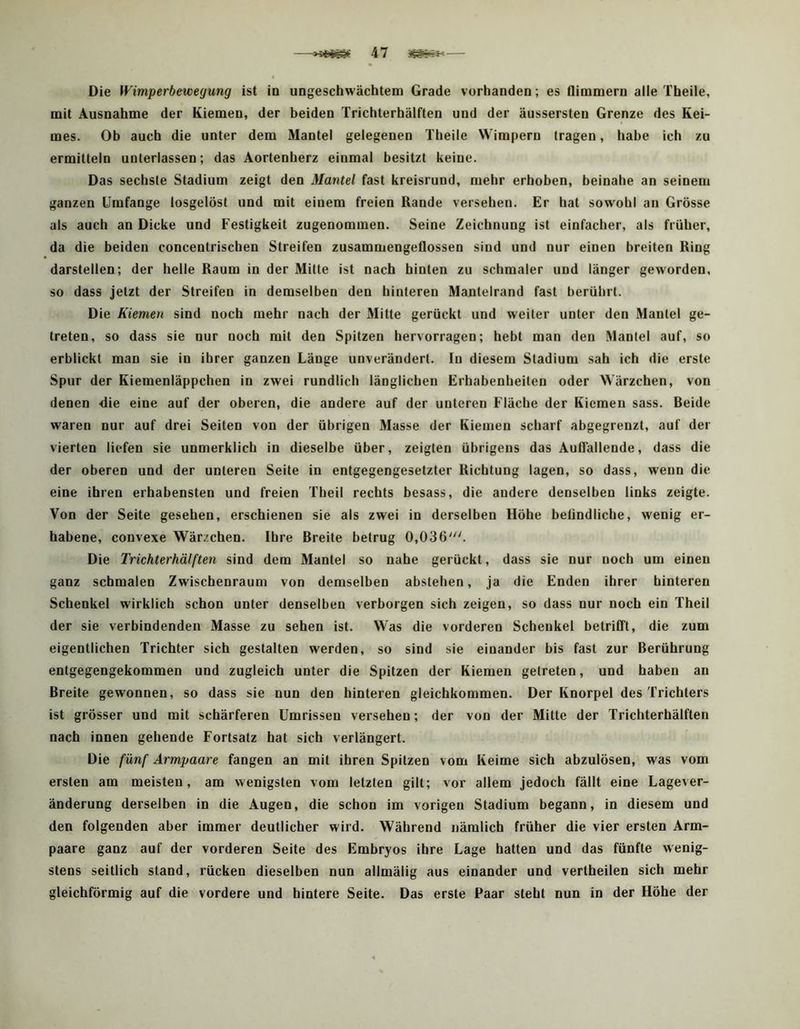 Die Wimperbewegung ist in ungeschwächtem Grade vorhanden; es flimmern alle Theile, mit Ausnahme der Kiemen, der beiden Trichterhälften und der äussersten Grenze des Kei- mes. Ob auch die unter dem Mantel gelegenen Theile Wimpern tragen, habe ich zu ermitteln unterlassen; das Aortenherz einmal besitzt keine. Das sechste Stadium zeigt den Mantel fast kreisrund, mehr erhoben, beinahe an seinem ganzen Umfange losgelöst und mit einem freien Rande versehen. Er hat sowohl an Grösse als auch an Dicke und Festigkeit zugenommen. Seine Zeichnung ist einfacher, als früher, da die beiden concentrischen Streifen zusammengeflossen sind und nur einen breiten Ring darstellen; der helle Raum in der Mitte ist nach hinten zu schmaler und länger geworden, so dass jetzt der Streifen in demselben den hinteren Mantelrand fast berührt. Die Kiemen sind noch mehr nach der Mitte gerückt und weiter unter den Mantel ge- treten, so dass sie nur noch mit den Spitzen hervorragen; hebt man den Mantel auf, so erblickt man sie in ihrer ganzen Länge unverändert. In diesem Stadium sah ich die erste Spur der Kiemenläppchen in zwei rundlich länglichen Erhabenheiten oder Wärzchen, von denen die eine auf der oberen, die andere auf der unteren Fläche der Kiemen sass. Beide waren nur auf drei Seiten von der übrigen Masse der Kiemen scharf abgegrenzt, auf der vierten liefen sie unmerklich in dieselbe über, zeigten übrigens das AutTallende, dass die der oberen und der unteren Seite in entgegengesetzter Richtung lagen, so dass, wenn die eine ihren erhabensten und freien Theil rechts besass, die andere denselben links zeigte. Von der Seite gesehen, erschienen sie als zwei in derselben Höhe belindliche, wenig er- habene, convexe Wärzchen. Ihre Breite betrug 0,036'. Die Trichterhälften sind dem Mantel so nahe gerückt, dass sie nur noch um einen ganz schmalen Zwischenraum von demselben abstehen, ja die Enden ihrer hinteren Schenkel wirklich schon unter denselben verborgen sich zeigen, so dass nur noch ein Theil der sie verbindenden Masse zu sehen ist. Was die vorderen Schenkel betrifft, die zum eigentlichen Trichter sich gestalten werden, so sind sie einander bis fast zur Berührung entgegengekommen und zugleich unter die Spitzen der Kiemen getreten, und haben an Breite gewonnen, so dass sie nun den hinteren gleichkommen. Der Knorpel des Trichters ist grösser und mit schärferen Umrissen versehen; der von der Mitte der Trichterhälften nach innen gehende Fortsatz hat sich verlängert. Die fünf Armpaare fangen an mit ihren Spitzen vom Keime sich abzulösen, was vom ersten am meisten, am wenigsten vom letzten gilt; vor allem jedoch fällt eine Lagever- änderung derselben in die Augen, die schon im vorigen Stadium begann, in diesem und den folgenden aber immer deutlicher wird. Während nämlich früher die vier ersten Arm- paare ganz auf der vorderen Seite des Embryos ihre Lage batten und das fünfte wenig- stens seitlich stand, rücken dieselben nun allmälig aus einander und vertheilen sich mehr gleichförmig auf die vordere und hintere Seite. Das erste Paar steht nun in der Höhe der