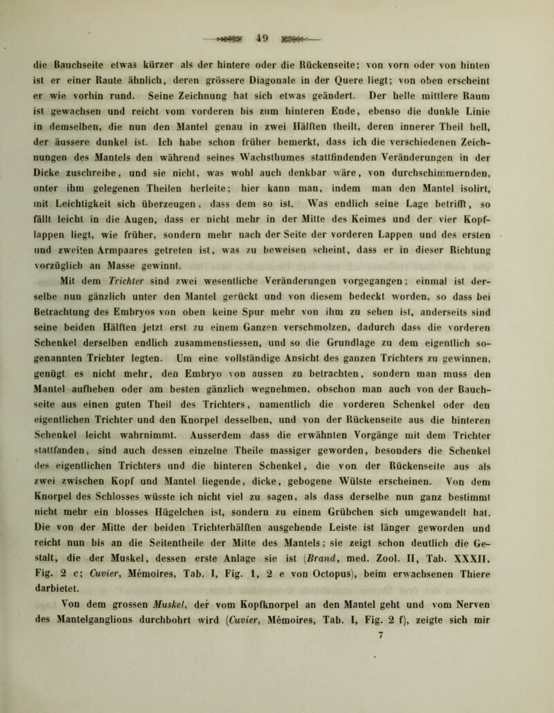 die Bauchseite etwas kürzer als der hintere oder die Rückenseite; von vorn oder von hinten ist er einer Raute ähnlich, deren grössere Diagonale in der Quere liegt; von oben erscheint er wie vorhin rund. Seine Zeichnung hat sich etwas geändert. Der helle mittlere Raum ist gewachsen und reicht vom vorderen bis zum hinteren Ende, ebenso die dunkle Linie in demselben, die nun den Mantel genau in zwei Hälften theilt, deren innerer Theil hell, der äussere dunkel ist. Ich habe schon früher bemerkt, dass ich die verschiedenen Zeich- nungen des Mantels den während seines Wachsthumes stattfmdenden Veränderungen in der Dicke zuschreibe, und sie nicht, was wohl auch denkbar wäre, von durchschimmernden, unter ihm gelegenen Theilen herleite; hier kann man, indem man den Mantel isolirt, mit Leichtigkeit sich überzeugen, dass dem so ist. Was endlich seine Lage betrilR, so fällt leicht in die Augen, dass er nicht mehr in der Mitte des Keimes und der vier Kopf- lappen liegt, wie früher, sondern mehr nach der Seite der vorderen Lappen und des ersten und zweiten Armpaares getreten ist, was zu beweisen scheint, dass er in dieser Richtung vorzüglich an Masse gewinnt. Mit dem Trichter sind zwei wesentliche Veränderungen vorgegangen; einmal ist der- selbe nun gänzlich unter den Mantel gerückt und von diesem bedeckt worden, so dass bei Betrachtung des Embryos von oben keine Spur mehr von ihm zu sehen ist, anderseits sind seine beiden Hälften jetzt erst zu einem Ganzen verschmolzen, dadurch dass die vorderen Schenkel derselben endlich zusammenstiessen, und so die Grundlage zu dem eigentlich so- genannten Trichter legten. Um eine vollständige Ansicht des ganzen Trichters zu gewinnen, genügt es nicht mehr, den Embryo von aussen zu betrachten, sondern man muss den Mantel aufheben oder am besten gänzlich wegnehmen, obschon man auch von der Bauch- seite aus einen guten Theil des Trichters, namentlich die vorderen Schenkel oder den eigentlichen Trichter und den Knorpel desselben, und von der Rückenseite aus die hinteren Schenkel leicht wahrnimmt. Ausserdem dass die erwähnten Vorgänge mit dem Trichter stattfanden, sind auch dessen einzelne Theile massiger geworden, besonders die Schenkel des eigentlichen Trichters und die hinteren Schenkel, die von der Rückenseite aus als zwei zwischen Kopf und Mantel liegende, dicke, gebogene Wülste erscheinen. Von dem Knorpel des Schlosses wüsste ich nicht viel zu sagen, als dass derselbe nun ganz bestimmt nicht mehr ein blosses Hügelchen ist, sondern zu einem Grübchen sich umgewandelt hat. Die von der Mitte der beiden Trichterhälften ausgehende Leiste ist länger geworden und reicht nun bis an die Seitentheile der Mitte des Mantels; sie zeigt schon deutlich die Ge- stalt, die der Muskel, dessen erste Anlage sie ist [Brand, med. Zool. II, Tab. XXXII, Fig. 2 c; Cuvier, Memoires, Tab. I, Fig. 1, 2 e von Octopus), beim erwachsenen Thiere darbietet. Von dem grossen Muskel, der vom Kopfknorpel an den Mantel geht und vom Nerven des Mantelganglions durchbohrt wird [Cuvier, Memoires, Tab. I, Fig. 2 f), zeigte sich mir 7