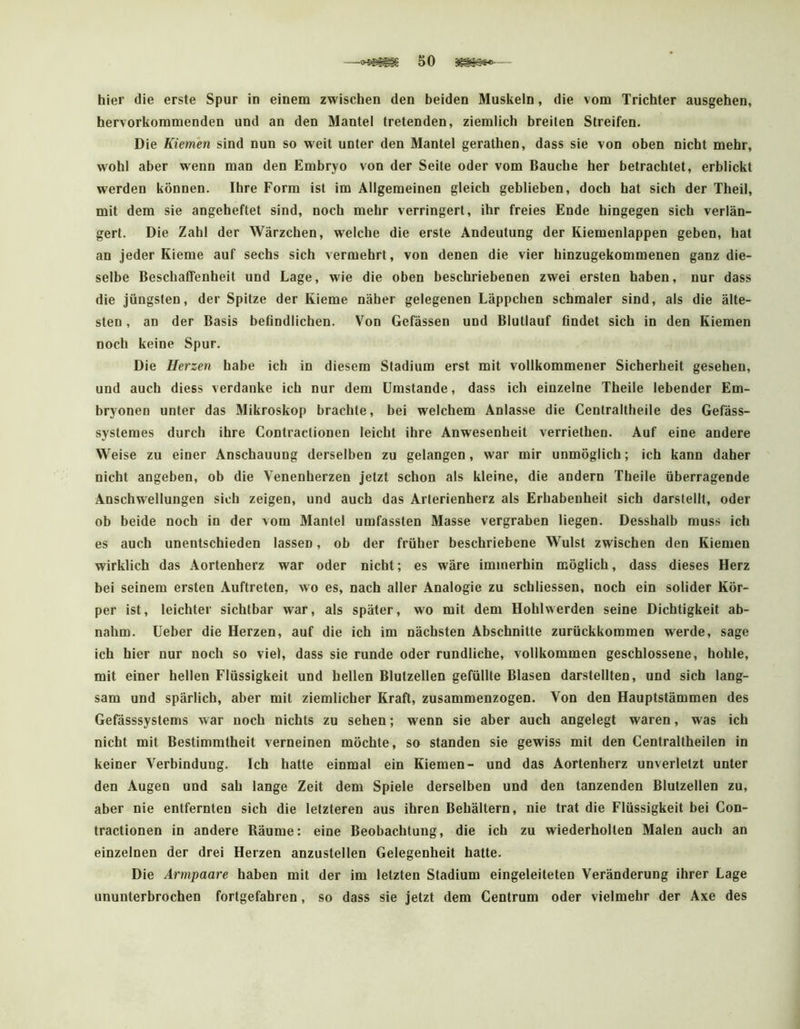 —50 hier die erste Spur in einem zwischen den beiden Muskeln, die vom Trichter ausgehen, hervorkommenden und an den Mantel tretenden, ziemlich breiten Streifen. Die Kiemen sind nun so weit unter den Mantel gerathen, dass sie von oben nicht mehr, wohl aber wenn man den Embryo von der Seite oder vom Bauche her betrachtet, erblickt werden können. Ihre Form ist im Allgemeinen gleich geblieben, doch hat sich der Theil, mit dem sie angeheftet sind, noch mehr verringert, ihr freies Ende hingegen sich verlän- gert. Die Zahl der Wärzchen, welche die erste Andeutung der Kiemenlappen geben, hat an jeder Kieme auf sechs sich vermehrt, von denen die vier hinzugekommenen ganz die- selbe Beschaffenheit und Lage, wie die oben beschriebenen zwei ersten haben, nur dass die jüngsten, der Spitze der Kieme näher gelegenen Läppchen schmaler sind, als die älte- sten , an der Basis befindlichen. Von Gefässen und Blutlauf findet sich in den Kiemen noch keine Spur. Die Herzen habe ich in diesem Stadium erst mit vollkommener Sicherheit gesehen, und auch diess verdanke ich nur dem Umstande, dass ich einzelne Theile lebender Em- bryonen unter das Mikroskop brachte, bei welchem Anlasse die Centraltheile des Gefäss- systemes durch ihre Contractionen leicht ihre Anwesenheit verriethen. Auf eine andere Weise zu einer Anschauung derselben zu gelangen, war mir unmöglich; ich kann daher nicht angeben, ob die Venenherzen jetzt schon als kleine, die andern Theile überragende Anschwellungen sich zeigen, und auch das Arterienherz als Erhabenheit sich darstellt, oder ob beide noch in der vom Mantel umfassten Masse vergraben liegen. Desshalb muss ich es auch unentschieden lassen, ob der früher beschriebene Wulst zwischen den Kiemen wirklich das Aortenherz war oder nicht; es wäre immerhin möglich, dass dieses Herz bei seinem ersten Auftreten, wo es, nach aller Analogie zu schliessen, noch ein solider Kör- per ist, leichter sichtbar war, als später, wo mit dem Hohlwerden seine Dichtigkeit ab- nahm. Ueber die Herzen, auf die ich im nächsten Abschnitte zurückkommen werde, sage ich hier nur noch so viel, dass sie runde oder rundliche, vollkommen geschlossene, hohle, mit einer hellen Flüssigkeit und hellen Blutzellen gefüllte Blasen darstellten, und sich lang- sam und spärlich, aber mit ziemlicher Kraft, zusammenzogen. Von den Hauptstämmen des Gefässsystems war noch nichts zu sehen; wenn sie aber auch angelegt waren, was ich nicht mit Bestimmtheit verneinen möchte, so standen sie gewiss mit den Centraltheilen in keiner Verbindung. Ich hatte einmal ein Kiemen- und das Aortenherz unverletzt unter den Augen und sah lange Zeit dem Spiele derselben und den tanzenden Blutzellen zu, aber nie entfernten sich die letzteren aus ihren Behältern, nie trat die Flüssigkeit bei Con- tractionen in andere Räume: eine Beobachtung, die ich zu wiederholten Malen auch an einzelnen der drei Herzen anzustellen Gelegenheit hatte. Die Armpaare haben mit der im letzten Stadium eingeleiteten Veränderung ihrer Lage ununterbrochen fortgefahren, so dass sie jetzt dem Centrum oder vielmehr der Axe des