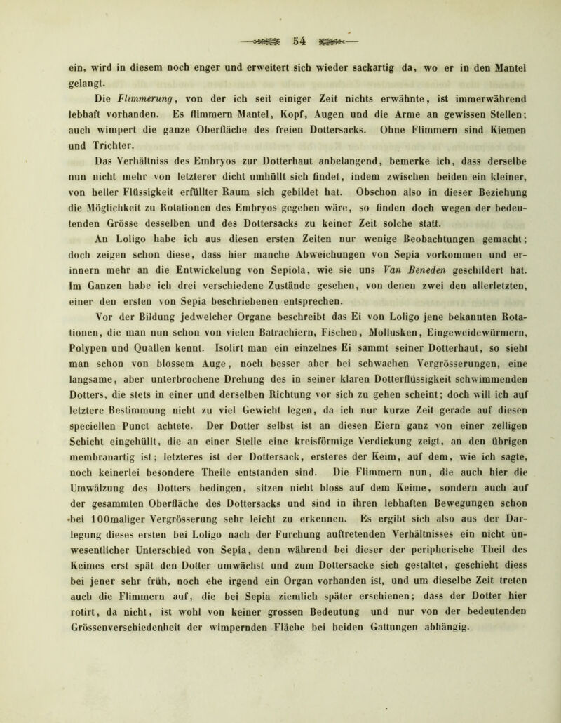 ein, wird in diesem noch enger und erweitert sich wieder sackartig da, wo er in den Mantel gelangt. Die Flimmerung, von der ich seit einiger Zeit nichts erwähnte, ist immerwährend lebhaft vorhanden. Es flimmern Mantel, Kopf, Augen und die Arme an gewissen Stellen; auch wimpert die ganze Oberfläche des freien Dottersacks. Ohne Flimmern sind Kiemen und Trichter. Das Verhältniss des Embryos zur Dotterhaut anbelangend, bemerke ich, dass derselbe nun nicht mehr von letzterer dicht umhüllt sich findet, indem zwischen beiden ein kleiner, von heller Flüssigkeit erfüllter Raum sich gebildet hat. Obschon also in dieser Beziehung die Möglichkeit zu Rotationen des Embryos gegeben wäre, so finden doch wegen der bedeu- tenden Grösse desselben und des Dottersacks zu keiner Zeit solche statt. An Loligo habe ich aus diesen ersten Zeiten nur wenige Beobachtungen gemacht; doch zeigen schon diese, dass hier manche Abweichungen von Sepia Vorkommen und er- innern mehr an die Entwickelung von Sepiola, wie sie uns Van Bernden geschildert hat. Im Ganzen habe ich drei verschiedene Zustände gesehen, von denen zwei den allerletzten, einer den ersten von Sepia beschriebenen entsprechen. Vor der Bildung jedwelcher Organe beschreibt das Ei von Loligo jene bekannten Rota- tionen, die man nun schon von vielen ßatrachiern, Fischen, Mollusken, Eingeweidewürmern, Polypen und Quallen kennt. Isolirt man ein einzelnes Ei sammt seiner Dotterhaut, so sieht man schon von blossem Auge, noch besser aber bei schwachen Vergrösserungen, eine langsame, aber unterbrochene Drehung des in seiner klaren Dotterflüssigkeit schwimmenden Dotters, die stets in einer und derselben Richtung vor sich zu gehen scheint; doch will ich auf letztere Bestimmung nicht zu viel Gewicht legen, da ich nur kurze Zeit gerade auf diesen speciellen Punct achtete. Der Dotter selbst ist an diesen Eiern ganz von einer zelligen Schicht eingehüllt, die an einer Stelle eine kreisförmige Verdickung zeigt, an den übrigen membranartig ist; letzteres ist der Dottersack, ersteres der Keim, auf dem, wie ich sagte, noch keinerlei besondere Theile entstanden sind. Die Flimmern nun, die auch hier die Umwälzung des Dotters bedingen, sitzen nicht bloss auf dem Keime, sondern auch auf der gesammten Oberfläche des Dottersacks und sind in ihren lebhaften Bewegungen schon •bei lOOmaliger Vergrösserung sehr leicht zu erkennen. Es ergibt sich also aus der Dar- legung dieses ersten bei Loligo nach der Furchung auftretenden Verhältnisses ein nicht un- wesentlicher Unterschied von Sepia, denn während bei dieser der peripherische Theil des Keimes erst spät den Dotter umwächst und zum Dottersacke sich gestaltet, geschieht diess bei jener sehr früh, noch ehe irgend ein Organ vorhanden ist, und um dieselbe Zeit treten auch die Flimmern auf, die bei Sepia ziemlich später erschienen; dass der Dotter hier rotirt, da nicht, ist wohl von keiner grossen Bedeutung und nur von der bedeutenden Grössenverschiedenheit der wimpernden Fläche bei beiden Gattungen abhängig.