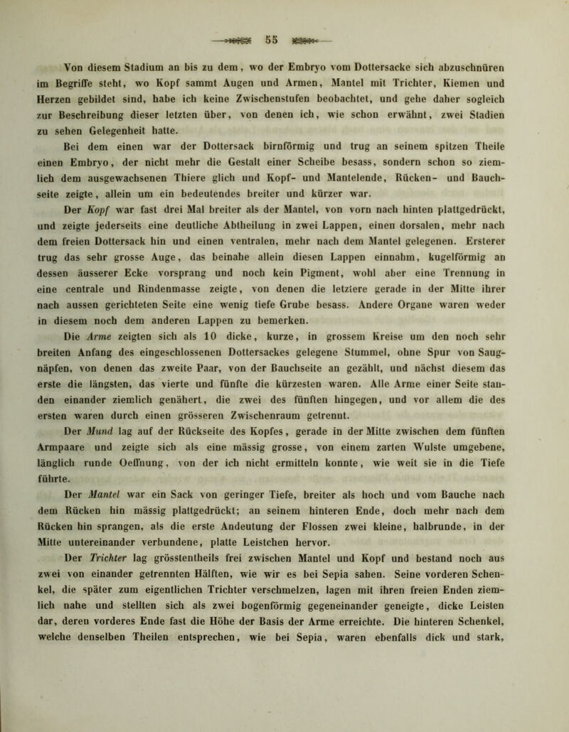 Von diesem Stadium an bis zu dem, wo der Embryo vom Dottersacke sich abzuschnüren im Begriffe steht, wo Kopf sammt Augen und Armen, Mantel mit Trichter, Kiemen und Herzen gebildet sind, habe ich keine Zwischenstufen beobachtet, und gehe daher sogleich zur Beschreibung dieser letzten über, von denen ich, wie schon erwähnt, zwei Stadien zu sehen Gelegenheit hatte. Bei dem einen war der Dottersack bimförmig und trug an seinem spitzen Theile einen Embryo, der nicht mehr die Gestalt einer Scheibe besass, sondern schon so ziem- lich dem ausgewachsenen Thiere glich und Kopf- und Mantelende, Bücken- und Bauch- seite zeigte, allein um ein bedeutendes breiter und kürzer war. Der Kopf war fast drei Mal breiter als der Mantel, von vorn nach hinten plattgedrückt, und zeigte jederseits eine deutliche Abtheilung in zwei Lappen, einen dorsalen, mehr nach dem freien Dottersack hin und einen ventralen, mehr nach dem Mantel gelegenen. Ersterer trug das sehr grosse Auge, das beinahe allein diesen Lappen einnahm, kugelförmig an dessen äusserer Ecke vorsprang und noch kein Pigment, wohl aber eine Trennung in eine centrale und Rindenmasse zeigte, von denen die letztere gerade in der Mitte ihrer nach aussen gerichteten Seite eine wenig tiefe Grube besass. Andere Organe waren weder in diesem noch dem anderen Lappen zu bemerken. Die Arme zeigten sich als 10 dicke, kurze, in grossem Kreise um den noch sehr breiten Anfang des eingeschlossencn Dottersackes gelegene Stummel, ohne Spur von Saug- näpfen, von denen das zweite Paar, von der Bauchseite an gezählt, und nächst diesem das erste die längsten, das vierte und fünfte die kürzesten waren. Alle Arme einer Seite stan- den einander ziemlich genähert, die zwei des fünften hingegen, und vor allem die des ersten waren durch einen grösseren Zwischenraum getrennt. Der Mund lag auf der Rückseite des Kopfes, gerade in der Mitte zwischen dem fünften Armpaare und zeigte sich als eine mässig grosse, von einem zarten Wulste umgebene, länglich runde Oeffnung, von der ich nicht ermitteln konnte, wie weit sie in die Tiefe führte. Der Mantel war ein Sack von geringer Tiefe, breiter als hoch und vom Bauche nach dem Rücken hin mässig plattgedrückt; an seinem hinteren Ende, doch mehr nach dem Rücken hin sprangen, als die erste Andeutung der Flossen zwei kleine, halbrunde, in der Mitte untereinander verbundene, platte Leistchen hervor. Der Trichter lag grösstentheils frei zwischen Mantel und Kopf und bestand noch aus zwei von einander getrennten Hälften, wie wir es bei Sepia sahen. Seine vorderen Schen- kel, die später zum eigentlichen Trichter verschmelzen, lagen mit ihren freien Enden ziem- lich nahe und stellten sich als zwei bogenförmig gegeneinander geneigte, dicke Leisten dar, deren vorderes Ende fast die Höhe der Basis der Arme erreichte. Die hinteren Schenkel, welche denselben Theilen entsprechen, wie bei Sepia, waren ebenfalls dick und stark.