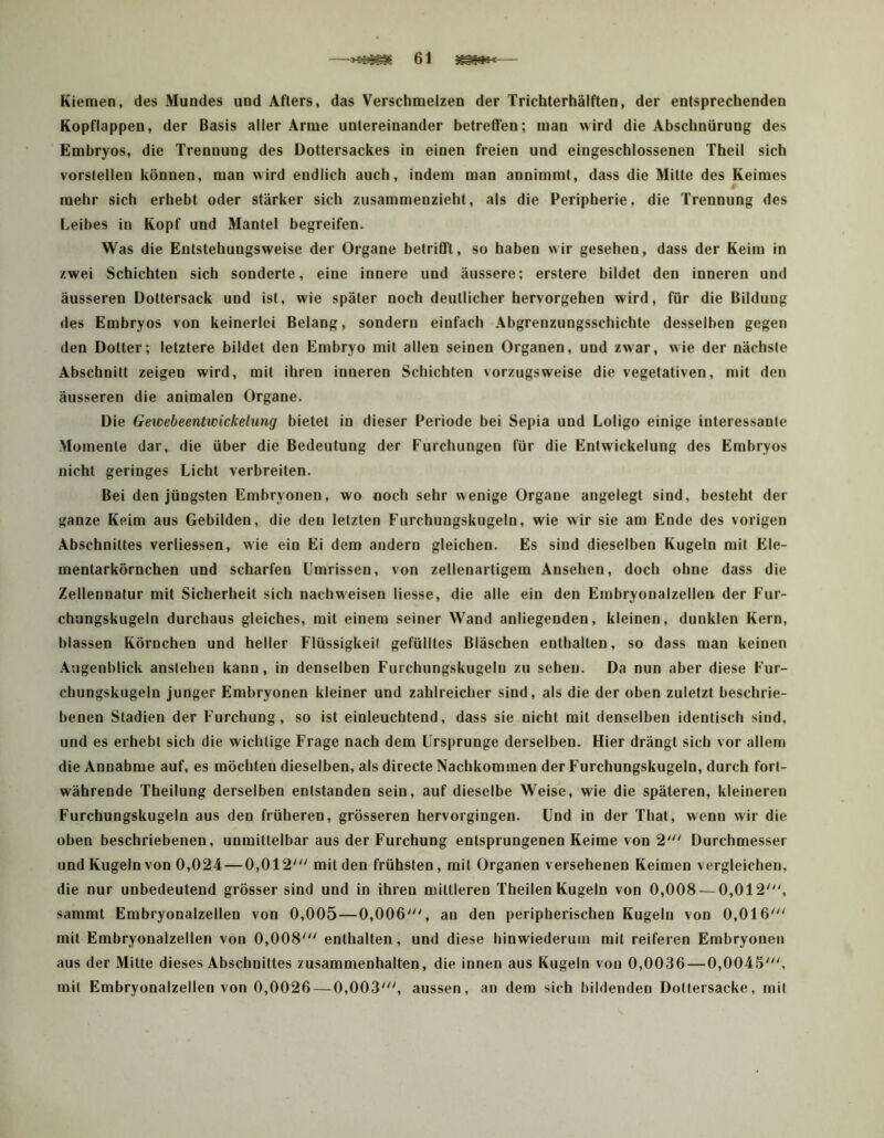 Kiemen, des Mundes und Afters, das Verschmelzen der Trichterhälften, der entsprechenden Ropflappen, der Basis aller Arme untereinander betreifen; man wird die Abschnürung des Embryos, die Trennung des Dottersackes in einen freien und eingeschlossenen Theil sich vorslellen können, man wird endlich auch, indem man annimmt, dass die Mitte des Keimes mehr sich erhebt oder stärker sich zusammenzieht, als die Peripherie, die Trennung des Leibes in Kopf und Mantel begreifen. Was die Entstehungsweise der Organe betrifft, so haben wir gesehen, dass der Keim in zwei Schichten sich sonderte, eine innere und äussere; erstere bildet den inneren und äusseren Dottersack und ist, wie später noch deutlicher hervorgehen wird, für die Bildung <ies Embryos von keinerlei Belang, sondern einfach Abgrenzungsschichte desselben gegen den Dotter; letztere bildet den Embryo mit allen seinen Organen, und zwar, wie der nächste Abschnitt zeigen wird, mit ihren inneren Schichten vorzugsweise die vegetativen, mit den äusseren die animalen Organe. Die Gewebeentwickelung bietet in dieser Periode bei Sepia und Loligo einige interessante Momente dar, die über die Bedeutung der Furchungen für die Entwickelung des Embryos nicht geringes Licht verbreiten. Bei den jüngsten Embryonen, wo noch sehr wenige Organe angelegt sind, besteht der ganze Keim aus Gebilden, die den letzten Furchungskugeln, wie wir sie am Ende des vorigen Abschnittes verliessen, wie ein Ei dem andern gleichen. Es sind dieselben Kugeln mit Ele- mentarkörnchen und scharfen Umrissen, von zellenartigem Ansehen, doch ohne dass die Zellennatur mit Sicherheit sich nachweisen Messe, die alle ein den Embryonalzellen der Fur- chungskugeln durchaus gleiches, mit einem seiner Wand anliegenden, kleinen, dunklen Kern, blassen Körnchen und heller Flüssigkeit gefülltes Bläschen enthalten, so dass man keinen Augenblick anstehen kann, in denselben Furchungskugeln zu sehen. Da nun aber diese Fur- cbungskugeln junger Embryonen kleiner und zahlreicher sind, als die der oben zuletzt beschrie- benen Stadien der Furchung, so ist einleuchtend, dass sie nicht mit denselben identisch sind, und es erhebt sich die wichtige Frage nach dem Ursprünge derselben. Hier drängt sich vor allem die Annahme auf, es möchten dieselben, als directe Nachkommen der Furchungskugeln, durch fort- währende Theilung derselben entstanden sein, auf dieselbe Weise, wie die späteren, kleineren Furchungskugeln aus den früheren, grösseren hervorgingen. Und in der Thal, wenn wir die oben beschriebenen, unmittelbar aus der Furchung entsprungenen Keime von 2' Durchmesser und Kugeln von 0,024 — 0,012' milden frühsten, mit Organen versehenen Keimen vergleichen, die nur unbedeutend grösser sind und in ihren mittleren Theilen Kugeln von 0,008 — 0,012', sammt Embryonalzellen von 0,005—0,006', an den peripherischen Kugeln von 0,016' mit Embryonalzellen von 0,008' enthalten, und diese hinwiederum mit reiferen Embryonen aus der Mitte dieses Abschnittes Zusammenhalten, die innen aus Kugeln von 0,0036—0,0045', mit Embryonalzellen von 0,0026 — 0,003', aussen, an dem sich bildenden Dotiersacke, mit