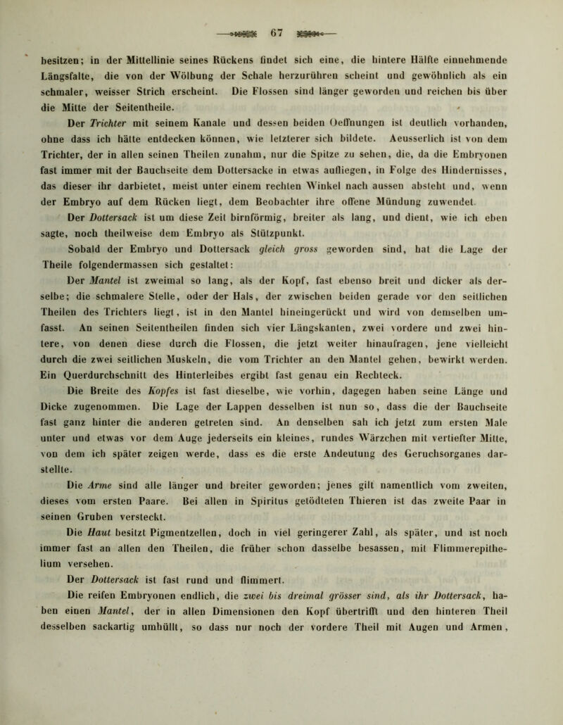 besitzen; in der Mittellinie seines Rückens findet sich eine, die hintere Hälfte einnehmende Längsfalte, die von der Wölbung der Schale herzurülireu scheint und gewöhnlich als ein schmaler, weisser Strich erscheint. Die Flossen sind länger geworden und reichen bis über die Mitte der Seitentheile. Der Trichter mit seinem Kanäle und dessen beiden OelTiiungen ist deutlich vorhanden, ohne dass ich hätte entdecken können, wie letzterer sich bildete. Aeusserlich ist von dem Trichter, der in allen seinen Theilen zunahm, nur die Spitze zu sehen, die, da die Embryonen fast immer mit der Bauchseite dem Dottersacke in etwas aulliegen, in Folge des Hindernisses, das dieser ihr darbietet, meist unter einem rechten Winkel nach aussen absteht und, wenn der Embryo auf dem Rücken liegt, dem Beobachter ihre ofl'ene Mündung zuwendet. Der Dottersack ist um diese Zeit bimförmig, breiter als lang, und dient, wie ich eben sagte, noch theilweise dem Embryo als Stützpunkt. Sobald der Embryo und Dottersack gleich gross geworden sind, hat die Lage der Theile folgendermassen sich gestaltet: Der Mantel ist zweimal so lang, als der Kopf, fast ebenso breit und dicker als der- selbe; die schmalere Stelle, oder der Hals, der zwischen beiden gerade vor den seitlichen Theilen des Trichters liegt, ist in den Mantel hineingerückt und wird von demselben um- fasst. An seinen Seitentheileu finden sich vier Läogskanten, zwei vordere und zwei hin- tere, von denen diese durch die Flossen, die jetzt weiter hinaufragen, jene vielleicht durch die zwei seitlichen Muskeln, die vom Trichter an den Mantel gehen, bewirkt werden. Ein Querdurchschnitt des Hinterleibes ergibt fast genau ein Rechteck. Die Breite des Kopfes ist fast dieselbe, wie vorhin, dagegen haben seine Länge und Dicke zugenommen. Die Lage der Lappen desselben ist nun so, dass die der Bauchseite fast ganz hinter die anderen getreten sind. An denselben sah ich jetzt zum ersten Male unter und etwas vor dem Auge jederseits ein kleines, rundes Wärzchen mit vertiefter Mitte, von dem ich später zeigen werde, dass es die erste Andeutung des Geruchsorganes dar- stellte. Die Arme sind alle länger und breiter geworden; jenes gilt namentlich vom zweiten, dieses vom ersten Paare. Bei allen in Spiritus gelödleien Thieren ist das zweite Paar in seinen Gruben versteckt. Die//aM< besitzt Pigmentzellen, doch in viel geringerer Zahl, als später, und ist noch immer fast an allen den Theilen, die früher schon dasselbe besessen, mit Flimmerepilhe- lium versehen. Der Dottersack ist fast rund und flimmert. Die reifen Embryonen endlich, die zwei bis dreimal grösser sind, als ihr Dottersack, ha- ben einen Mantel, der in allen Dimensionen den Kopf überlrifft und den hinteren Theil desselben sackartig umhüllt, so dass nur noch der vordere Theil mit Augen und Armen,