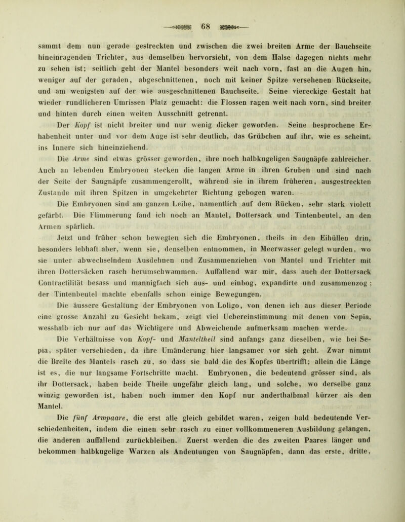 sammt dem nun gerade gestreckten und zwischen die zwei breiten Arme der Bauchseite hineinragenden Trichter, aus demselben hervorsieht, von dem Halse dagegen nichts mehr zu sehen ist; seitlich geht der Mantel besonders weit nach vorn, fast an die Augen hin, weniger auf der geraden, abgeschnittenen, noch mit keiner Spitze versehenen Rückseite, und am wenigsten auf der wie ausgeschnittenen Bauchseite. Seine viereckige Gestalt hat wieder rundlicheren Umrissen Platz gemacht: die Flossen ragen weit nach vorn, sind breiter und hinten durch einen weiten Ausschnitt getrennt. Der Kopf ist nicht breiter und nur wenig dicker geworden. Seine besprochene Er- habenheit unter und vor dem Auge ist sehr deutlich, das Grübchen auf ihr, wie es scheint, ins Innere sich hineinziehend. Die Arme sind etwas grösser geworden, ihre noch halbkugeligen Saugnäpfe zahlreicher. Auch an lebenden Embryonen stecken die langen Arme in ihren Gruben und sind nach der Seite der Saugnäpfe zusammengerollt, während sie in ihrem früheren, ausgestreckten Zustande mit ihren Spitzen in umgekehrter Richtung gebogen waren. Die Embryonen sind am ganzen Leibe, namentlich auf dem Rücken, sehr stark violett gefärbt. Die Flimmerung fand ich noch an Mantel, Dottersack und Tintenbeutel, an den Armen spärlich. Jetzt und früher schon bewegten sich die Embryonen, theils in den Eihüllen drin, besonders lebhaft aber, wenn sie, denselben entnommen, in Meerwasser gelegt wurden, wo sie unter abwechselndem Ausdehnen und Zusammenziehen von Mantel und Trichter mit ihren Dottersäcken rasch herumschwammen. Auffallend war mir, dass auch der Dottersack Contractilität besass und mannigfach sich aus- und einbog, expandirte und zusammenzog ; der Tintenbeutel machte ebenfalls schon einige Bewegungen. Die äussere Gestaltung der Embryonen von Loligo, von denen ich aus dieser Periode eine grosse Anzahl zu Gesicht bekam, zeigt viel üebereinstimmung mit denen von Sepia, wesshalb ich nur auf das Wichtigere und Abweichende aufmerksam machen werde. Die Verhältnisse von Kopf- und Manteltheü sind anfangs ganz dieselben, wie bei Se- pia, später verschieden, da ihre Umänderung hier langsamer vor sich geht. Zwar nimmt die Breite des Mantels rasch zu, so dass sie bald die des Kopfes übertrifft; allein die Länge ist es, die nur langsame Fortschritte macht. Embryonen, die bedeutend grösser sind, als ihr Dottersack, haben beide Tbeile ungefähr gleich lang, und solche, wo derselbe ganz winzig geworden ist, haben noch immer den Kopf nur anderthalbmal kürzer als den Mantel. Die fünf Armpaare, die erst alle gleich gebildet waren, zeigen bald bedeutende Ver- schiedenheiten, indem die einen sehr rasch zu einer vollkommeneren Ausbildung gelangen, die anderen auffallend Zurückbleiben. Zuerst werden die des zweiten Paares länger und bekommen halbkugelige Warzen als Andeutungen von Saugnäpfen, dann das erste, dritte.