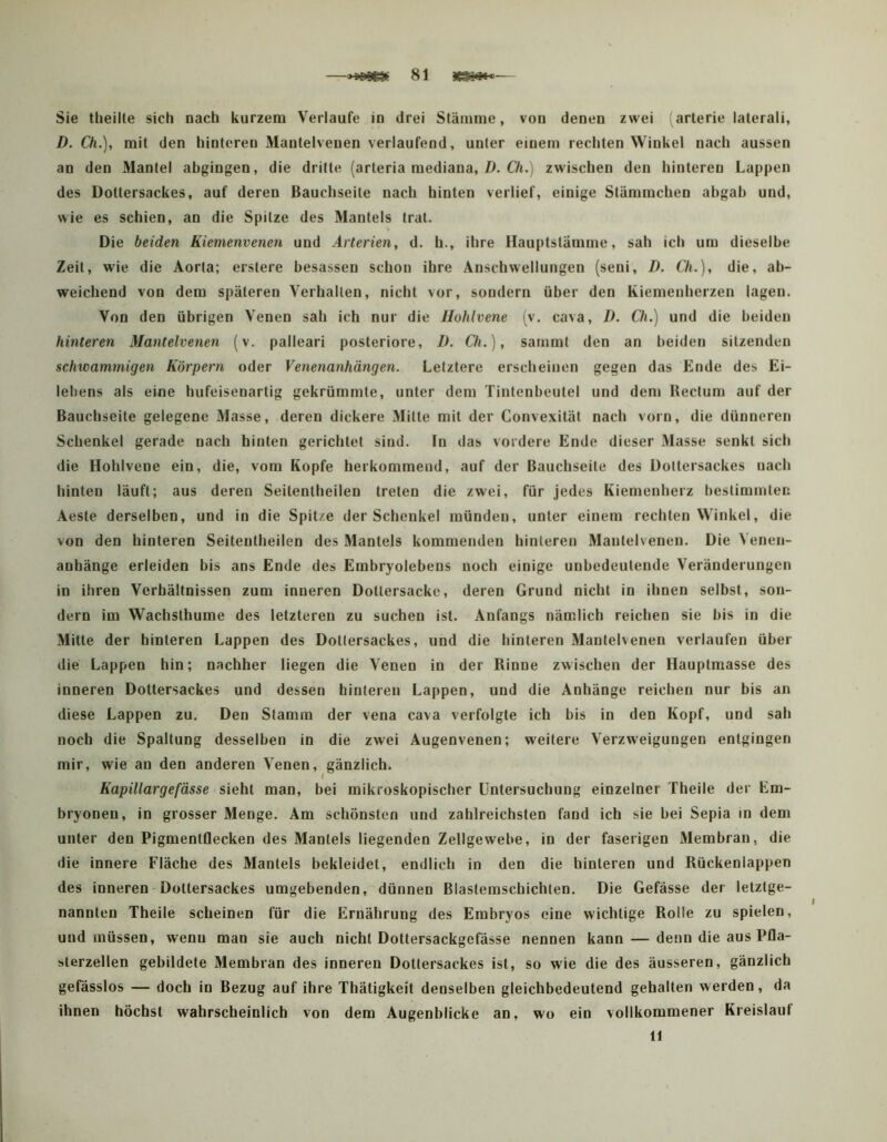 Sie theilte sich nach kurzem Verlaufe in drei Stämme, von denen zwei (arterie laterali, D. Ch.), mit den hinteren Mantelvenen verlaufend, unter einem rechten Winkel nach aussen an den Mantel abgingen, die dritte (arteria mediana,/). C7i.) zwischen den hinteren Lappen des Dottersackes, auf deren Bauchseite nach hinten verlief, einige Stämmchen abgab und, wie es schien, an die Spitze des Mantels trat. Die beiden Kiemenvenen und Arterien, d. h., ihre Hauptstämme, sah ich um dieselbe Zeit, wie die Aorta; erstere besassen schon ihre Anschwellungen (seni, D. Ch.), die, ab- weichend von dem späteren Verhalten, nicht vor, sondern über den Kiemenherzen lagen. Von den übrigen Venen sah ich nur die Hohlvene (v. cava, D. Ch.) und die beiden hinteren Mantelvenen (v. palleari posteriore, I). Ch.), sarnmt den an beiden sitzenden schwammigen Körpern oder Venenanhängen. Letztere erscheinen gegen das Ende des Ei- lebens als eine hufeisenartig gekrümmte, unter dem Tintenbeutel und dem Rectum auf der Bauchseite gelegene Masse, deren dickere Mitte mit der Convexität nach vorn, die dünneren Schenkel gerade nach hinten gerichtet sind. In das vordere Ende dieser Masse senkt sich die Hohlvene ein, die, vom Kopfe herkommeud, auf der Bauchseite des Doltersackes nach hinten läuft; aus deren Seitentheilen treten die zwei, für jedes Kiemeuherz bestimmten Aeste derselben, und in die Spitze der Schenkel münden, unter einem rechten Winkel, die von den hinteren Seitentheilen des Mantels kommenden hinteren Mantelvenen. Die Venen- anhänge erleiden bis ans Ende des Embryolebens noch einige unbedeutende Veränderungen in ihren Verhältnissen zum inneren Dottersacke, deren Grund nicht in ihnen selbst, son- dern im Wachsthume des letzteren zu suchen ist. Anfangs nämlich reichen sie bis in die Mitte der hinteren Lappen des Dotiersackes, und die hinteren Mantelvenen verlaufen über die Lappen hin; nachher liegen die Venen in der Rinne zwischen der Hauptmasse des inneren Dottersackes und dessen hinteren Lappen, und die Anhänge reichen nur bis an diese Lappen zu. Den Stamm der vena cava verfolgte ich bis in den Kopf, und sah noch die Spaltung desselben in die zwei Augenvenen; weitere Verzweigungen entgingen mir, wie an den anderen Venen, gänzlich. Kapillargefässe sieht man, bei mikroskopischer Untersuchung einzelner Theile der Em- bryonen, in grosser Menge. Am schönsten und zahlreichsten fand ich sie bei Sepia m dem unter den Pigmentflecken des Mantels liegenden Zellgewebe, in der faserigen Membran, die die innere Fläche des Mantels bekleidet, endlich in den die hinteren und Rückenlappen des inneren Dottersackes umgebenden, dünnen Blastemschichten. Die Gefässe der letztge- nannten Theile scheinen für die Ernährung des Embryos eine wichtige Rolle zu spielen, und müssen, wenn man sie auch nicht Dottersackgefässe nennen kann — denn die aus Pfla- sterzellen gebildete Membran des inneren Dotiersackes ist, so wie die des äusseren, gänzlich gefässlos — doch io Bezug auf ihre Thätigkeit denselben gleichbedeutend gehalten werden, da ihnen höchst wahrscheinlich von dem Augenblicke an, wo ein vollkommener Kreislauf It