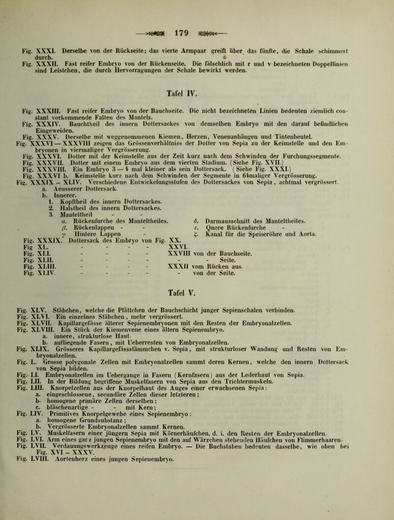 —179 — Fig. XXXI. Derselbe von der Rückseite; das vierte Armpaar greift über_ das fünfte, die Schale schimniLMi durch. < Fig. XXXII. Fast reifer Embryo von der Rückenseite. Die fälschlich mit r und v bezeichneten Doppellinicii sind Leistclien, die durch Hervorragungen der Schale bewirkt werden. Tafel IV. Fig. XXXIII. Fast reifer Embryo von der Bauchseite. Die nicht bezeichneten Linien bedeuten ziemlich coii- stanl vorkommende Fallen des Mantels. Fig. XXXIV. Bauchtkeil des innern Dottersackes von demselben Embryo mit den darauf befindlichen Eingeweiden. Fig. XXXV. Derselbe mit weggeuommenen Kiemen, Herzen, Veneuanhäugen und Tinleubeutel. Fig. XXXVI — XXXVIII zeigen das Grössenverbältniss der Dotter von Sepia zu der Keimstelle und den Em- bryonen in viermaliger Vergrösserung. Fig. XXXVI. Dotter mit der Keimstelle aus der Zeit kurz nach dem Schwinden der Furchungssegmente. Fig. XXXVII. Dotter mit einem Embryo aus dem vierten Stadium. (Siehe Fig. XVII.) Fig. XXXVIII. Ein Embryo 3 — 4 mal kleiner als sein Dottersack. ( Siehe Fig. XXXI.) Fig. XXXVI b. Keimstelle kurz nach dem Schwinden der Segmente in Gimaliger Vergrösserung. Fig. XXXIX — XLIV. Verschiedene Entwickelungsstufen des Doltersackes von Sepia , achtmal vergrösserl. a. Aeusserer Doltersack. b. Innerer. 1. Kopftheil des innern Doltersackes. 2. Halstheil des innern Dottersackes. 3. Manteltheil Fig. XXXIX. Fig XL. Fig. XLI. Fig. XLII. Fig. XLlIl. Fig. XLIV. Rückenfurche des Manteltheiles. Rückenlappen - Hintere Lappen Dottersack des Embryo von Fig. d. Darmausschnitt des Manteltheiles. c. Quere Rückenfurche Kanal für die Speiseröhre und Aorta. XX. XXVI. XXVIH von der Bauchseite. Seite. XXXII vom Rücken aus. von der Seite. Tafel V. Fig. XLV. Stäbchen, welche die Plättchen der Bauchschicht junger Sepienschalen verbinden. Fig. XLVI. Ein einzelnes Stäbchen, mehr vergrössert. Fig. XLVII. Kapillargefässe älterer Sepienembryonen mit den Resten der Embryonalzellen. Fig. XLVUI. Ein Stück der Kiemenvene eines altern Sepienembryo. a. innere, strukturlose Haut b. aufliegende Fasern, mit üeberresten von Embryonalzellen. Fig. XLIX. Grösseres Kapillargefässstämmchen v. Sepia, mit strukturloser Wandung und Resten von Em- bryonalzellen. Fig. L. Grosse polygonale Zellen mit Embryonalzellen sammt deren Kernen, welche den innern Dottersack von Sepia bilden. Fig.'LI. Embryonalzellen im Uebergange in Fasern (Kernfasern) aus der Lederbaut von Sepia. Fig. LU. In der Bildung begriffene Muskelfasern von Sepia aus den Trichtermuskeln. Fig. LIU. Knorpelzellen aus der Knorpelhaut des Auges einer erwachsenen Sepia: a. eingeschlossene, secundäre Zellen dieser letzteren; b. homogene primäre Zellen derselben; c. bläschenarlige - - mit Kern; Fig. LIV. Primitives Knorpelgewebe eines Sepienembryo: a. homogene Grundsubstanz; b. Vergrösserte Embryonalzellen sammt Kernen. Fig. LV. Muskelfasern einer Jüngern Sepia mit Körnerbäufchen, d. i. den Resten der Embryoualzellen. Fig. LVI. Arm eines gacz jungen Sepienembryo mit den auf Wärzchen stehenden Häufchen von Flimmerhaaren. Fig. LVIL Verdauungswerkzeuge eines reifen Embryo. — Die Buchstaben bedeuten dasselbe, wie oben bei Fig. XVI - XXXV. Fig. LVIIL .\ortenherz eines jungen Sepieuembryo.