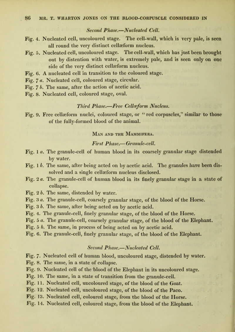 Second Phase.—Nucleated Cell. Fig. 4. Nucleated cell, uncoloured stage. The cell-wall, which is very pale, is seen all round the very distinct cellseform nucleus. Fig. 5. Nucleated cell, uncoloured stage. The cell-wall, which has just been brought out by distention with water, is extremely pale, and is seen only on one side of the very distinct cellseform nucleus. Fig. 6. A nucleated cell in transition to the coloured stage. Fig. 7 a. Nucleated cell, coloured stage, circular. Fig. 7 b. The same, after the action of acetic acid. Fig. 8. Nucleated cell, coloured stage, oval. Third Phase.—Free Cellar form Nucleus. Fig. 9. Free cellseform nuclei, coloured stage, or “ red corpuscles,” similar to those of the fully-formed blood of the animal. Man and the Mammifera. First Phase.—Granule-cell. Fig. 1 a. The granule-cell of human blood in its coarsely granular stage distended by water. Fig. 1 b. The same, after being acted on by acetic acid. The granules have been dis- solved and a single cellseform nucleus disclosed. Fig. 2 a. The granule-cell of human blood in its finely granular stage in a state of collapse. Fig. 2 b. The same, distended by water. Fig. 3 a. The granule-cell, coarsely granular stage, of the blood of the Horse. Fig. 3 b. The same, after being acted on by acetic acid. Fig. 4. The granule-cell, finely granular stage, of the blood of the Horse. Fig. 5 a. The granule-cell, coarsely granular stage, of the blood of the Elephant. Fig. 5 b. The same, in process of being acted on by acetic acid. Fig. 6. The granule-cell, finely granular stage, of the blood of the Elephant. Second Phase.—Nucleated Cell. Fig. 7- Nucleated cell of human blood, uncoloured stage, distended by water. Fig. 8. The same, in a state of collapse. Fig. 9. Nucleated cell of the blood of the Elephant in its uncoloured stage. Fig. 10. The same, in a state of transition from the granule-cell. Fig. 11. Nucleated cell, uncoloured stage, of the blood of the Goat. Fig. 12. Nucleated cell, uncoloured stage, of the blood of the Paco. Fig. 13. Nucleated cell, coloured stage, from the blood of the Horse. Fig. 14. Nucleated cell, coloured stage, from the blood of the Elephant.