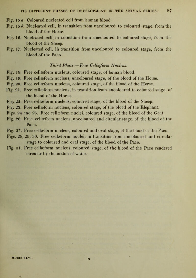 Fig. 15 a. Coloured nucleated cell from human blood. Fig. 15 b. Nucleated cell, in transition from uncoloured to coloured stage, from the blood of the Horse. Fig. 16. Nucleated cell, in transition from uncoloured to coloured stage, from the blood of the Sheep. Fig. 17- Nucleated cell, in transition from uncoloured to coloured stage, from the blood of the Paco. Third Phase.—Free Cellaeform Nucleus. Fig. 18. Free cellaeform nucleus, coloured stage, of human blood. Fig. 19. Free cellaeform nucleus, uncoloured stage, of the blood of the Horse. Fig. 20. Free cellaeform nucleus, coloured stage, of the blood of the Horse. Fig. 21. Free cellaeform nucleus, in transition from uncoloured to coloured stage, of the blood of the Horse. Fig. 22. Free cellaeform nucleus, coloured stage, of the blood of the Sheep. Fig. 23. Free cellaeform nucleus, coloured stage, of the blood of the Elephant. Figs. 24 and 25. Free cellaeform nuclei, coloured stage, of the blood of the Goat. Fig. 26. Free cellaeform nucleus, uncoloured and circular stage, of the blood of the Paco. Fig. 2/. Free cellaeform nucleus, coloured and oval stage, of the blood of the Paco. Figs. 28, 29, 30. Free cellaeform nuclei, in transition from uncoloured and circular stage to coloured and oval stage, of the blood of the Paco. Fig. 31. Free cellaeform nucleus, coloured stage, of the blood of the Paco rendered circular by the action of water. MDCCCXLVI. M