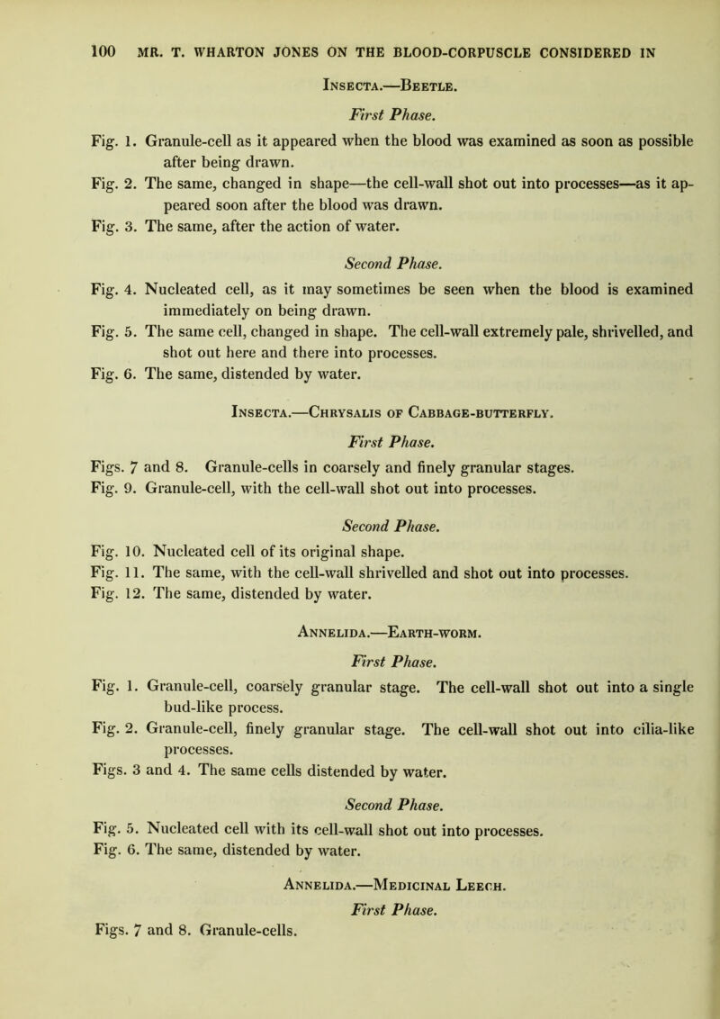 IN S E CTA. Be ETLE. First Phase. Granule-cell as it appeared when the blood was examined as soon as possible after being drawn. The same, changed in shape—the cell-wall shot out into processes—as it ap- peared soon after the blood was drawn. The same, after the action of water. Second Phase. Fig. 4. Nucleated cell, as it may sometimes be seen when the blood is examined immediately on being drawn. Fig. 5. The same cell, changed in shape. The cell-wall extremely pale, shrivelled, and shot out here and there into processes. Fig. 6. The same, distended by water. Insecta.—Chrysalis of Cabbage-butterfly. First Phase. Figs. 7 and 8. Granule-cells in coarsely and finely granular stages. Fig. 9. Granule-cell, with the cell-wall shot out into processes. Second Phase. Fig. 10. Nucleated cell of its original shape. Fig. 11. The same, with the cell-wall shrivelled and shot out into processes. Fig. 12. The same, distended by water. Annelida.—Earth-worm. First Phase. Fig. 1. Granule-cell, coarsely granular stage. The cell-wall shot out into a single bud-like process. Fig. 2. Granule-cell, finely granular stage. The cell-wall shot out into cilia-like processes. Figs. 3 and 4. The same cells distended by water. Second Phase. Fig. 5. Nucleated cell with its cell-wall shot out into processes. Fig. 6. The same, distended by water. Annelida.—Medicinal Leech. First Phase. Fig. 1. Fig. 2. Fig. 3. Figs. 7 and 8. Granule-cells.